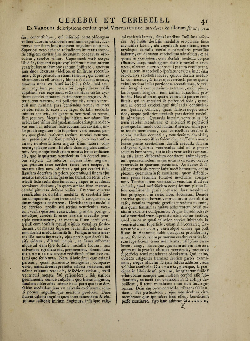 Ex Varolii defcriptione conflat quod Ventriculos atitcriores &: illorum Jinus, prie lus, concurfufque , qui inferiori parte oblongam vallem duorum vicinorum montium exprimit, acu- tumve per fuam longitudinem angulum efformat. Superiori vero fede ad teftudinem imitantis corpo¬ ris effigiem cavitas illa fecundum concavum orbi¬ culata , terefve vifitur. Cujus modi veri> corpus illud fit, fequenti capite explicabitur: nunc interim ventriculorum fermone tantum inftituto , quorum jam duos dextrum videlicet & finiftrum recenfui- mus , & propemodum etiam tertium, qui commu¬ nis amborum eft cavitas, binos a fe ducens meatus, quorum unus ex humiliori ipfius fede, ubi acu¬ tum angulum per totam fui longitudinem vallis cujufdam ritu exprimit, reda deorfum verftts cya¬ thum cerebri pituitam excipientem porrigitur. Al¬ ter autem meatus, qui pofterior eft, tertii ventri¬ culi non minima pars cenfendus venit, & inter cerebri teftes Se nates, ac fuper dorfalis medulla: initium declivis, ad quartum ventriculum retror- fum pertinet. Meatus hujus initium non adamuffim orbiculare vifitur,fed quodammodo triangulare.Ser¬ vat enim in inferiori fede acutum fue cavitatis, un¬ de prodit angulum : in fuperiore vero meatus par¬ te , que glandi vaforum tertium cerebri ventricu¬ lum petentium divifioni prefede, proxima confpi- citur, tranfverfa linea anguli illius latera con- nedit, ipfaque cum illis alios duos angulos confti- tuit. Atque hujufmodi etiam meatus hujus orificium eft, quo in quartum ventriculum fub cerebri nati¬ bus refpicit. Ex inferiori meatus iftius angulo , qua primum inter cerebri teftes ferri incipit , & meatus alius raro educitur , qui per cerebri fub- ftantiam deorfum in priora protentus,ad finem ejus meatus tandem celfat quem hic humiliori tertii ven¬ triculi fede reda deorfum duci, atque in cyathum terminare diximus, in quem ambos iftos meatus, cerebri pituitam deferre audies. Ceterum quartus ventriculus ex dorfalis medulla: & cerebelli fini¬ bus componitur, non fecus quam fi utraque manu unam fingeres cavitatem. Dorfalis itaque medulla ex cerebro prodit, ubi tertius ventriculus mea¬ tum verfus quartum ventriculum primum porrigit, teftefque cerebri & nates dorfalis medulla: prin¬ cipio continuantur, ac meatum illum tertii ven¬ triculi cum dorfalis medulla: initio equaliter fic de¬ ducunt , ut meatus fuperior fedes illis, inferior au¬ tem dorfali medulla: incifa fit. Poftquam vero mea¬ tus ille nates fuperavit, ejus portio qua: dorfali in¬ cifa videtur , dilatari incipit , ac finum efformat ufque ad eum fere dorfalis medulla: locum, qua calvariam egreffura eft, pertinentem. Sinum hunc herophilus cavitati rediffime affimilavit ca¬ lami quo feribimus. Nam fi huic finui eam calami partem , quam atramento intingimus, compara¬ veris , animadvertes profedo calami orificium, ubi adhuc calamus teres eft, & fedioni vicinus, tertii ventriculi meatus fini refpondere , fub natibus prominenti: deinde cufpidem quo literas fingimus, fimilem obfervabis infimae finus parti qua is in dor- falem medullam jam ex calvaria excituram, velu- ti porum anguftumque meatum producit. Duos autem calami angulos quos inter mucronem & ela- tiftune fedionis initium fingimus, ipfiufque cala¬ mi cavitatis latera , fintis lateribus fimiliima offen¬ des. Ad hujus dorfalis medullae orbicularis finus cavitatifve latera , ubi anguli illi confiftunt, unus utrobique dorfalis medulla: orbicularis procefius habetur, cui duntaxat cerebellum adnafeitur, & ad quem in continuum cum dorfali medulla corpus efficitur. Hujufmodi igitur dorfalis medulla: cavi¬ tates , alteram quarti ventriculi partem conftituunt. Qua: autem in cerebello fpedatur cavitas, inter duas orbiculares cerebelli fedes, quibus dorfali medul¬ la: continuatur , & inter ejus cerebelli partes quarti veluti tertiam ipfius portionem recenfuimus, & ver¬ mis imagini comparavimus extrema , exfculpitur , latior quam longior, non tamen admodum pro¬ funda. Hec alteram quarti ventriculi partem con- ftituit, qui in anteriori & pofteriori fede , quan¬ tum ad cerebri cerebellique fubftantie continuita¬ tem fpedat, dehifeit, quum fcilicet neque ante¬ rior , neque pofterior cerebelli pars dorfali medul¬ la: adnafeatur. Quamvis interim ventriculus iite tenui cerebri membrana & anteriori & pofteriori parte quodammodo occludatur. Anteriori enim par¬ te tenuis membrana , qua cerebellum cerebro & cerebri natibus connedit , ventriculum obvolvit, pofteriorem vero illius fedem cbducit.Tenuis mem¬ brana: portio cerebellum dorfali medulla: ibidem colligans. Quartus ventriculus nihil in fe praeter aqueum humorem , qui in aliis ventriculis commu¬ nis eft, inter diifecandum continere animadverti¬ tur, quemadmodum neque meatus ex tertio cerebri ventriculo in quartum pertinens. At dexter & fi- nifter ventriculi, preter hujufmodi humorem, etiam plexum quemdam in fe continent, quem diffedio- num periti fecundis foctufve involucris compa¬ rant. Tertius autem ventriculus venofum illud vas deducit, quod multifariam complicatum plexus il¬ lius conftituendi gratia a quarto dura: membrana: fintt propogari, in tertio libro docuimus. Deinde anterior quoque horum ventriculorum pars ab illo vafe, venulas impenfe graciles interdum affumit, illis quam fimillimas quibus adherentem oculi tu¬ nicam exornari confpicimus. Atque hujufmodi ve¬ nulae ventriculorum fuperficiei adnafeuntur facilius, quod durior & quafi callofior cerebri fubftantia in ventriculorum fupeificie , quam alibi,occurrat. Ce¬ terum Galenum , ceterofque omnes qui poft: illum in Anatonae nobis quicquam prodiderunt, miror feribere, trium primorum cerebri ventriculo¬ rum fuperficiem tenui membrana , uti ipfum cere¬ brum , cingi, obducique , quartum autem non ita ; quum nulla prorfus alicujus ventriculi, meaiufva fuperficies tenui membrana obvolvatur. Quis enim, obfecro diligenter humane fabrice partes exami¬ nans , neque alicujus feriptis folum addidus , non vel hinc confpieiet Galenum, pleraque, & pre- cipue in libris de ufu partium , imaginatum fuiife l arbitrabatur namque tam mollem cerebri effie fub- ftantiam, ut incili ipfi ventriculi in fe colligi de- buiffent , fi tenui membrana intus non fuccinge- rentur. Dein duriorem cerebello tribuens fubftan- tiam , fibi perfuadebat , ejus ventriculum citra membrane que ipfi fulcri loco eflet, beneficium poffe continere. Egoiane arbitror Gaunum, F