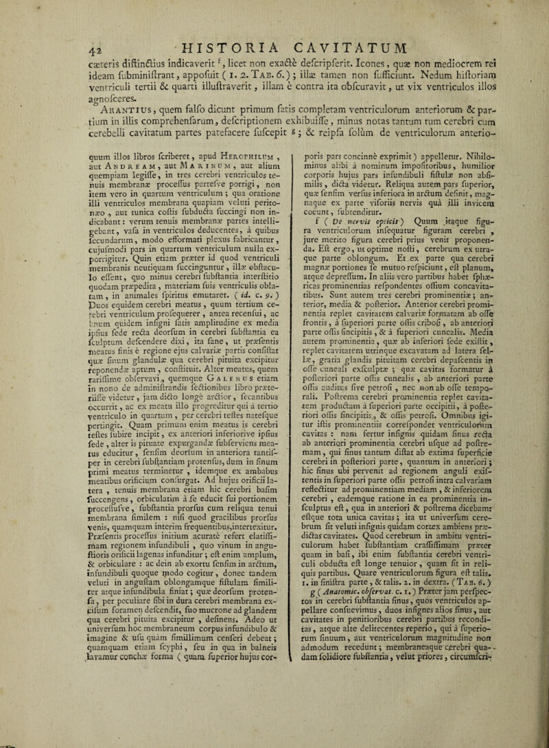 canteris diftindtius indicaveritf, licet non exa&e defcripferit. Icones , qua; non mediocrem rei ideam fubminiflrant, appofuit ( i. 2. Tab. <5.) ; illse tamen non fufficiunt. Nedum hiftoriam ventriculi tertii & quarti illuftraverit, illam b contra ita obfcuravit, ut vix ventriculos illos agnofceres. Ait antius, quem falfo dicunt primum fatis completam ventriculorum anteriorum & par¬ tium in illis comprehenfarum, defcriptionem exhibuiIfe, minus notas tantum tum cerebri cum cerebelli cavitatum partes patefacere fufcepit s • & reipfa folum de ventriculorum anterio- quum illos libros fcriberet, apud Hercphilum , aut Andream, aut Marinum, aut alium quempiam legiiTe, in tres cerebri ventriculos te¬ nuis membranx proceflus partefve porrigi, non item vero in quartum ventriculum ; qua oratione illi ventriculos membrana quapiam veluti perito- nxo , aut tunica cohis fubduda fuccingi non in¬ dicabant : verum tenuis membranx partes intelli— gebant, va(a in ventriculos deducentes, a quibus lccundarum, modo efformati plexus fabricantur, cujufmodi pars in quartum ventriculum nuila ex¬ porrigitur. Quin etiam prxter id quod ventriculi membranis neutiquam fuccinguntur , illae ©bftacu- lo edent, quo minus cerebri fubftantia interftitio quodam praepedita , materiam fuis ventriculis obla¬ tam , in animales fpiritus emutaret. ( id. c. <?. ) puos equidem cerebri meatus, quum tertium ce¬ rebri ventriculum profequerer , antea recenfui, ac Imum quidem infigni fatis amplitudine ex media ipfius fede reda deorfum in cerebri fubftantia ea fculptum defcendere dixi, ita fane, ut prxfentis meatus finis e regione ejus calvariae partis confftat qux finum glandulae qua cerebri pituita excipitur reponendae aptum , conftituit. Alter meatus, quem rariftime obfervavi,, quemque Galenus etiam in nono de adminiftrandis fedionibus libro prxte- riifte videtur , jam dido longe ardior , fecantibus occurrit, ac ex meatu illo progreditur qui a tertio ventriculo in quartum, per cerebri teftes natefque pertingit. Quam primum enim meatus is cerebri teftes fiubire incipit, ex anteriori inferiorive ipfius fede , alter is pituate expurgandae fubferviens mea¬ tus educitur, fenfim deorfitm in anteriora tantif- per in cerebri lubftantiam protenfus, dum in finum primi meatus terminetur , idemque ex ambabus meatibus orificium confurgat. Ad hujus orificii la¬ tera , tenuis membrana etiam hic cerebri bafim fuccengens , orbiculatim a fe educit fui portionem procefiufve, fubftantia prorfus cum reliqua tenui membrana fimilem : nifi quod gracilibus prorfus venis, quamquam interim frequentibus,intertexitur. Prxfentis procelfus initium acurate refert elatiffi- mam regionem infundibuli , quo vinum in angu- ftioris orificii lagenas infunditur ; eft enim amplum, & orbiculare : ac dein ab exortu fenfim in ardum, infundibuli quoque modo cogitur, donec tandem veluti in anguftam oblongamque fiftulara fimili- ter atque infundibula finiat; qux deorfum proten- fa, per peculiare fibi in dura cerebri membrana ex- cifum foramen defcendit, fuo mucrone ad glandem qua cerebri pituita excipitur , definens. Adeo ut univerfum hoc membraneum corpus infundibulo & imagine & ufu quam fimillimum cenferi debeat; quamquam etiam fcyphi, feu in qua in balneis ,lavamur ccnchx forma ( quam fuperior hujus cor¬ poris pars concinne exprimit) appelletur. Nihilo¬ minus alibi a nominum impofitoribus, humilior corporis hujus pars infundibuli fiftulx non abfi- miiis, dida videtur. Reliqua autem pars fuperior, qux fenfim verfus inferiora in ardum definit, mag- naque ex parte viforiis nervis qua illi invicem coeunt, fubtenditur. f ( De nervis opi icis) Quum itaque figu¬ ra ventriculorum infequatur figuram cerebri , jure merito figura cerebri prius venit proponen¬ da. Eft ergo, ut optime nofti, cerebrum ex utra¬ que parte oblongum. Et ex parte qua cerebri magnx portiones fe mutuo refpiciunt, eft planum, atque depreffum. In aliis vero partibus habet (phx- ricas prominentias refpondentes ofliurn concavita¬ tibus. Sunt autem tres cerebri prominentia;; an¬ terior, media & pofterior. Anterior cerebri promi¬ nentia replet cavitatem calvarix formatam ab offe frontis, a fuperiori parte offis cribofi, ab anteriori parte offis (incipitis, & a fuperiori cunealis. Media autem prominentia, qua» ab inferiori fede exiftit, replet cavitatem utrinque excavatam ad latera fel¬ ix, gratia glandis pituitam cerebri depafcentis in offe cuneali exfculptx ; qux cavitas formatur a pofteriori parte offis cunealis , ab anteriori parte offis auditus five petrofi , nec non ab offe tempo¬ rali. Poftrema cerebri prominentia replet cavita¬ tem produdam a fuperiori parte occipitii, a pofte¬ riori offis (incipitis., & offis petrofi. Omnibus igi¬ tur iftis prominentiis correfpondet ventriculorum cavitas : nam fertur infignis quidam finus reda ab anteriori prominentia cerebri ufque ad poftre- mam, qui finus tantum diftat ab extima fuperficie cerebri in pofteriori parte, quantum in anteriori; hic finus ubi pervenit ad regionem anguli exif- tentis in fuperiori parte offis petrofi intra calvariam refleditur ad prominentiam mediam , & inferiorem cerebri , eademque ratione in ea prominentia in- fculptus eft, qua in anteriori & poftrema dicebam: eftque tota unica cavitas; ita ut univerfum cere¬ brum fit veluti infignis quidam cortex ambiens prx- didas cavitates. Quod cerebrum in ambitu ventri¬ culorum habet Tubftantiam craffifiimam prxter quam in bafi, ibi enim fubftantia cerebri ventri¬ culi obduda eft longe tenuior, quam fit in reli¬ quis partibus. Quare ventriculorum figura eft talis, i. in finiftra parte , & talis, z. in dextra. (Tab. 6.) g ( Anatomic. cbfervat. c. i.) Prxter jam perfpec- tos in cerebri fubftantia finus, quos ventriculos ap¬ pellare confuevimus, duos infignes alios finus, aut cavitates in penitioribus cerebri partibus recondi¬ tas , atque alte delitecentes reperio, qui a fuperio- rum finuum, aut ventriculorum magnitudine non admodum recedunt; membraneaque cerebri qua- - dam folidiore fubftantia, velut priores, circumfcri-;