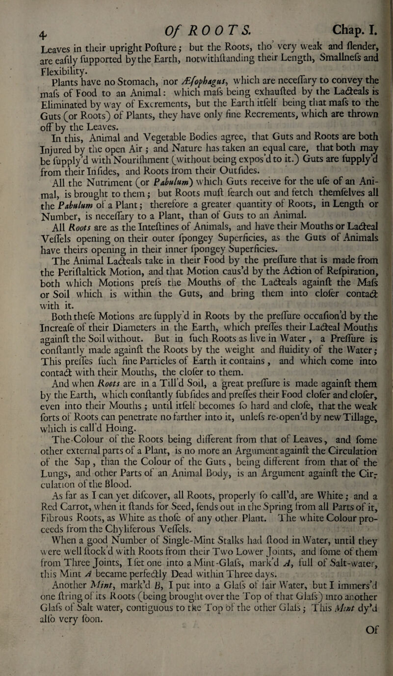 Leaves in their upright Poflure; but the Roots, tho’ very weak and (lender, are ealily fupported by the Earth, notwithflanding their Length, Smallnefs and Flexibility. ; J Plants have no Stomach, nor AZfophagus, which are neceflary to convey the mafs of Food to an Animal: which mafs being exhaufled by the La&eals is Eliminated by way of Excrements, but the Earth itfelf being that mafs to the Guts (or Roots) of Plants, they have only fine Recrements, which are thrown off by the Leaves. In this, Animal and Vegetable Bodies agree, that Guts and Roots are both Injured by the open Air ; and Nature has taken an equal care, that both may be fupply’d with Nouriiliment (without being expos’d to it.) Guts are iupply’d from their In Tides, and Roots from their Outfides. All the Nutriment (or Pabulum) which Guts receive for the ufe of an Ani¬ mal, is brought to them; but Roots mult fearch out and fetch themfelves all the Pabulum of a Plant; therefore a greater quantity of Roots, in Length or Number, is neceflary to a Plant, than of Guts to an Animal. All Roots are as the Inteftines of Animals, and have their Mouths or La&eal Veflels opening on their outer fpongey Superficies, as the Guts of Animals have theirs opening in their inner fpongey Superficies. The Animal Ladeals take in their Food by the preflfure that is made from the Periflaltick Motion, and that Motion caus’d by the Action of Refpiration, both which Motions prefs the Mouths of the Ladleals againfl the Mafs or Soil which is within the Guts, and bring them into clofer contad with it. Both thefe Motions are fupply’d in Roots by the prelfure occafton’d by the Increafe of their Diameters in the Earth, which prelfes their Ladeal Mouths againfl the Soil without. But in fuch Roots as live in Water , a PrefTure is conflantly made againfl the Roots by the weight and fluidity of the Water; This prefles fuch fine Particles of Earth it contains , and which come into contad with their Mouths, the clofer to them. And when Roots are in a Till’d Soil, a great prelfure is made againfl them by the Earth, which conflantly fubTides and prefles their Food clofer and clofer, even into their Mouths ; until itfelf becomes To hard and clofe, that the weak forts of Roots can penetrate no farther into it, unlefs re-open'd by new Tillage, which is call’d Hoing. The Colour of the R.oots being different from that of Leaves, and Tome other external parts of a Plant, is no more an Argument againfl the Circulation of the Sap , than the Colour of the Guts , being different from that of the Lungs, and other Parts of an Animal Body, is an Argument againfl the Cirr culation of the Blood. As far as I can yet difcover, all Roots, properly To call’d, are White; and a Red Carrot, when it Hands for Seed, fends out in the Spring from all Parts of it, Fibrous Roots, as White as thofe of any other Plant. The white Colour pro¬ ceeds from the Chyliferous Veflels. When a good Number of Single-Mint Stalks had flood in Water, until they w ere well flock’d with Roots from their Two Lower Joints, and Tome of them from Three Joints, Ifetone into aMint-Glafs, mark’d A, full of Salt-water, this Mint A became perfedly Dead within Three days. Another Mint, mark’d ft, I put into a Glafs of fair Water, but I immers’d one firing of its Roots (being brought over the Top of that Glafs) into another Glafs of Salt w;ater, contiguous to the Top of the other Glals; This Mint dy’d alio very Toon. Of