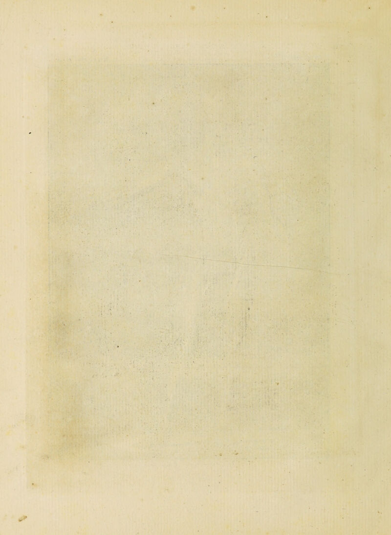 ■ •< ‘ ! • :• • •' -, • • ’ k-i-*' ■ - V Âi : ■ -, ■ ■ - - ; v v>. f ')■ V •••<;;! ■ - n . ■ ■: : ' - % ' Vf  v : O/i ■■ ri': . ■ '■ :-i jf ;/> . v • ■- ; * ■ ■ :. - ' <