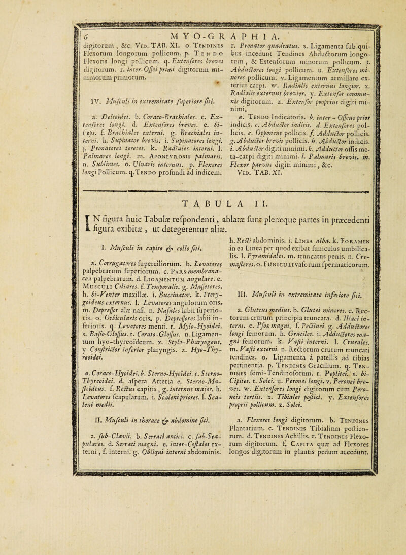 digitorum , &c. Vin. TAP>. XI. o. Tendines Flexorum longorum pollicum, p. Tendo Flexoris longi pollicum, q. Extenfores breves digitorum, r. inter- OJJei primi digitorum mi¬ nimorum primorum. IV. Mufculi in extremitate /aperior e fit i. a. Deltoidei, b. Coraco-Brachiales. c. Ex¬ tenfores longi, d. Extenfores breves, e. hi- Ceps. f. Brachiales externi, g. Brachiales in¬ terni. h. Supinator brevis, i. Supinatores longi. j. Pronatores teretes, k. l{adiales interni. 1. Palmares longi, m. Aponevrosis palmaris. n. Sublimes, o. Ulnaris internus, p. Flexares longi Pollicum. q.TENDO profundi ad indicem. r. Pronator quadratus, s. Ligamenta fub qui¬ bus incedunt Tendines Abdudlorum longo¬ rum , & Extenforum minorum pollicum, t. Abductores longi pollicum, u. Extenfores 'mi¬ nores pollicum, v. Ligamentum armillare ex¬ terius carpi, w. Radialis externus longior, x. Radialis externus brevior, y. Extenfor commu¬ nis digitorum, z. Extenfor proprius digiti mi¬ nimi. a. Tendo Indicatoris. b. inter - Ofieus prior indicis, c. Abduclor indicis, d. Extenfores pol¬ licis. e. Opponens pollicis. / Adduftor pollicis. g. Abduclor brevis pollicis, h. Abduclor indicis. i. Abdutlor digiti minimi, h. Adduftor ollis me- ta-carpi digiti minimi. I. Palmaris brevis, m. Flexor parvus digiti minimi, &c. y id, tab.xl ! TABULA II. F N figura h uic Tabulæ refpondenti, ablatæ flmt pleræque partes in præcedenti 1 figura exibitæ , ut detegerentur aliæ. I. Mufculi in capite collo fiti. a. Corrugatores fuperciliorum. b. Levatores palpebrarum fuperiorum. c. Pars membrana¬ cea palpebrarum, d. Ligamentum angulare, e. Musculi Ciliares, f. Temporalis, g. Majfeteres. h. bi-Venter maxillæ. i. Buccinator, k. Ptery¬ goideus externus. 1. Levatores angulorum oris, m. Deprefior ala: nafi. n. Nafales labii fuperio- ris. o. Orbicularis oris. p. DepreJJores labii in¬ ferioris. q. Levatores menti, r. Mylo-Hydidei. s. Bafio-GloJJus. t. Cerato-Glofius. u. Ligamen¬ tum hyo-thyreoideum. x. Stylo-Pharyngeus. y. Confiriclor inferior plaryngis. z. Hyo-Thy- reoidei. a. Coraco-Hydidei.b. Sterno-Elyoidei. c. Sterno- Thyreoidei, d. afpera Arteria e. Sterno-Ma- fioideus. f. Reclus capitis , g. internus major, h. Levatores fcapularum. i. Scaleni priores. 1. Sca¬ leni medii. II, Mufculi in thorace fp abdomine fiti. h. Redii abdominis, i. Linea alba.^i. Foramen -in ea Linea per quod exibat funiculus umbilica¬ lis. 1. Pyramidales, m. truncatus penis, n. Cre- mafieres. o. Funiculi vaforumfpermaticorum. III. Mufculi in extremitate infe\iore fiii. a. Gluteus medius, b. Glutei minores, c. Rec¬ torum crurum principia truncata, d. Iliaci in¬ terni. e. P/oa magni, f. Ve clin ei. g. Adductores longi femorum, h. Graciles, i. Adduftores ma¬ gni femorum, k. Vafii interni. 1. Crurales. m. Vafii externi, n. Rectorum crurum truncati tendines, o. Ligamenta à patellis ad tibias pertinentia, p. Tendines Gracilium, q. Ten¬ dines femi-Tendinoforum. r. Poplitei, s. bi- Cipites. t. Solei, u. Peronei longi, v. Peronei bre¬ ves. \v. Extenfores longi digitorum cum Pero¬ neis tertiis, x. Tibiales pojlici. y. Extenfores proprii pollicum, z. Solei. a. Flexores longi digitorum, b. Tendines Plantarium, c. Tendines Tibialium poltico- a. fub-Clavii. b. Serrati antici, c. fab-Sta- rum. d. Tendines Achillis, e. Tendines Flexo- pulares. d. Serrati magni, e. inter-Cofiales cx- rum digitorum, fi Capita quæ ad Flexores terni, f. interni, g. Obliqui interni abdominis, longos digitorum in plantis pedum accedunt.