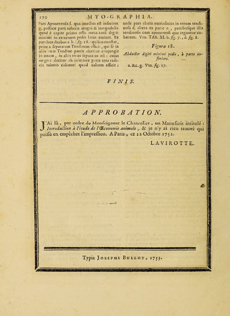 Pars Aponevrofis f. qua intedlus eft inferieur g. pofticæ parti tuberis magni & inaequabilis quod è capite primo offis meta-tarii digiti minimi in externum pedis latus eminet. Ex partibus duabus a. b. {fig. 1 8.) quibus confiât, prior a. fepararum Tendinem efficit, qui fe in aliis cum Tendine parais alcerius conjungit in unum , in aliis totus feparatus efl ; cujus orgo c ducitur ab interiore parte tota radi¬ cis tuberis calcanei quod calcem efficit ; unde pars altera extrinfecus in totum tendi- nofa d. altera ex parte e. , partibufque illis tendinolis cum aponevrofi qua teguntur co- liærent. Vid. TAB. XI. b. fig. 7., d. fig. 8. F leur a 18. Jdbduclor digiti minimi pedis , a parte in¬ feriore. a. &c.,g. Vid. fig. 17. FINIS; APPROBATION. I Ai lu , par ordre de Monfeigneur le Chancelier , un Manufcrit intitulé : J IntroduElion a l'étude de /’(Economie animale , & je n’y ai rien trouvé qui puiiTe.en empêcher l’impreiliom A Paris-, ce îzOdobre 1752. LAVIROTTL i Typis Joseph 1 Bullot* 1753.