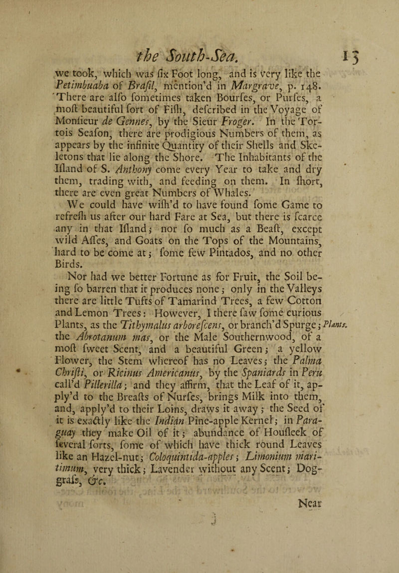 / the South-Sea. x> we took, which was fix Foot long, and is very like the Petimbuaba of Brafil, mention’d in Margrave, p. 148. 'There are alfo fometimes taken Bourfes, or Purfes, a nioft beautiful fort of Fifh, deferibed in the Voyage of Monfieur de Gennes, by the Sieur Froger. In the Tor- tois Seafon, there are prodigious Numbers of them, as appears by the infinite Quantity of their Shells and Ske¬ letons that lie along the Shore. The Inhabitants of the Ifland of S. Anthony come every Year to take and dry them, trading with, and feeding on them. In fhort, there are even great Numbers of Whales. ’ We could have wifh’d to have found fome Game to rcfrefii us after our hard Fare at Sea, but there is fcarce any in that Ifland > nor fo much as a Beaft, except wild Afles, and Goats on the Tops of the Mountains, hard to be come at > fome few Pintados, and no other Birds. Nor had we better Fortune as for Fruit, the Soil be¬ ing fo barren that it produces none; only in the Valleys there are little Tufts of Tamarind Trees, a few Cotton and Lemon Trees: However, I there faw fame curious / Plants, as the TAithymalus arborefeenr, or branch’d Spurge; Plants. the Abrotanum mas^ or the Male Southernwood, of a moft fweet Scent, and a beautiful Green; a yellow Flower, the Stem whereof has no Leaves,* the Palma Chrifti, or Ricinus Americanus, by the Spaniards in Pent call’d Pillerilla; and they affirm, that the Leaf of it, ap- ply’d to the Breads of Nurfes, brings Milk into them, and, apply’d to their Loins, draws it away; the Seed of it is exa&ly like the Indian Pine-apple Kernel,* in Para¬ guay they make Oil of it; abundance of Houfleek of faveral forts, fame of which have thick round Leaves like an Hazel-nut; Coloquintida-appler; Limonium mari- timum, very thick > Lavender without any Scent; Dog- graft, (JC. ^ - I . 4 . f f •/ C* ! f \ • iff k f ^ I l ' * Near