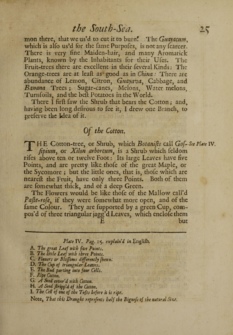 mon there, that we us’d to cut it to burn! The Guayacum, which is alfo us’d for the fame Purpofes, is not any {career. There is very fine Maiden-hair, and many Aromatick Plants, known by the Inhabitants for their Ufes. The Fruit-trees there are excellent in their feveral Kinds: The Orange-trees are at leaft as good as in China: There are abundance of Lemon, Citron, Guayava, Cabbage, and Banana Trees; Sugar-canes, Melons, Water melons, Turnfoils, and the beft Potatoes in the World. There I firft faw the Shrub that bears the Cotton > and, having been long defirous to fee it, I drew one Branch, to preferve the Idea of it. Of the Cotton. 'T'HE Cotton-tree, or Shrub, which Botanijls call Gof- See plate ivt Jipium, or Xilon arboreum, is a Shrub which feldom rifes above ten or twelve Foot: Its large Leaves have five Points, and are pretty like thofe of the great Maple, or the Sycomore ; but the little ones, that is, thofe which are neareft the Fruit, have only three Points. Both of them are fomewhat thick, and of a deep Green. The Flowers would be like thofe of the Mallow call’d Pafte-rofe, if they were fomewhat more open, and of the fame Colour. They are fupported by a greenCup, com¬ pos’d of three triangular jagg’d Leaves, which enclofethem E but Plate IV. Pag. 25. explain'd in Englifh. A. The great Leaf with five Points. B. The little Leaf with three Points. C. Flowers or Bloffoms differently [hewn: D. The Cup of triangular Leaves. E. The Bud parting into four Cells. F. Ripe Cotton. G. A Seed cover'd with Cotton. H. A Seed firippd of the Cotton. I. The Cell of one of the Tufts before it is ripe. Note, That this Draught reprefents half the Bignefs of the natural