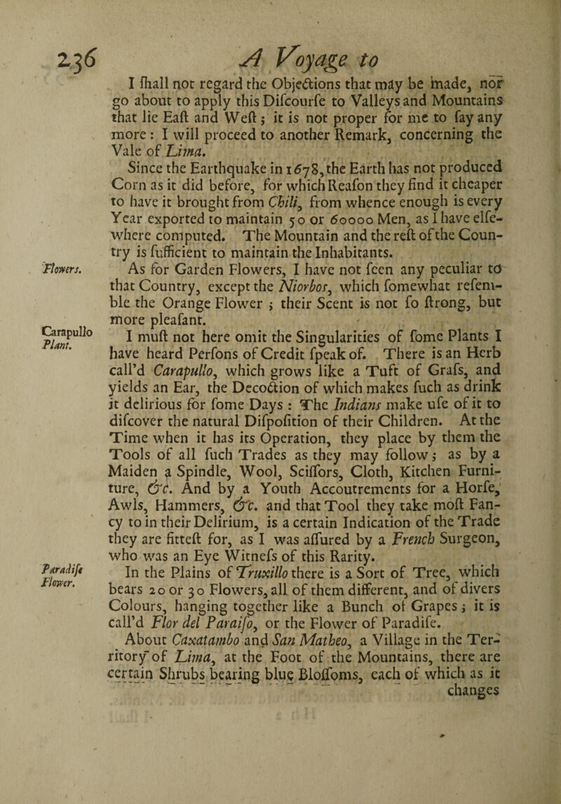 i Flowers. Carapullo Plant. Taradift Flower. A Voyage to I fiiall not regard the Objections that may be made, nor go about to apply this Difcourfe to Valleys and Mountains that lie Eaft and Weft; it is not proper for me to fay any more: I will proceed to another Remark, concerning the Vale of Lima. Since the Earthquake in 1678, the Earth has not produced Corn as it did before, for which Reafon they find it cheaper to have it brought from Chili ^ from whence enough is every Year exported to maintain 50 or 60000 Men, aslhaveelfe- where computed. The Mountain and the reft of the Coun¬ try is fufficient to maintain the Inhabitants. As for Garden Flowers, I have not feen any peculiar ter that Country, except the Niorbor, which fomewhat refem- ble the Orange Flower $ their Scent is not fo ftrong, but more pleafant. I muft not here omit the Singularities of fome Plants I have heard Perfons of Credit fpeak of. There is an Herb call’d Carapullo, which grows like a Tuft of Grafs, and yields an Ear, the Deco&ion of which makes fuch as drink it delirious for fome Days : The Indians make ufe of it to difeover the natural Difpofition of their Children. At the Time when it has its Operation, they place by them the Tools of all fuch Trades as they may follow ,* as by a Maiden ^ Spindle, Wool, Scilfors, Cloth, Kitchen Furni¬ ture, &C And by a Youth Accoutrements for a Horfe, Awls, Hammers, &c. and that Tool they take moft Fan¬ cy to in their Delirium, is a certain Indication of the Trade they are fitteft for, as I was allured by a French Surgeon, who was an Eye Witnefs of this Rarity. In the Plains of Truxillo there is a Sort of Tree, which bears 20 or 30 Flowers, all of them different, and ol divers Colours, hanging together like a Bunch ol Grapes j it is call’d Flor del Paraifoy or the Flower of Paradife. About Caxatambo and San Matheo, a Village in the Ter¬ ritory of Lima, at the Foot of the Mountains, there are certain Shrubs bearing blue Blolfoms, each of which as it changes