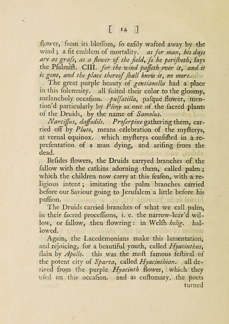 flower, from its bloflom, fo eafily wafted away by the wind ; a fit emblem of mortality, as for man, his days are as grajs, as a flower of the field, Jo he perijheth, fays the Pfalmift. CJ.1I. for the wind pajfeth over it, and it is gone, and the place thereof fhall know it, no more, . The great purple beauty of gentianella had a place in this folemnity. all fuited their color to the gloomy, melancholy occafion. pulj'atilla, pafque flower, men¬ tion’d particularly by Pliny as one of the facred plants of the Druids, by the name of Samolus, Narciffus, daffodils. Proferpine gathering them, car¬ ried off by Pluto, means celebration of the myfterys, at vernal equinox, which myfterys confifted in a re- prefentation of a man dying, and arifing from the dead. Befides flowers, the Druids carryed branches of the fallow with the catkins adorning them, called palm ; which the children now carry at this feafon, with a re¬ ligious intent; imitating the palm branches carried before our Saviour going to Jerufalem a little before his pafllon. The Druids carried branches of what we call palm, in their facred procefiions, i. e. the narrow-leav’d wil¬ low, or fallow, then flowring : in Welfh helig, hal¬ lowed. Again, the Lacedemonians make this lamentation, and rejoicing, for a beautiful youth, called Hyacintkus, /lain by Apollo. this was the moft famous feftival of the potent city of Sparta, called Hyacinthian, all de¬ rived from the purple Hyacinth flower, which they tifed on this occafion. and as cuftomary, the poets turned