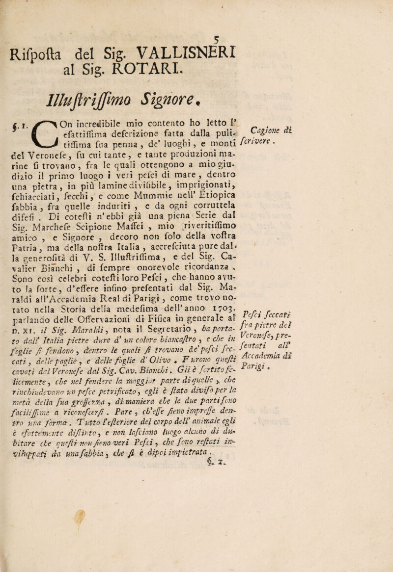 Rifpofta del Sig. VALLISNHRI al Sig. ROTARI. llluftrijjìma Signore, I, i. On incredibile mio contento ho letto V S efatti filma definizione fatta dalla pulì- tifi! ni a fua penna , de* luoghi, e monti del Veronefe, fu cui tante, e tante produzioni ma¬ rine fi trovano, fra le quali ottengono a mio giu¬ dizio il primo luogo i veri pelei di mare , dentro una pietra, in piu lamine diviiibile, imprigionati* fchìacciati, fecchi, e come Mummie nell9 Etiopica fabbia , fra quelle induriti , e da ogni corruttela difefi . Di cotefti n’ebbi già una piena Serie dal Sig. Marchefe Scipione Maffei , mio riveritiffimo amico , e Signore , decoro non foto della voftra Patria, ma della noftra Italia, accrcfciuta pure dal¬ la generofità di V. S. Uluflriffima , e del Sig. Ca- valitr Bianchi , di fempre onorevole ricordanza * Sono così celebri cotefli loro Pefci, che hanno avu¬ to la forte, d’eflere infino prefentati dal Sig. Ma- raldi all’Accademia Rea! di Parigi , come trovo no¬ tato nella Storia della medefima dell’anno 1703. parlando delle Ofiervazioni di Fifica in generale al n. xr. il Sig. Mara Idi, nota il Segretario, ha porta¬ to dall’ Italia pietre dure d* un colore hiancajlro , e che in foglie fi fendono , dentro le quali fi trovano àc pefci fec¬ coti , delle paglie , e delle foglie di Olivo . F urono quefti cavati dal Veronefe dal Sig. Cav. Bianchi. Gii è fc? tifo fe¬ licemente , che nel fendere la maggior parte di quelle * che rinchiudevano un pefce petrifeato, egli e flato dtvifo per la metà della fua graffetta <> di maniera che le due parti fono facili fifone a riconcfcerfi . Pare , ch'efje fieno ìmprejfe den¬ tro una forma. Tutto feftcrìore del corpo dell’ animale egli è {fattamente di fi. irto, e non lafciano luogo alcuno di du* hit are che quefti non fieno veri Pefci , che fono reftaii ìt> vìhfpati da una fabbia 3 che fi è dipoi impietrata » Cagione di fcrivere * Pefci fece a ti fra pietre dei Veronefe, pre¬ fentati alP Accademia dì Parigi.