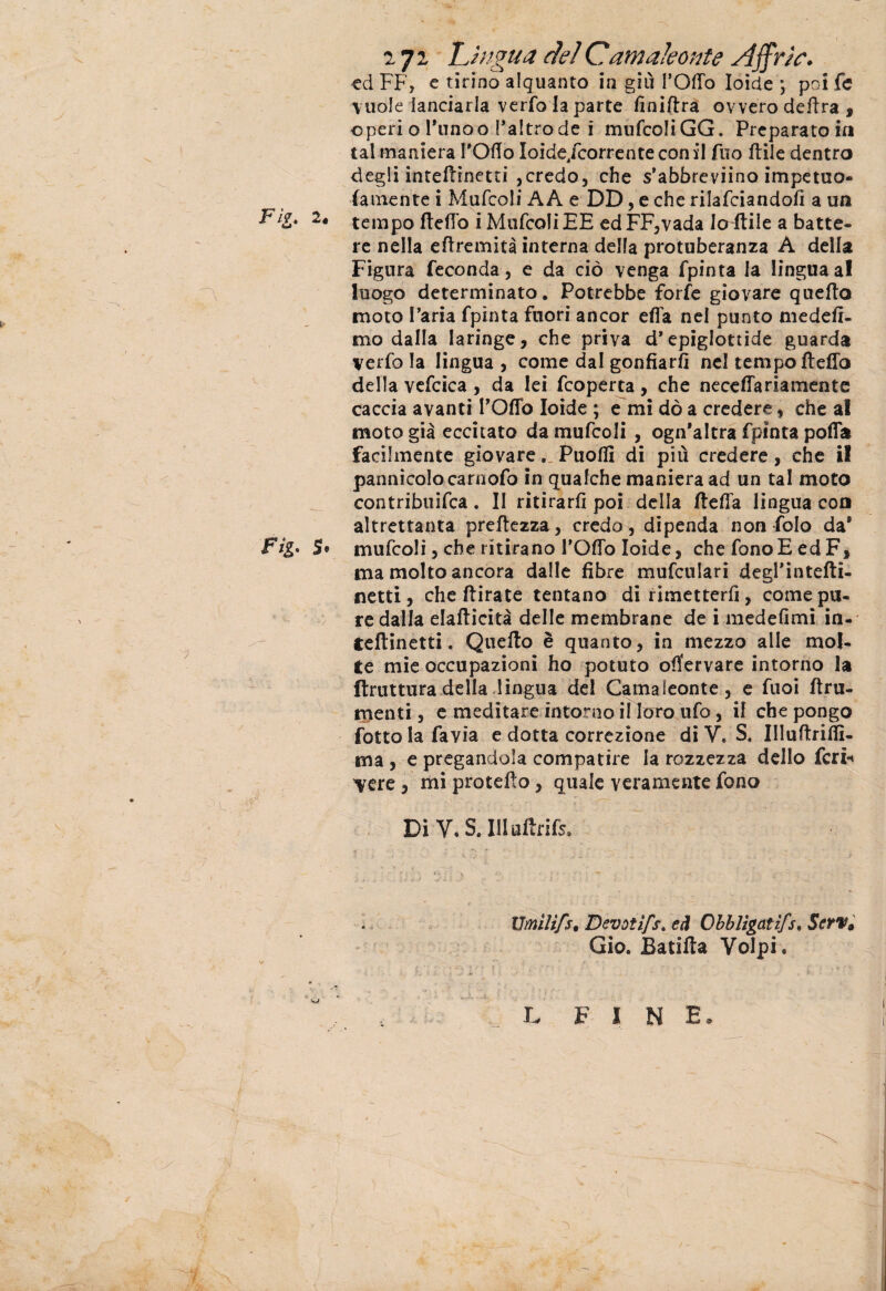 ryr Lìngua del Camaleonte Affrìe. •ed FF, e tirino alquanto in giù FOlTo Ioide poi fe vuole lanciarla verfo la parte finiftra ovvero delira , operi o l'unoo l'altrode i mufcoIiGG. Preparatoia tal maniera l'Olio Ioide/correnteconiI Aio ftile dentro degli inteftineui ,credo, che s’abbreviina impetuo- (aulente i Mufcoli A A e DD, e che rilafciandofi a un F /£. 2é tempo dello i Mufcoli EE ed FF,vada lo ftile a batte¬ re nella edremità interna della protuberanza A della Figura feconda, e da ciò venga fpinta la lingua al luogo determinato. Potrebbe forfè giovare quello moto l'aria fpinta fuori ancor eda nel punto medefi- mo dalla laringe, che priva d'epiglottide guarda verfo la lingua , come dal gonfiarli nel tempo dello della vefcica , da lei fcoperta, che neceflariamente caccia avanti POffo Ioide ; e mi dò a credere, che al moto già eccitato da mufcoli , ogn'altra fpinta polla facilmente giovare. Puoflì di più credere, che il pannicolo carnofo in qualche maniera ad un tal moto contribuita. Il ritirarli poi della della lingua eoa altrettanta predezza, credo, dipenda non folo da8 Fig> S® mufcoli, che ritirano TOlTo Ioide, che fono E ed F, ma molto ancora dalle fibre mufculari degl'intedi- netti, che dirate tentano di rimetterli, come pu¬ re dalla eladicità delle membrane de i medefimi in- tedinetti. Quedo è quanto, in mezzo alle mol¬ te mie occupazioni ho potuto oflfervare intorno la (tratturadella lingua de! Camaleonte, e Tuoi dru- menti, e meditare intorno iì loro ufo, il che pongo fotto la favia e dotta correzione di V. S. Illudrilfi- ma , e pregandola compatire la rozzezza dello ferii V’ere, mi protefto, quale veramente fono Di V* S. Illudrifs. T • *' ? ' * • - r . $ , tJ. : V ; • . ; ■» ' ^ ‘ ■ , Umlifst Devùtìf r. ed Obbligaiìf r„ Seti*, Gio. Batida Volpi. • ' *'t ■ $ ' f •* ■■ , r/s ; : •; 1' - f : ■ •'f '■ . • . ••• ■ i ; - * .. A.i L F I N E,