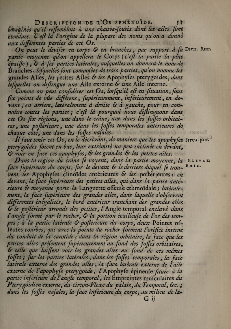 Description de l’Os sphénoïde, ji imaginés qu'il reffembloit à une chauve-fouris dont les -ailes font étendues. Ce fl la V origine de la plupart des noms qu'on a donné aux différentes parties de cet Os. On peut le divifer en corps & en branches, par rapport à fa partie moyenne quon appellera le Corps (c efl la partie la plus épaiffe ), & à fes parties latérales, aufquelles on donnera le nom de Branches, lefquelles font compofées de trois parties, quon nomme les grandes Allés, les petites Ailes & les Apophyfes ptcrygoïdes, dans lefquelles on diflingue une Aile externe & une Aile interne. Comme on peut confidérer cet Os, lorfqu'il efl en fituation,fous fix points de vûe differens , fupérieurement, inférieurement, en de- vant, en arriéré, latéralement à droite & à gauche, pour en con- noître toutes les parties ; c'efl la pourquoi nous diflinguons dans cet Os fix régions, une dans le crâne, une dans les foffes orbitai¬ res , une poflérieure, une dans les foffes temporales antérieures de chaque côté, une dans les foffes nafales. Il faut tenir cet Os, en le décrivant, de maniéré que les apophyfes pterygoides foient en bas, leur extrémité un peu inclinée en devant, & voir en face ces apophyfes, & les grandes & les petites ailes. Dans la région du crâne fe voyent, dans la partie moyenne, la face fupérieure du corps, fur le devant & le derrière duquel fe trou¬ vent les Apophyfes clinoïdes antérieures & les poftérieures ; en devant, la face fupérieure des petites ailes, qui dans la partie anté¬ rieure & moyenne porte la Languette offeufe ethmoidale 5 latérale¬ ment, la face fupérieure des grandes ailes, dans laquelle s obfervent différentes inégalités, le bord antérieur tranchant des grandes ailes & le poflérieur arrondi des petites, /’Angle temporal enclavé dans l'angle formé par le rocher, & la portion écailleufe de Vos des tem¬ pes ; à la partie latérale & poflérieure du corps, deux Pointes of- feufes courbes, qui avec la pointe du rocher forment Vorifice interne du conduit de la carotide ; dans la région orbitaire, la face que les petites ailes préfentent fupérieurement au fond des foffes orbitaires, & celle que laiffent voir les grandes ailes au fond de ces mêmes foffes ; fur les parties latérales, dans les foffes temporales , la face latérale externe des grandes ailes, la face latérale externe de L'aile externe de Vapophyje pterygoide, /’Apophyfe épineufe ftuée à la partie inférieure de l'angle temporal, les Empreintes mufculaires du Pterygoidien externe, du circon-Flexe du palais, du Temporal, &c. ; dans les foffes nafales, la face inférieure du corps, au milieu de la- G ij Divis. Recï» Situa, pire. E t E T A Ti E M I K.