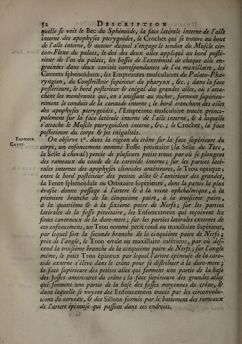 Enfonce. Cavit. fi Description , quelle Je voit le Bec du Sphénoïde, la face latérale interne de Vaîh interne des apophyfes pterygoïdes , le Crochet qui fe trouve au bout de Vaile interne, g* autour duquel s'engage le tendon du Mufcle cir- con-Flexe du palais, le dos des deux ailes appliqué au bord pofiè- rieur de Vos du palais, les boffes de Vextrémité de chaque aile en¬ grainées dans deux cavités correfpondantes de l'os maxillaire, les Cornets fphenoïdaux, les Empreintes mufculaires du Palato-Pha- jyngien , du Confiricleur fupérieur du pharynx , &c. ; dans la face pofiérieure, le bordpoflérïeur & inégal des grandes ailes, où s'atta¬ chent les membranes qui, en s'unifiant au rocher, forment fupérieu- rement le conduit de la carotide interne ; le bord tranchant des ailes des apophyfes pterygoides, /'Empreinte mufculaire tracée princi¬ palement fur la face latérale interne de l'aile interne, & à laquelle, s'attache le Mufcle pterygoïdïen interne , &c. ; le Crochet, la face poflérieure du corps & fes inégalités. On obferve i°. dans la région du crâne fur la face fùpérieure du corps, un enfoncement nommé FofTe pituitaire [la Selle du Turc, la Selle à cheval ) percée de plufieurs petits trous par où fe plongent des rameaux du coude de la carotide interne; fitr les parties laté¬ rales internes des apophyfes clinoïdes antérieures, le Trou optique ; entre le bord poflèrieur des petites ailes & l'antérieur des grandes; la Fente fphenoïdale ou Orbitaire fupérieure, dont la partie la plus évafée donne pajfage à l'artere & a la veine ophtlialmique ,a la première branche de la cinquième paire, à la troifiéme paire, à la quatrième & a la fixiéme paire de Nerfs ; fur les parties latérales de la foffe pituitaire, les Enforïcemens qui reçoivent les (inus caverneux de la dure-mere ; fur les parties latérales externes de ces enfoncemens, un Trou nommé petit rond ou maxillaire fupérieur, par lequel fort la fécondé branche de la cinquième paire de Nerfs ; près de l'angle, le Trou ovale ou maxillaire inférieur, par où def- cend la troifiéme branche de la cinquième paire de Nerfs ; fur l'angle meme, le petit Trou épineux par lequel Vartere épineufi de la caro¬ tide externe s'élève dans le crâne pour fi diflribuer à la dure-mere ; la face fupérieure des petites ailes qui forment une partie de la bafe des fofjes antérieures du crâne ; la face fupérieure des grandes ailes qui forment une partie de la bafe des fofjes moyennes du crâne, & dans laquelle fi voyent des Enfoncemens tracés par les circonvolu¬ tions d.u cerveau, & des Sillons formés par le battement des rameaux de l'artere épineujê qui paffent dans ces endroits.