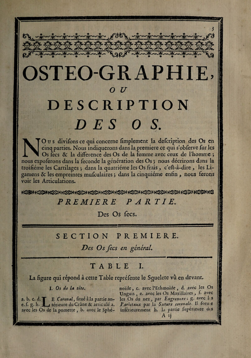 If*?' ■* + * + ♦ '*-**-*' ♦ ♦♦**« OSTEOGRAPHIE. o u DESCRIPTION DES OS. * * . , . . I ' NO u s divifons ce qui concerne Amplement la defcription des Os en cinq parties. Nous indiquerons dans la première ce qui s’obferve fur les Os fecs & la différence des Os de la femme avec ceux de l’homme ; nous expoferons dans la fécondé la génération des Os ; nous décrirons dans la troifiéme les Cartilages j dans la quatrième les Os frais , c’eft-à-dire , les Li- gamens &c les empreintes mufculaires j dans la cinquième enfin , nous ferons voir les Articulations* PREMIERE PARTIE. Des Os fecs. SECTION PREMIERE. Des Os fecs en général. TABLE I. La figure qui répond à cette Table repréfente le Squelete vu en devant. I. Os de la tête. noïde, c. avec l’Ethmoïde , d. avec les Os Unguis , e. avec les Os Maxillaires , f. avec a. b. c. d.T E Coronal, fituéàla partie an- les Os du nez, par Engrenr.re ; g- avec les e. f. g. h. I j térienre du Crâne & articulé a. Pariétaux parla Suture coronale. Il forne avec les Os de la pomette , b. avec le Sphé- inférieurement h. la partie fuperieure des A ij