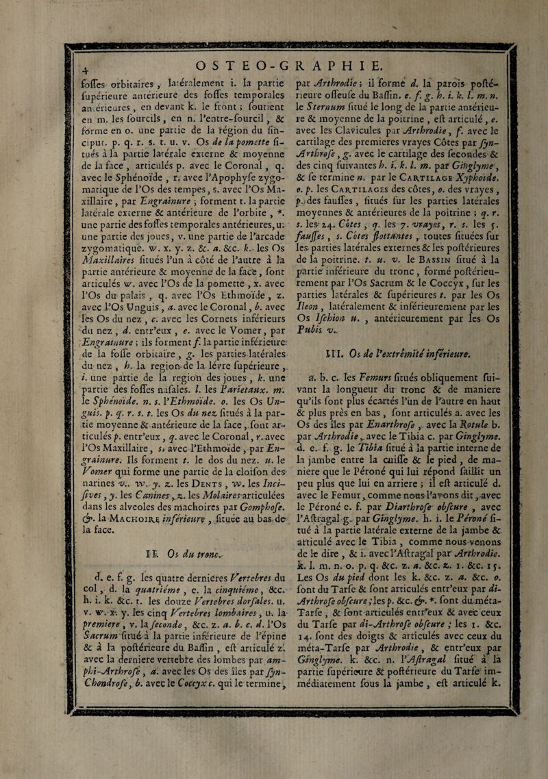 fofies orbitaires , latéralement i. la partie fupérieure antérieure des foftes temporales antérieures , en devant k. le front ; foutient en m. les fourcils , en n. l’entre-fourcil , & forme en o. une partie de la région du fin- cipur. p. q. r. s. t. u. v. Os de lapomctte fi- tués à la partie latérale externe & moyenne de la face , articulés p. avec le Coronal, q. avec le Sphénoïde , r. avee l’Apophyfe zygo¬ matique de l’Os des tempes, s. avec l’Os Ma¬ xillaire , par Engrainure ; forment t. la partie latérale externe & antérieure de l’orbite , *. une partie desfofles temporales antérieures, u: une partie des joues, v. une partie de l’arcade zygomatique, vv. x. y. z. &. a. &c. k. les Os Maxillaires fitués l’un à côté de l’autre à la partie antérieure & moyenne de la face, font articulés v/. avec l’Os de la pomette , x. avec l’Os du palais , q. avec l’Os Ethmoïde , z. avec l’Os Unguis , a. avec le Coronal, b. avec les Os du nez , c. avec les Cornets inférieurs du nez , d. entr’eux , e. avec le Vomer, par Engrainure ; ils forment f. la partie inférieure, de la foife orbitaire , g. les parties latérales du nez , h. la région de la lèvre fupérieure i. une partie de la région des joues , k. une partie des foffes nafales. I. les Pariétaux, m. le Sphénoïde, n. s. YEthmoïde. o. les Os Un- guis. p. q. r. s. t. les Os du nez fitués à la par¬ tie moyenne & antérieure de la face ,.font ar¬ ticulés p. entr’eux, q. avec le Coronal, rvavec l’Os Maxillaire, s, avec l’Ethmoïde , par En- grainure. Ils forment t. le dos du nez. u. le Vorner qui forme une partie de la cloifon des narines v., vv. y. z. les Dents , vv. les Inci- Jïves, y. les Canines les Molairesanicalées dans les alvéolés des mâchoires par Gomphofe. &. la Mâchoire inférieure , lituée au bas de la face. II. Os du tronc. d. e. f. g. les quatre dernicres Vertelres du col y d. la quatrième , e. la cinquième, &c. h. i. k. &c. t. les douze Vertebres dorfales. u. v. yy.-ir. y. les cinq Vertebres lombaires, u. la- première , v. la fécondé, &c. z. a. b. c. d. l’Os Sacrum fitüdà la partie inférieure de l’épine & à la poftérieure du Badin , eft articulé zi avec la derniere vertebie des lombes par am- phi-Arthrofe , a. avec les Os des îles par fyn- Chondrofe, b. avec le Coccyx c. qui le termine,. pat Arthrodie ; il forme d. la parois pofté¬ rieure ofleufe du Baflin. e. f. g. h. i. k. L m. n. le Sternum fitué le long de la partie antérieu¬ re & moyenne de la poitrine , eft articulé , e. avec les Clavicules par Arthrodie, f. avec le cartilage des premières vrayes Côtes par fyn- Arthrofe, g. avec le cartilage des fécondés & des cinq fuivantes h. i. k. I. m. par Ginglyme, & fe termine ». par le Cartilage Xyphoïde. o. p. les Cartilages des côtes, o. des vrayes , p. des faufles, fitués fur les parties latérales moyennes & antérieures de la poitrine ; q. r. s. les'2.4. Côtes , q. les 7. vrayes, r. s. les f. faujfes , s. Côtes flottantes , toutes fituées fur les-parties latérales externes & les poftérieures de la poitrine, t. u. v. le Bassin fitué à la partie inférieure du tronc , formé poftérieu- rement par l’Os Sacrum & le Coccyx , fur les parties latérales & fupérieures t. par les Os Ileon , latéralement & inférieurement par les Os lfchion u. , antérieurement par les Os Pubis v.. I I I. Os de Vextrêmïté inferieure, ». b. c. les Fémurs fitués obliquement fui- vant la longueur du tronc & de maniéré qu’ils font plus écartés l’un de l’autre en haut & plus près en bas , font articulés a. avec les Os des îles par Enarthrofe , avec la Rotule b. par Arthrodie r avec le Tibia c. par Ginglyme. d. e. f. g. le Tibia fitué à la partie interne de la jambe entre la cuifle & le pied , de ma¬ niéré que le Péroné qui lui répond faillit un peu plus que lui en arriéré ; il eft articulé d. avec le Femur, comme nous l’avons dit, avec le Péroné c. f. par Diarthrofe ebfcure , avec l’Aftragal-g. par Ginglyme, h. i. le Péroné fi¬ tué à la partie latérale externe de la jambe &. articulé avec le Tibia , comme nous venons de le dire , & i. avec l’Aftragal par' Arthrodie. k. 1. m. n. o. p. q. &c. z. a. &c. z. 1. &c. 1 j. Les Os du pied dont les k. &c. z. a. &c. 0. font du Tarfe & font articulés entr’eux par di- Arthrofe obfcure ;les p. &c. &. *. font du méta- Tarfe , & font articulés entr’eux & avec ceux du Tarfe par di-Arthrofe obfcure ; les 1. &c. 14. font des doigts & articulés avec ceux du méta-Tarfe par Arthrodie , & entr’eux par Ginglyme, k. &c. n. YAftragal fitué à la partie fupérieure & poftérieure du Tarfe- im¬ médiatement fous la jambe , eft articulé k.