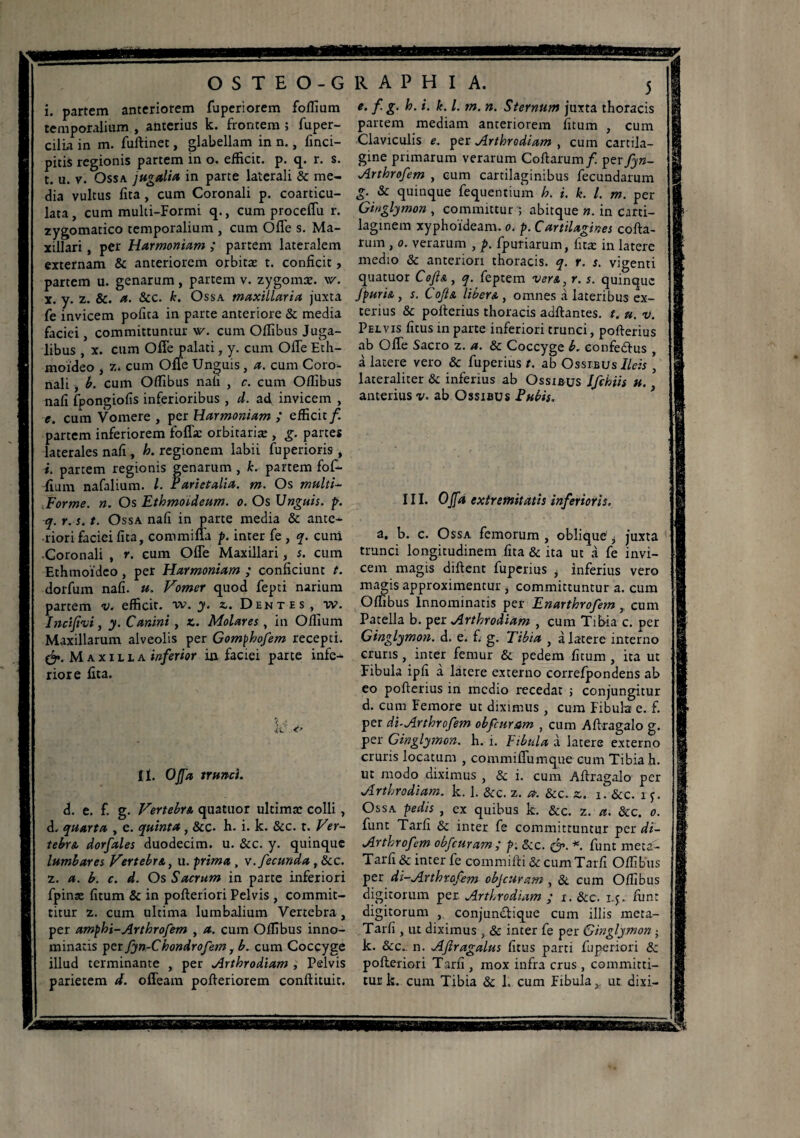 O S T E O-G i. partem anteriorem fuperiorem follium temporalium , anterius k. frontem ; fuper- cilü in m. fuftinet, glabellam in n., (inci¬ pitis regionis partem in o. efficit, p. q. r. s. t. u. v. Ossa jugalia in parte laterali & me¬ dia vultus fita , cum Coronali p. coarticu- lata, cum muki-Formi q., cum proceffu r. zygomatico temporalium , cum Offe s. Ma- xülari , per Harmoniam ; partem lateralem externam & anteriorem orbitæ t. conficit, partem u. genarum, partem v. zygomæ. w. x. y. z. &. a. &c. k. Ossa maxillaria juxta fe invicem pofita in parte anteriore St media faciei, committuntur v/. cum Oflibus Juga¬ libus , x. cum Offe palati, y. cum Offe Eth- moideo , z. cum Offe Unguis , a. cum Coro¬ nali , b. cum Oflibus nafi , c. cum Oflibus nafi fpongiofis inferioribus , d. ad invicem , e. cum Vomere , per Harmoniam ; efficit f. partem inferiorem foffæ orbitariæ , g. partes laterales nafi, h. regionem labii fuperioris , i. partem regionis genarum , k. partem fof- ffum nafalium. I. Parietalia, m. Os multi- Forme, n. Os Ethmoideum. o. Os Unguis, p. q. r. s. t. Ossa nafi in parte media St ante* ■riori faciei fita, commiffa p. inter fe , q. cum Coronali , r. cum Offe Maxillari, s. cum Ethmoidco, per Harmoniam ; conficiunt t. dorfum nafi. u. Vomer quod fepti narium partem v. efficit, w. y. z,. Dentes, w. Incifivi, y. Canini, x. Molares , in Offium Maxillarum alveolis per Gompbofem recepti. &. Maxilla inferior in faciei parte infe¬ riore fita. iC,& II. Offa trunci. d. e. f. g. Vertebrs. quatuor ultima; colli, d. quarta , e. quinta, &c. h. i. k. Stc. r. Ver¬ tebra dorfales duodecim, u. Stc. y. quinque lumbares Vertebra, u. prima , w. fecunda, Stc. z. a. b. c. d. Os Sacrum in parte inferiori fpinae fitum St in pofteriori Pelvis , commit¬ titur z. cum ultima lumbalium Vertebra, per amphi-Arthrofem , a. cum Oflibus inno¬ minatis per fyn-Chondrofem , b. cum Coccyge illud terminante , per Arthrodiam , Pelvis parietem d. offeam pofteriorem conftituit. RAPHIA. 5 e. f. g. h. i. k. I. m. ». Sternum juxta thoracis partem mediam anteriorem fitum , cum Claviculis e. per Arthrodiam , cum cartila¬ gine primarum verarum Coftarum/1 per fyn- Arthrofem , cum cartilaginibus fecundarum g. St quinque fequentiurn h. i. k. I. m. per Ginglymon , committur ; abitque ». in carti¬ laginem xyphoïdeam. o. p. Cartilagines cofta- rum , o. verarum , p. fpuriarum, fita; in latere medio St anteriori thoracis, q. r. s. vigenti quatuor Cofia, q. feptem ver a, r. s. quinque JpuriA , s. CoJIa liberA , omnes à lateribus ex¬ terius & pofterius thoracis adftantes. t. ». v. Pelvis fitus in parte inferiori trunci, pofterius ab Offe Sacro z. a. St Coccyge b. eonfe&us , à latere vero St fuperius t. ab Ossibus Ileis , lateraliter St inferius ab Ossibus Ifchiis u. anterius v. ab Ossibus Pubis. III. Offa extremitatis inferioris. a. b. c. Ossa femorum , oblique * juxta trunci longitudinem fita & ita ut à fe invi¬ cem magis difient fuperius , inferius vero magis approximentur , committuntur a. cum Offibus Innominatis per Enarthrofetn, cum Patella b. per Arthrodiam , cum Tibia c. per Ginglymon. d. e. f g. Tibia , à latere interno cruris , inter femur & pedem fitum , ita ut Fibula ipfi à latere externo correfpondens ab eo pofterius in medio recedat ; conjungitur d. cum Femore ut diximus , cum Fibula e. f. per di-Arthrofem obfcuram , cum Aftragalo g. per Ginglymon. h. i. hbula à latere externo cruris locatum , commiffumque cum Tibia h. ut modo diximus , & i. cum Aftragalo per Arthrodiam. k. 1. Stc. z. a. &c. x. i. &c. i f. Ossa pedis , ex quibus k. &c. z. a. Stc. o. funt Tarfi St inter fe committuntur per di- Arthrofem obfcuram ; p. Stc. &. *. funt meta- Tarfi St inter fe commifti St cum Tarfi Oflibus per di-Arthrofem obfcuram , St cum Oflibus digitorum per. Arthrodiam ; i. &c. iy. funt digitorum , conjundtique cum illis meta- Tarfi, ut diximus , & inter fe per Ginglymon ; k. &c., n. Afiragalus fitus parti fuperiori St pofteriori Tarfi, mox infra crus , committi¬ tur k. cum Tibia St 1. cum Fibula,, ut dixi-