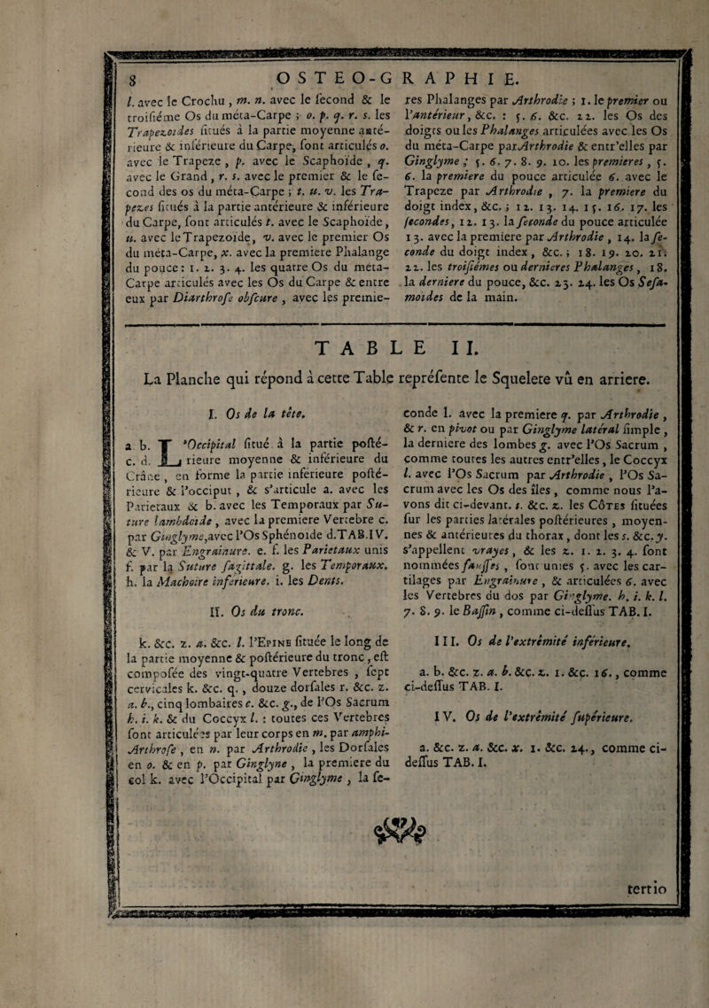 l. avec 'le Crochu , m. n. avec le fécond & le troifiécne Os du méta-Carpe ; o. p. q. r. s. les Trapezoïdes fîmes à la partie moyenne asté- rieure &c inférieure du Carpe, font articulés o. avec le Trapeze , p. avec le Scaphoïde , q. avec le Grand , r. s. avec le premier & le fé¬ cond des os du méta-Carpe ; t. u. v. les Tra¬ pèzes fîcués à la partie antérieure & inférieure du Carpe, font articulés t. avec le Scaphoïde, «. avec leTrapezoïde, v. avec le premier Os du méta-Carpe, x. avec la première Phalange du pouce: i. z. 3. 4. les quatre Os du méta- Carpe articulés avec les Os du Carpe & entre eux par Diarthrof obfaire , avec les premie- res Phalanges par Arthrodie ; 1. le premier ou Eantérieur, &c, : y. 6. Scc. 11. les Os des doigts ouïes Phalanges articulées avec les Os du méta-Carpe parArthrodie & entr’elles par Ginglyme ; $.5. 7. 8. 9. 10. les premières , f. 6. la première du pouce articulée 6. avec le Trapeze par Arthrodie , 7. la premiers du doigt index, Scc. ; n. 13. 14. 1 f. 16. 17. les fécondés, 12,. 13. la féconde du pouce articulée 13. avec la première par Arthrodie , 14, lafe- conde du doigt index, &c. ; 18. 19. 2.0, zîi zz. les troifiémes ou demieres Phalanges, 18. la derniers du pouce, Scc. 13. Z4. les Os Sefa- motdes de la main. TABLE IL La Planche qui répond à cette Table repréfente le Squelete vu en arriéré. X. Os de la tète, a b. T *Occipital fitué. à la partie pofté- c. d. I j rieure moyenne & inférieure du Crâne , en forme la partie inferieure pofté- rieure & l’occiput , & s’articule a. avec les Pariétaux de b. avec les Temporaux par Su- tnre lambda de , avec la première Vercebre c. par Ginglyme,Avec l’Os Sphénoïde d.TAB.IV. & V. par Engrainure. e. f. les Pariétaux unis f. par la Suture fagittale. g. les Temporaux, h. la Mâchoire inferieure, i. les Dents. IL Os du tronc. k. &c. z. a. &c. /. I’Epine fituée le long de la partie moyenne & poftérieure du tronc , eft compofée des vingt-quatre Vertebres , fept cervicales k. &c. q., douze dorfales r. Scc. z. a. b., cinq lombaires c. Scc. g., de l’Os Sacrum k. i. k. & du Coccyx /. : toutes ces Vertebres font articulées par leur corps en m. par amphi- Arthrofe , en n. par Arthrodie , les Dorfales en 0. & en p. par G'mglyne , la première du eol k. avec l’Occipital par Ginglyme , la fé¬ condé I. avec la première q. par Arthrodie , & r. en pivot ou par Ginglyme latéral iimple , la derniere des lombes £. avec l’Os Sacrum , comme toutes les autres entr’elles, le Coccyx l. avec l’Os Sacrum par Arthrodie , l’Os Sa¬ crum avec les Os des îles , comme nous l’a¬ vons dit ci-devant, t. &c. z. les Côtes fltuées fur les parties iarérales poftérieures , moyen¬ nes & antérieures du thorax , dont les s. 8cc.y. s’appellent vrayes , 6c les z. 1. z. 3. 4. font nommées fax J] es , font unies f. avec les car¬ tilages par Engrainure , 6c articulées 6. avec les Vertebres du dos par GEglyme. h. i. k. L 7. S. 9. le Bajfm , comme ci-deflus TAB. I. III. Os de l'extrémité inférieure, a. b. Scc. %. a. b. 8cc. z. 1. Scc. 16., comme ei-deflus TAB. I. IV. Os de l'extrémité fupérieure. a. &c. z. a. Scc. x. 1. Scc. 14., comme ci- deflus TAB. I. mi tertio Va