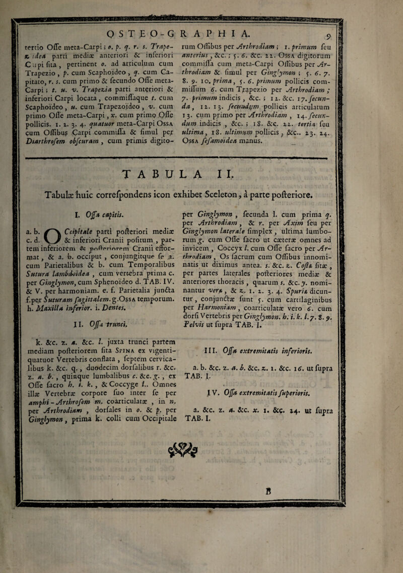 agjasnaaatefigE OSTfO-GR APHIA, 9 tertio Ofle meta-Carpi ; o. p. q. r. s. Trape- rum Oflibus per Arthrodiam ; 1. primum feu x. idea parti medice anteriori & inferiori anterius , &c. : f. 6. &c. 11. Ossa digitorum Cupifita, pertinenc 0. ad articulum cum commifla cum meta-Carpi Oilibus per Ar- Trapezio, p. cum Scaphoideo, q. cum Ca- throdiam & fimul per Ging'ymon ; f. 6. 7. pitato, r. s. cum primo & fecundo Ofle meta- 8. 9. xo. prima, 5. 6. primum pollicis com- Carpi ; t. u. v. Trapezia parti anteriori & mifliim 6. cum Trapezio per Arthrodiam ; inferiori Carpi locata, commiflaque t. cum 7. primum indicis , &c. ; 11. &c. 1 y.fecun- Scaphoideo, «. cum Trapezoideo, v. cum da, 11. 15. fectmdym pollicis articulatum primo Ofle meta-Carpi, x. cum primo Ofle 13- cum primo per Arthrodiam , 14. fecur,- pollicis. 1. i. 3. 4. quatuor meta-Carpi Ossa dum indicis , &c. ; 18. &c. u. tertia feu cum Oflibus Carpi commifla & fimul per ultima, 18. ultimam pollicis, &cc.. 13. 14. Diartbrofem obscuram , cum primis digito- Ossa fefamoidea manus. TABULA II. Tabulas huic correfpondens icon exhibet Sceleton, à parte pofteriore. I. Offa capitis. a. b. f \ Ccipitale parti pofteriori mediae c. d. & inferiori Cranii pofitum , par¬ tem inferiorem Sc pnfl-prim-pm Cranii efror- mat, & a. b. occfput , conjungitque fi* 3. cum Parietalibus & b. cum Temporalibus Sutura lambdoidea , cum vertebra prima c. per Ginglymon, cum Sphenoïdeo d. TAB. IV. & V. per harmoniam, e. f. Parietalia jun&a f.per Suturam fagittalem. g.OssA temporum, h. Maxilla inferior, i. Dentes. II. Offa trunci, k. &c. z. a. &c. I. juxta trunci partem mediam pofteriorem fita Sfina ex vigenti- quatuor Vertebris conflata , feptem cervica¬ libus k. &c. q., duodecim dorfalibus r. &c. z. a. b. , quinque lumbalibus c. &c. g. , ex Ofle facro h. i. k. , & Coccyge i.. Omnes illæ Vertebræ corpore fuo inter fe per ampht - Arthrofem m. coarticulatat , in ». per Arthrodiam , dorfales in 0. 8c p. per Ginglymon, prima k. colli cum Occipitale per Ginglymon , fecunda 1. cum prima q. per Arthrodiam , & r. per Axim feu per Ginglymon laterale fimplex , ultima lumbo¬ rum g. cum Ofle facro ut cæteræ omnes ad invicem , Coccyx /. cum Ofle facro per Ar¬ throdiam , Os facrum cum Oflibus innomi¬ natis ut diximus antea, s. &c. x. CoJIa fitæ per partes laterales pofteriores mediæ & anteriores thoracis , quarum s. Scc.y. nomi¬ nantur 'vers., & z. 1. z. 3. 4. Spuria dicun¬ tur , conjundfæ funt 5. cum cartilaginibus per Vlarmoniam , coarticulatæ vero 6. cum dorfi Vertebris per Ginglymon. h. i. k. /.7. 8. 9, Pelvis ut fupra TAB. J. III. Offa extremitatis inferioris. a. b. &c. 2. a. b. &c. z. 1. &c. 16. ut fupra TAB. I, IV. Offa extremitatis fuperioris. a. &c. z. a. Sic. x. 1. &c. 1.4. ut fupra TAB. I.