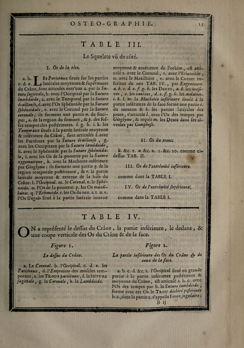 rnsmuatmatm O S T E O-G R A P H I E, 11 TABLE III. Le Squelete vu de côté. ï. Os de la tète. a. b* T Es Pariétaux fitués fur les parties c. d. e. I i latérales moyennes & fupérieures du Crâne, l’ont articulés entr’eux a. par la Su¬ ture fagittaley b. avec l’Occipital par la Suture lambdoïde, c. avec le Temporal par la Suture écailleufe, d. avec l’Os Sphénoïde par la Suture fphénoïdale , e. avec le Coronal par la Suture coronale ; ils forment une partie n. du finci- put, o. de la région du fommet, & p. des fof- fes temporales poftérieures. f. g. h. i. k. les Temporaux fitués à la partie latérale moyenne & inférieure du Crâne , font articulés f. avec les Pariétaux par la Suture écailleufe , g. avec les Occipitaux par la Suture lambdoïde , h. avec le Sphénoïde par la Suture fphénoida- le, i. avec les Os de la pomette par la Suture zygomatique , k. avec la Mâchoire inferieure par Ginglyme ; ils forment une partie q. de la région temporale poftérieure , & r. la partie latérale moyenne & externe de la bafe du Crâne. 1. l‘Occipital, m. le Coronal. n. le Sphe- noïde. o. l’Os de la pomette. p. les Os maxil¬ laires. q. l’Ethmoïde. r. les Os du nez. s. t. u. v. l’Os Unguis fitué à la partie latérale interne moyenne & antérieure de l’orbite , cft arti¬ culé s. avec le Coronal, r. avec l’Ethmoïde , u. avec le Maxillaire , v. avec le Cornet in¬ ferieur du nez TAB. IV. , par Engrainure. a. b. c. d. e. f. g. h. les Dents , a. b. les incifi- ves , c. les canines, d. e. f. g. h. les molaires, i. k. I. m. la Mâchoire inferieure htuée à la partie inférieure de la face forme une partie i. du menton 8c k. les parties latérales des joues , s’articule l. avec l’Os des tempes par Ginglyme, & reçoit m. les Dents dans fes al¬ véolés par Gomphofe. II. Os du troncl k. &c. z. a. &c. z. i. 8cc. io. comme ci- deflus TAB. II. i III. Os de P extrémité' inférieure. comme dans la TABLE I. I V. Os de l’extrémité fupérieuréi comme dans la TABLE I. O TABLE IV. N a repréfenté le delfus du Crâne , la partie inférieure, le dedans , Ôc une coupe verticale des Os du Crâne ôc de la face. Figure i. Le de fus du Crâne. Figure i. La partie inférieure des Os du Crâne & de ceux de la face. a. Le Coronal. b. l’Occipital, c. d. e. les Pariétaux , d. l’Empreinte des mufcles tcm- a. b. c. d. &c. t. l’Occipital fitué en grande poraux, e. les Trous pariétaux, f. laSUTURE partie à la partie inférieure poftérieure & fagittale , g. la Coronale , h. la. Lambdoïde, moyenne du Crâne , eft articulé a. b. c. avec l’Os des tempes par b. la Suture lamvdojd,e , forme avec cet Os le Trou déchire poferieur b. c.,dont la partie c. s’appelle fosss jugulaire ;