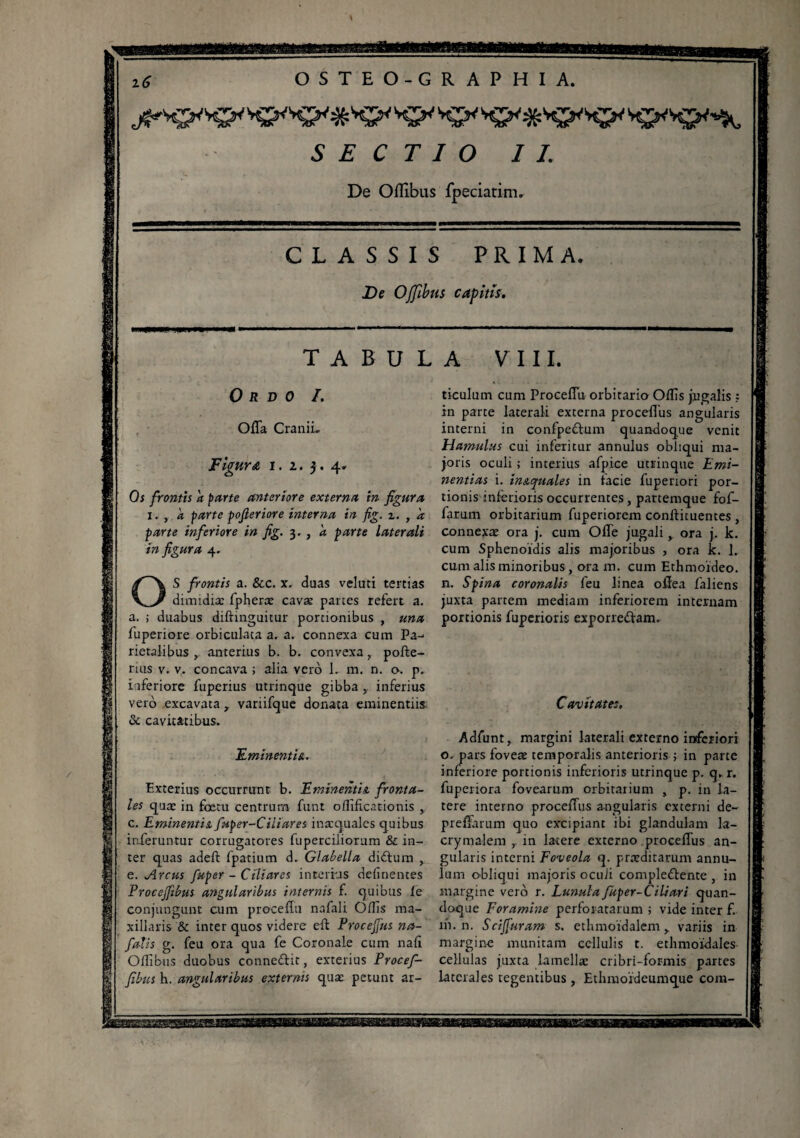SECTIO IL De Ortibus fpeciatim, CLASSIS PRIMA. De OJfibus capitis. T A B U L 0 R D 0 /. Offa Cranii. Figura i. 2. 5. 4. Os frontis a parte anteriore externa in figura i. , a parte pofieriore interna in fig. z. r à parte inferiore in fig. 3. , a parte laterali in figura 4. OS frontis a. Scc. x. duas veluti tertias dimidiæ fpheræ cavæ partes refert a. a. ; duabus diftinguitur portionibus , una fuperiore orbiculata a. a. connexa cum Pa¬ rietalibus , anterius b. b. convexa, porte¬ rais v. v. concava ; alia verô 1. m. n. o. p. biferiore fuperius utrinque gibba, inferius vero excavatavariifque donata eminentiis & cavitatibus. Eminentia. Exterius occurrunt b. Eminentia fronta¬ les quæ in foetu centrum funt oflificationis , c. Eminentia fuper-CHiares inaequales quibus inferuntur corrugatores fuperciliorum & in¬ ter quas adeft fpatium d. Glabella ditrtum , e. Arcus fuper - Ciliares interius delinentes Procejftbus angularibus internis f. quibus fe conjungunt cum proceflu nafali Ollis ma¬ xillaris & inter quos videre ert Procejfus na- falis g. feu ora qua fe Coronale cum nali Ortibus duobus connedtir, exterius Procef- fibus h. angularibus externis quæ petunt ar- A VIII. ticulum cum Procertu orbitario Ortis jugalis ; in parte laterali externa procertus angularis interni in confpetrtum quandoque venit Hamulus cui inferitur annulus obliqui ma¬ joris oculi ; interius afpice utrinque Emi¬ nentias i. in&opuales in facie fupenori por¬ tionis inferioris occurrentes, partemque fof- farum orbitarium fuperiorem conilituentes , connexæ ora j. cum Orte jugali, ora j. k. cum Sphenotdis alis majoribus , ora k. L cum alis minoribus, ora m. cum Ethmoideo. n. Spina coronalis feu linea ortea faliens juxta partem mediam inferiorem internam portionis fuperioris exporrettam. Cavitate:. Adfunt, margini laterali externo inferiori o„ pars foveae temporalis anterioris ; in parte inferiore portionis inferioris utrinque p. q. r. fuperiora fovearum orbitarium , p. in la¬ tere interno procertus angularis externi de- preffarum quo excipiant ibi glandulam la- crymalem r in latere externo procertus an¬ gularis interni Foveola q. praeditarum annu¬ lant obliqui majoris oculi complettente , in margine vero r. Lunula fuper-Ciliari quan¬ doque Foramine perforatarum ; vide inter f. m. n. Scijfuram s. ethmoidalem,, variis in margine munitam cellulis t. ethmoidales cellulas juxta Lamellae cribri-for-mis partes laterales tegentibus , Ethmoideumque com- sBtameaasaBmvæœaBsaem>