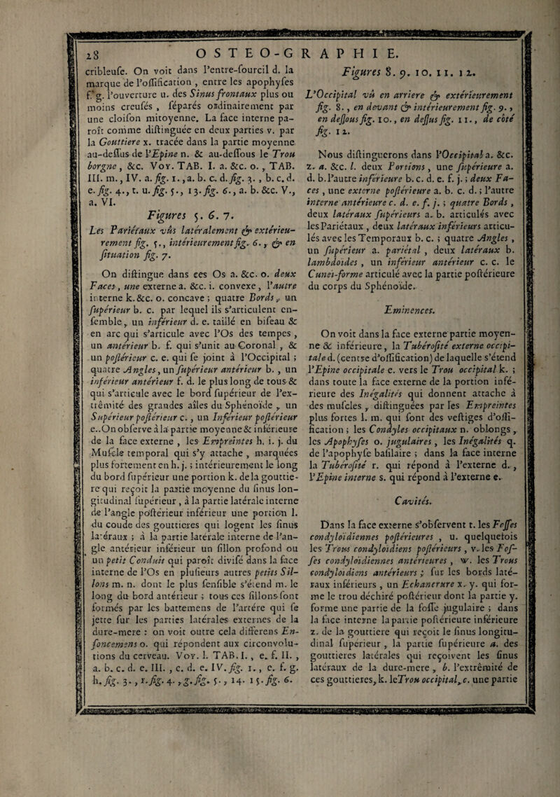 cribleufe. On voie dans l’entre-fourcil d. la marque de fortification , entre les apophyfes f.g. l’ouverture u. des Sinus frontaux plus ou moins crcufés , féparés ordinairement par une cloifon mitoyenne. La face interne pa- roît comme diftiraguée en deux parties v. par la Gouttière x. tracée dans la partie moyenne au-defîus de l'Epine n. & au-deffous le Trou borgne , &c. Voy. TAB. I. a. &c. o. , TAB. III. m., IV. a. fig. i. ,a. b. c. d.fig. 3. , b. c. d. e.fig.^.,1. u. fig. j., 13.fig. 6., a. b. &c. V., a. VI. Figures 5. G. 7. Les Pariétaux vus latéralement & extérieu¬ rement fig. intérieurement fig. 6., & en fituation fig. 7. On diftingue dans ees Os a. &c. o. deux Faces, une externe a. &c. i. convexe, l’autre interne k.&c. o. concave ; quatre Bords f un fupérieur b. c. par lequel ils s’articulent cn- femble, un inférieur d. e. taillé en bifeau & en arc qui s’articule avec l’Os des tempes , un antérieur b. £ qui s’unit au Goronal , & un pofiérieur c. e. qui fe joint à l’Occipital ; quatre Angles, un fupérieur antérieur b. , un inférieur antérieur £ d. le plus long de tous & qui s’articule avec le bord fupérieur de l’ex¬ trémité des grandes allés du Sphénoïde r un Supérieur pofiérieur c., un Inférieur pofiérieur e..Onobferve àla partie moyenne& intérieure de la face externe , les Empreintes h. i. j. du Mufe-le temporal qui s’y attache , marquées plus fortement en h. j. ; intérieurement le long du bord fupérieur une portion k. delà gouttiè¬ re qui reçoit la partie moyenne du finus lon¬ gitudinal fupérieur , à la partie latérale interne de l’angle pofiérieur inférieur une portion 1. du coude des gouttières qui logent les finus latéraux ; à la partie laterale interne de l’an¬ gle antérieur intérieur un fîllon profond ou un petit Conduit qui parole divifé dans la face interne de l’Os en plulieurs autres petits Sil¬ lons m. n. dont le plus fenfible s’étend m. le long du bord antérieur ; tous ces filions-font formés par les battemens de l’artére qui fe jette fur les parties latérales externes de la dure-mere : on voit outre cela differens En- foncemens o. qui répondent aux circonvolu¬ tions du cerveau. Voy. 1. TAB.I., e. f. II. , a. b. c. d. e. III. , c. d. e. IV. fig. 1., c. f. g. hfig- 3-4- G, M- IS-h- Figures 8.9. 10. 11. 11. L’Occipital vit en arriéré f? extérieurement fig. 8., en devant & intérieurement fig. 9., en defious fig. 10., en defius fig. 11., de coté h- il- Nous diflingucrons dans l’Occipital a. &c. z. a. 8cc. I. deux Portions, une fitpérieure a. d. b. l’autre inférieure b. c. d. e. f. j. ; deux Fa¬ ces , une externe pofiérieure a. b. c. d. ; l’autre interne antérieure c. d. e. f. j. ; quatre Bords , deux latéraux fupérieurs a. b. articulés avec les Pariétaux , deux latéraux inférieurs articu¬ lés avec les Temporaux b. c. ; quatre Angles , un fupérieur a. pariétal , deux latéraux b. lambdoides , un inférieur antérieur c. c. le Cunei-forme articulé avec la partie pofiérieure du corps du Sphénoïde. Eminences. On voit dans la face externe partie moyen¬ ne «3c inférieure, la Tubérofité externe occipi¬ tale d. (centre d’ollification) de laquelle s’étend l’Epine occipitale e. vers le Trou occipital k. ; dans toute la face externe de la portion infé¬ rieure des Inégalités qui donnent attache à des mufeles y diftinguées par les Empreintes plus fortes 1. m. qui font des vertiges d’ofîi- fication ; les Condyles occipitaux n. oblongs , les Apophyfes o. jugulaires, les Inégalités q. de l’apophyfe balilaire ; dans la face interne la Tubérofité r. qui répond à l’externe d. , l’Epine interne s. qui répond à l’externe e. Cavités. Dans la face externe s’obfervent t. les Fcjfes condyloidiennes pofiérieures , u. quelquefois les Trous condyloidiens pofiérieur s , v. les Tofi- fies condyloidiennes antérieures , w. les Trous condyloidiens antérieurs ; fur les bords laté¬ raux inférieurs , un F-chancrure x. y. qui for¬ me le trou déchiré pofiérieur dont la partie y. forme une partie de la folle jugulaire ; dans la face interne la parde pofiérieure inférieure z. de la gouttière qui reçoit le finus longitu¬ dinal fuperieur , la partie fupérieure a. des gouttières latérales qui reçoivent les finus latéraux de la dure-mere y b. l’extrémité de ces gouttières, k. lo.Tr ou occipita fe. une partie