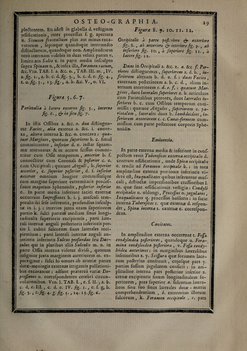 19 plettentem. En adeft in glabella d. veftigium oflificationis , inter proceilus f. g. apertura u. Sinuum frontalium plus aut minus exca¬ vatorum , fcptoque quandoque intermedio diftindtorum, quandoque non. Amplitudinem vero internam videbis in duas veluti parces v. limitaram Sulco x. in parte media infculpto fupra Spinam n., & infra illa, Foramen cuumt &c. Vid. TAB. I. a. &c. o., TAB. III. m. , IV. a.fig. i., a. b. c. d.fig. 3., b. c. d. e. fig. 4., t. u .fig. j., 15- fig-, a. b. &c. V., o. VI. Figura, 5. 6. 7. Parietalia a latere externo fig. f., interno fig. 6. , & in fetu fig. 7. In iftis O/fibus a. &c. o. duA diftingun- tur Facies, alia externa a. &c. i. conve¬ xa , altera interna k. &c. o. concava ; qua¬ tuor Margines, quorum fuperiores b. c. fini ul committuntur , inferior d. e. inffar fquam- mx attenuatus Sc in arcum fciffus commi¬ ttitur cum Olle temporum , anterior b. f. conne&dtur cum Coronali & pofierior c. e. cum Occipitali ; quatuor Anguli, b.fuperior anterior, c. fuperior pofierior , d. t. inferior anterior omnium longior commifiufque cum margine fuperiore extremitatis proeef- fiuum majorum Sphenoidis , pofierior inferior c.. In parte media inferiore iaciei externx occurrunt Impreffiones h. i. j. mufculi tem¬ poralis ibi fefe inferentis, profundius infculp- tx in i. j. ; interius juxta oram fuperiorem portio k. fulci partem mediam finus longi¬ tudinalis fuperioris excipientis , parti late¬ rali internx anguli pofterioris inferioris por¬ tio 1. cubiti fulcorum finus laterales reci¬ pientium ; parti laterali internx anguli an¬ terioris inferioris Sulcus profundus leu Duc¬ tulus qui in pluribus aliis Sulculis m. n. in parte Ollis interna videtur dividi, quorum mfignior juxta marginem anteriorem m. ex¬ porrigitur ; fulci hi omnes ab arterix partes durx-meningis externas irrigantis pulfationi- bus excavantur ; adfunt præcereà varix De- preffiones o. correfpondentes cerebri circcn- volutionibus. Vid. 1. TAB. I. , e. £ II. , a. b. c. d. e. III. , c. d. c. IV. fig. 1., e. f. g. h. fig- 3-, fig-4-g-fig- I-, M- '5-fig- Figura 8. 9. 10. 11. 12. Occipitalis 'a parte pofierior e fiy exteriore fig. 8. , ab anteriore & interiore fig. 9. , ab inferiore fig. 10. , 'a fuperiore fig. n., d latere fig. 1 2. _ Duas in Occipitali a. &c. z. a. 8cc fi Por¬ tiones diflinguemus , fuperiorem a. d. b. , in¬ feriorem alteram b. d. e. £ ; duas Facies , externam pofleriorem a. b. c. d. , aliam in¬ ternam anteriorem c. d. e. f ; quatuor Mar¬ gines , duos laterales fuperiores a. b. articulum cum Parietalibus petentes, duos laterales in¬ feriores b. c. cum Oflibus temporum com¬ mi/lis ; quatuor Angulos , fuperiorem a. pa¬ rietalem , laterales duos b. lambdoideos , in¬ feriorem anteriorem c. c. Cunei-formem com- millum cum parte polteriore corporis Sphé¬ noïde Eminentia. In parte externa media & inferiore in conf- peftum venit Tubercfitas externa occipitalis d. centrum oflificationis , unde Spina occipitalis e. tendit ad Foramen occipitale k. ; in tota amplitudine externa portionis inferioris vi¬ dere eft, In&qualitates quibus inferuntur muf¬ culi , diftindfx imprellionibus crallioribus 1. m. qux funt oflificationis veftigia ; Condyli occipitales n. oblongi, PrcceJJus o. jugulares, InAqualitates q. proceilus bafilaris ; in facie interna Tuberofitas r. qux externx d. refpon- det , Spina interna s. externx e. correfpon- dens. Cavitates. In amplitudine externa occurrunt t. FojfA condyloideA pofieriores, quandoque u. Fora¬ mina condyloidea pofiericra , v. FojfA condy¬ loideA anteriores ; in marginibus lateralibus inferioribus x. y. Scijjura qux foramen lace¬ rum poftertus conlticuit , cujufque pars y. partim fofTam jugularem conficit i ia am¬ plitudine interna pars polberior inferior z. crenx excipientis linum longitudinalem fu¬ periorem , pars fuperior a. fulcorum latera¬ lium finu fuo finus laterales dura? - matris comprehendentium , b. extremitas illorum fulcorum, k. Foramen occipitale , c. pars