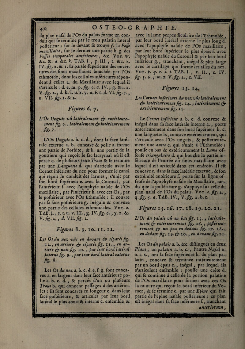4° du plan nafal de l’Os du palais forme un con¬ duit qui fe termine par le trou palatin latéral ' poftérieur ; fur le devant fe trouve/, la FoJJe maxillaire, fur le dernier une partie h. g. des Fojfes temporales antérieures , &c. Voy. v. &c. 8c. a. 8cc. k. TAB. I., p. III., t. &c. z. IV. fig. z. & i. ia partie fupérieure des ouver¬ tures des finus maxillaires bouchée par l’Os ethmoïde, dont les cellules inférieures répon¬ dent à celles z. du Maxillaire avec lequel il s’articule ; d. e. m. p. fig. y. C. IV., g. &c. x, V. fig. 1., d. k. 1. u. x. y. a. b.c. d. YL.fig. j., u. VII- fig. J- & z. Figures 6. 7. L’Os Unguis vît latéralement fa extérieure¬ ment fig. 6., latéralement & intérieurement fig’ 7- L’Os Unguis a. b. c. d., dont la face laté¬ rale externe a. b. concave & polie a. forme une partie de l’orbite, & b. une partie de la gouttière qui reçoit le fac lacrymal où il eft percé c. de p\\x£\e\ns petitsTrous & fe termine par une Languette d. qui s’articule avec le Cornet inférieur du nez pour former le canal qui reçoit le conduit des larmes , s’unit par Ion bord fupérieur e. avec le Coronal, par l’antérieur f. avec l’apophyfe nafale de l’Os maxillaire , par l’inférieur h. avec cet Os , par le poftérieur avec l’Os Ethmoïde ; il couvre par fa face poltérieure g. inégale & convexe une partie des cellules ethmoidales. Voy. 0. TAB. J., s, t. u. v. III., g. IY.fig. 6., y. z. 8c. Y.fig.z., d.Yll.fig. z. Figures 8.9. 10, 11. 12. Les Os du nez vus en devant fa séparés fig. n., en arriéré fa séparés fig. 11. , en ar¬ riéré fa unis fig. 10., par leur bord latéral interne fig. 9., par leur bord latéral externe fig. 8. Les Os du nez a. b. c. d. e. f. g. font conca¬ ves a. en largeur dans leur face antérieure po¬ lie a. b. c. d. , & percés d’un ou plusieurs Trous b. qui donnent paffages à des artério¬ les ; ils font concaves en longeur e. dans leur face poftérieure , 8c articulés par leur bord latéral le plus eourt 8ç interne c. enfemble 8c avec la lame perpendiculaire de l’Ethmoïde , par leur bord latéral externe le plus long d. avec l’apophyfe nafale de l’Os maxillaire , par leur bord fupérieur le plus épais f. avec l’apophyfe nafale du Coronal 8c par leur bord inférieur g., tranchant. inégal & plus large avec le cartilage qui forme les ailes du nez. Voy. p. q. r. s. t. TAB. I. , r. II. , c. IV. fig. y. 6., w.x. Y.fig. z., c. VIL Figures 13. 14, Les Cornets inférieurs du nez vus latéralement fa intérieurement fig. 14., latéralement fa extérieurement fig. iy. Le Cornet inférieur a. b. c. d. convexe & inégal dans fa face latérale interne a., porte antérieurement dans fon bord fupérieur b. c. une languette b., concave extérieurement, qui s’articule avec l’Os unguis , & poftérieure- ment une autre c. qui s’unit à l’Ethmoïde ; pouffe en bas & extérieurement la Lame of- feule triangulaire d. qui bouche la partie in¬ férieure de l’entrée du linus maxillaire avec lequel il eft articulé dans cet endroit. Il eft concave e. dans fa face latérale externe, & fon extrémité antérieure f. porte fur la ligne of- feufe del’apophyfe nafale du Maxillaire, tan¬ dis que la poftérieure g. s’appuye fur celle du plan nafal de l’Os du palais. Voy. c. fig. 1.} q .fig. y. 6. TAB. IV., Y-fig. z* b. c. Figures 1 5.16. 17. 18. 19. 20. 21. L’Os du palais vu en bas fig. 1 y. , latérale¬ ment fa extérieurement fig. 16. , pofiérieu- rement fa un peu en dedans fig. 17. 18., en dedans fig. 19. fa zo., en devant fig. zi. Les Os du palais a. b. &c. diftingués en deux Flans , un palatin a. b. c. , l’autre Nafal n. o. r. s., ont la face fupérieure b. du plan pa¬ latin , concave & terminée intérieurement par un bord épais c., inégal, par lequel ils s’articulent enfemble ; pouffe une crête d. qui fe continue à celle de la portion palatine de l’Os maxillaire pour former avec ces Os la rainure qui reçoit le bord inférieur du Vo¬ mer , 8c fe termine e. par une Epine qui fait partie de l’épine nafale poftérieure ; ce plan eft inégal dans fa face inférieure f., tranchant anteriorum,