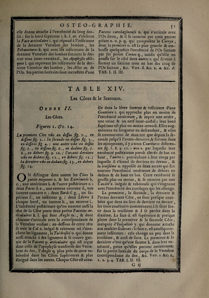 'sMmam&Mss, sonae HBSl^JJfS^Tgapr OSTEO-GRAP H IE. elle donne attache à l’extrémité du long dor- fal ; furie bord fupérieur i. k. 1. m. s’obferve la Face articulaire i. qui répond à l’inférieure de la derniere Vertebre des lombes , les Echancrures k. qui avec lés inférieures de la derniere Vertebre des lombes forment le der¬ nier trou inter-vertebral, les Apophyfes obli¬ ques 1. qui reçoivent les inférieures de la der¬ niere Vertebre des lombes , les Ailes m. de l’Os. Ses parties latérales font incruftées d’une 5 1 Facette cartilagineufe n. qui s’articule avec l’Os ileon, & il fe termine par trois petites pièces n. o. p. q. qui compofent le Coccyx , dont la première o. eft la plus grande & em- braffe quelquefois l’extrémité de l’Os facrum par fes petites Cornes q., tandis qu’elle en pouffe fur le côté deux autres s. qui fervent à former un fixiéme trou au bas des cinq de l’Os facrum , &c. Vor. d. &c. z. a. 8cc. A. TAB. I. II. III. TABLE XIV. Les Côtes ôc le Sternum. Ordre II. Les Côtes. Figures i. &c. 14. La première Côte vûe en dejjus fig. 1. , en dejfous fig. z. ; la fécondé en dejjus fig. 3., en dejfous fig 4. ; une autre vûe en dejjus fig. f. , en dejfous fig. 6., en dedans fig. 7. 8., en dehors fig. 9. 10.,' l’avant-derniere vue en dedans fig. n., en dehors fig. 11. la derniere vue en dedans fig. 13., en dehors h- *4- N diflingue dans toutes les Côtes la partie moyenne a. & les Extrémités b. c., une antérieure b. & l’autre poftérieure c. ; deux Faces d. e., une externe convexe d., une interne concave e. ; deux Bords f. g. , un fu¬ périeur f., un inférieur g. ; deux Lèvres à chaque bord , un interne h., un externe i.. L’extrémité poftérieure qu’on nomme aufiïla tête de la Côte porte deux petites Facettes ar¬ ticulaires k. 1. qui font Angle m. , & dont chacune s’articule avec la correfpondante de la Vertebre voifine ; au-deffous de cette tête fe voit le Col n. inégal & raboteux où s’atta¬ chent les ligamens, la Tubérofité o. qui donne auiïi attache à des ligamens & fe trouve gar¬ nie de la Facette p. articulaire qui eft reçue dans celle de l’apophyfe tranfverfe des Vertè¬ bres du dos, VAngle q. plus près de cette tu¬ bérofité dans les Côtes fupérieures & plus éloigné dans les autres. Chaque Côte eft creu- fée dans la lèvre interne & inférieure d’une Gouttière r. qui approche plus ou moins de l’extrémité antérieure , & reçoit une artère , une veine & un nerf inter-coftal ; leur bord fupérieur eft plus ou moins arrondi. Elles aug¬ mentent en longueur en defeendant, & elles fe contournent de maniéré que depuis la fé¬ cond e jufqu’à l’avant-derniere,& furtout dans les mitoyennes, il y a trois Courbures differen¬ tes fig. 7. 8. 9. 10. ; une s. par laquelle leur extrémité poftérieure paroît élevée de bas en haut , l’autre t. particulière à leur corp£ par laquelle il s’étend de derrière en devant , & la troifiéme u. oppofée au deux autres qui fait tourner l’extrémité antérieure de dehors en dedans & de haut en bas. Cette extrémité fe groffit plus ou moins , & fe termine par une Cavitéx. inégale & raboteufe qui s’engraine avec l’extrémité des cartilages qui les allonge. La première , la fécondé, la derniere & l’avant derniere Côte , ne font prefque cour¬ bées que dans un fens de derrière en devant , les trois courbures commencent à fe faire fen- tir dans la troifiéme & à fe perdre dans la dixiéme. La face d. eft fupérieure & prefque platte dans la première & la féconde Côce, marquée d'Inégalités y. qui donnent attache aux mufcles fcalenes ; la face e. eft conféquem- ment inférieure ; cela change un peu dans la troifiéme, & ainfi de fuite. La première 8c la derniere n’ont qu’une facette k. dans leur ex¬ trémité, parce qu’elles portent entièrement fur la partie latérale du corps de la Vertebre correlpondante du dos, &c. Voy.r. &c. z. 1. 1. 3. 4. TAB. I. II. G mSmm