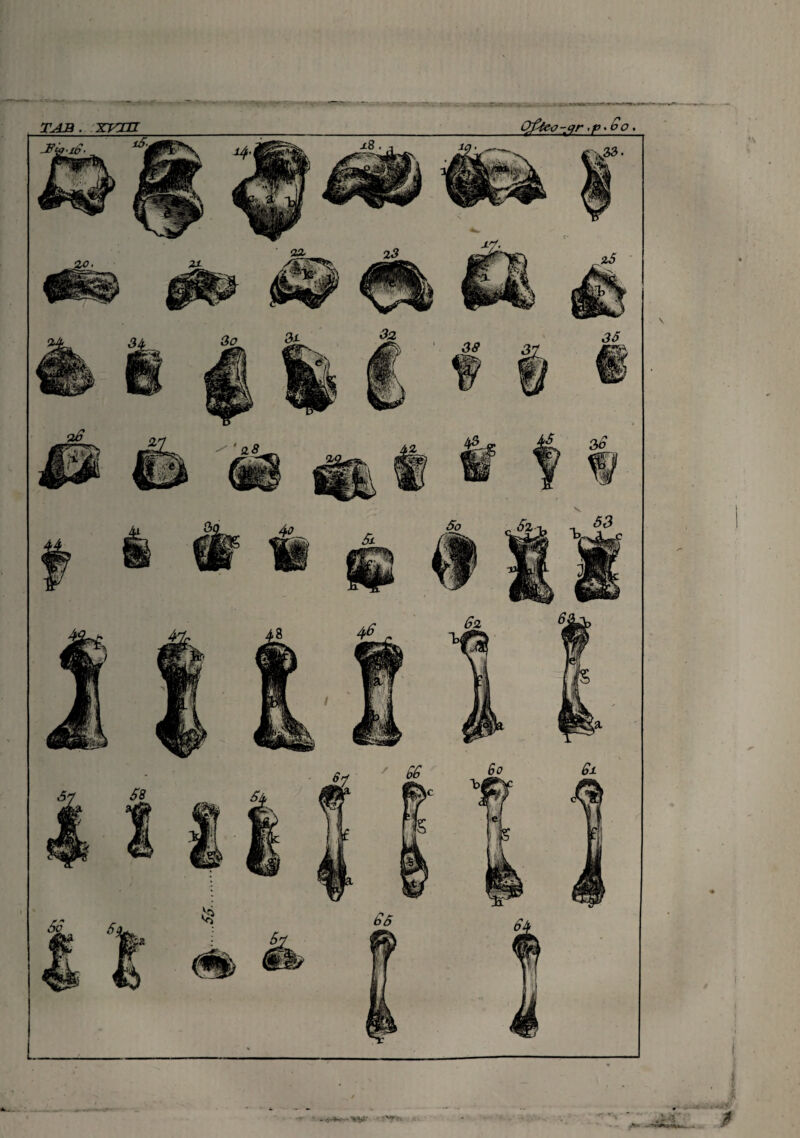 T AB . XTOII , O 'P>So. 4k.. . «i ^ 1 -