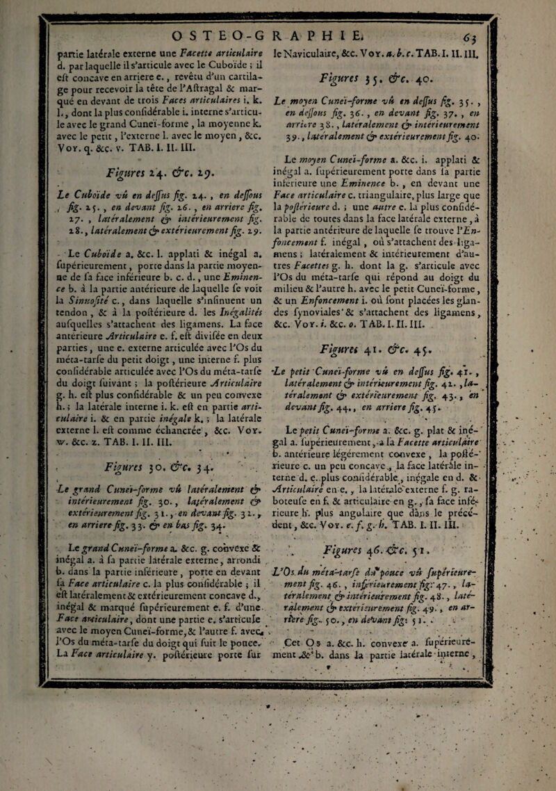partie latérale externe une Facette articulaire d. par laquelle il s’articule avec le Cuboïde ; il eft concave en arriéré e., revêtu d’un cartila¬ ge pour recevoir la tête de l’Aftragal & mar¬ qué en devant de trois Faces articulaires i. k. J., dont la plus confidérable i. interne s’articu¬ le avec le grand Cuneï-forme , la moyenne k. avec le peut, l’externe 1. avec le moyen, &c. Vor. q. &c. v. TAB. I. IL. III. Figures 24. &c. 19. Le Cuboïde vû en dejfus fig. 14. , en deffous .. a J. , en devant fig. 16. , en arrière fig. 17. , latéralement (g intérieurement fig. 18., latéralement & extérieurement fig. 19. Le Cuboïde a. &c. 1. applati & inégal a. fupérieurement, porte dans la partie moyen¬ ne de fa face inférieure b. c. d., une Eminen¬ ce b. à la partie antérieure de laquelle fe voit la Sinuofité c., dans laquelle s’infinuent un tendon , & à la poftérieure d. les Inégalités aufquciles s’attachent des ligamens. La face antérieure Articulaire e. f. eft divifée en deux parties , une e. externe articulée avec l’Os du méta-tarfe du petit doigt, une interne r. plus conlîdérable articulée avec l’Os du méta-tarfe du doigt fuivant ; la poftérieure Articulaire g. h. eft plus conlîdérable & un peu convexe h. ; la latérale interne i. k. eft en partie arti¬ culaire i. & en partie inégale k. ; la latérale externe 1. eft comme écliancrée , &c. Vôy. w. &c. z. TAB. I. Ii. III. ; • , Figures 30 . 34. « ' • ■Le grand Cuneï-forme vu latéralement & intérieurement fg. 30., latéralement fig extérieurement fg. 31., - en devant fig. 31., en arriéré fig. 3 3 . fig en bas fig. 34. r « le Naviculairc, &c. Y or. a. b. c. TAB. I. II. M. Figures 35. &c. 40. Le moyen Cuneï-forme vu en dejfus fig. 35. , en dejjous fig. 36. , en devant fig. 37. , en arriéré 38., latéralement (g intérieurement 39., latéralement (fi* extérieurement fig. 40. Le moyen C unei-forme a. &c. i. applati & inégal a. fupérieurement porte dans la partie inferieure une Eminence b. , en devant une Face articulaire c. triangulaire, plus large que la poftérieure d. i une autre e. la plus conlidé- rable de toutes dans la face latérale externe , à la partie antérieure de laquelle fe trouve VEn¬ foncement f. inégal , où s’attachent des liga- mens ; latéralement & intérieurement d’au¬ tres Facettes g. h. dont la g. s’articule avec l’Os du méta-tarfe qui répond au doigt du milieu & l’autre h. avec le petit Cuneï-forme, & un Enfoncement i. où font placées les glan¬ des fynoviales‘& s’attachent des ligamens , &c. Yo r. i. &c. 0. TAB. I. II. III. . Figures 41. &c. 45.. Fe petit Cuneï-forme vit en deffus fig. 41-, latéralement (fit* intérieurement fig. 41. ,la- tétalement (fi* extérieurement fig, 43., en devant fig. 44., en arriéré fig. 4 p. • . * * t Le petit Cuneï-forme a. Sec. g. plat & iné¬ gal a. fupérieurement,-a la Facette articulaire b. antérieure légèrement convexe , la po.fté-’ rieure c. un peu concave., la face latérale in¬ terne d. e..jpluscoiiùdcrable., inégale end. &■ Articulaire en e. y la latérale-'externe f. g. ra- boteufe en f, & articulaire en g., fa face infé^ rieure h', plus angulaire que dans le précé¬ dent, &c. Wor. e. f, g. h. TAB. I. II. III. Le grand Cuneï-forme a. &c. g. convexe 8c inégal a. à fa partie latérale externe, arrondi , b. dans la partie inférieure , porte en devant la Face articulaire c. la plus confidérable ; il eft latéralement & extérieurement concave d», inégal & marqué fupérieurement e. f. d’une Face articulaire, dont une partie e. s’articule avec le moyen Cuneï-forme,& l’autre f. avec* i’Os du méta-tarfe du doigt qui fuit le ponce.- La Face articulaire y. poftérieure porte fur Figures 46. éficc. 51. L’Os du méta’-tarfs du“pouce vu fupérieure¬ ment fig. 46. , inférieur ementfig:.' 47., la¬ téralement fig intérieurement fig. 48., laté¬ ralement (fi* extérieurement fig. 49.', en ar¬ riéré fig.. jo.y en devant figt jri. > • Cet O s a. &c. h. convexe a. fupérieurè- menc JSe' b. dans la partie latérale interne ,