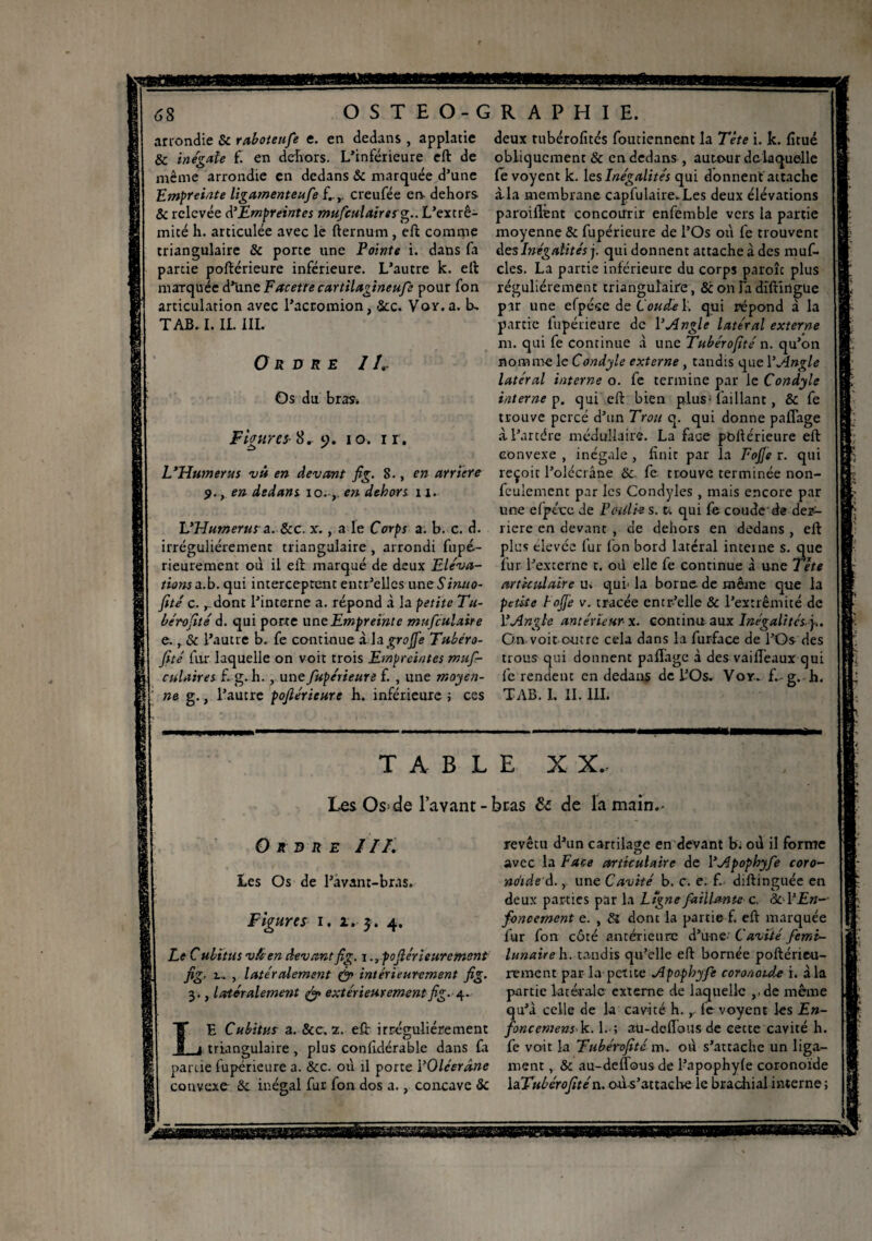 arrondie & raboietife e. en dedans , applatie & inégalé f. en dehors. L’inférieure eft de même arrondie en dedans & marquée d’une Empreinte ligamenteufe f..,. creufée en dehors & relevée d’Empreintes mufculaires g.. L’extrê- micé h. articulée avec le fternum , eft comme triangulaire & porte une Pointe i. dans fa partie poftérieure inférieure. L’autre k. eft marquée d’une Facette cartilagineufs pour fon articulation avec l’acromion, Scc. Voy.a. b, TAB.I. IL 1IL Ordre 1 /. Os du bras» F mtr es- 8.9. 10. 1 r. L'Humérus vît en devant fig. 8., en arriéré 9., en dedans io.-,, en dehors 11. UHumerusa. Scc. x., a le Corps a. b. c. d. irrégulièrement triangulaire , arrondi fupé- rieurement où il eft marqué de deux Eléva¬ tions a.b. qui interceptent entr’ellcs une Simio- fité c.dont l’interne a. répond à la petite Tu- bérofité d. qui porre une Empreinte mnfculaire e. , Sc l’autre b. fe continue x lagrojfe Tubéro- fité fur laquelle on voit trois Empreintes mus¬ culaires f. g. h. , une Supérieure f. , une moyen¬ ne g., l’autre pofiérieure h. inférieure ; ces deux tubérofités foutiennent la Tète i. k. fitué obliquement & en dedans , autour de laquelle le voyent k. les Inégalités qui donnent attache àla membrane capfuIaire.Les deux élévations paroiilënt concourir enfemble vers la partie moyenne Sc fupéricure de l’Os où fe trouvent d es Inégalités j. qui donnent attache à des muf- cles. La partie inférieure du corps parole plus régulièrement triangulaire , & on Fa dîftingue par une efpése de Coudée 1. qui répond à la partie fupérieure de Y Angle latéral externe m. qui fe continue à une Tubérofité n. qu’on nomme le Condyle externe , tandis que Y Angle latéral interne o. fe termine par le Condyle interne p. qui eft bien plus• l'aillant, & fe trouve percé d’un Trou q. qui donne paflage à l’artére médullaire. La face poftérieure eft convexe , inégale , finit par la FoJJe r. qui reçoit l’olécrâne Sc fe trouve terminée non- feulement par les Condyles , mais encore par une efpéce de Patlis s. t. qui fe coude‘ de der¬ rière en devant , de dehors en dedans, eft plus elevee fur fon bord latéral interne s. que fur l’externe t. où elle fe continue à une Tète articulaire u. qui' la borne de même que la petite loffe v. tracée entr-’elle Sc l’extrémité de Y Angle antérieur- x. continu aux Inégalités.)-.. On voit outre cela dans la furface de l’Os des trous qui donnent paffage à des vaifléaux qui fe rendent en dedans de l’Os. Voy. f. g. h. T AB. LII. 111. ? TABLE X X. Les Os* de l’avant-bras & de la main.- Ordre III. Les Os de l’avant-bras. Figures 1. 1. 5. 4. Le Cubitus v&ren devant fig. \.,pofiérieurement fig. 2... , latéralement & intérieurement fig. 3., latéralement & extérieurement fig. 4. L E Cubitus a. Scc. 2. eft: irrégulièrement O triangulaire, plus confidérable dans fa partie fupérieure a. &c. où il porte YOléerâne convexe 5c inégal fur fon dos a., concave 5c revêtu d’un cartilage en devant b. où il forme avec la Face articulaire de YApophyfie coro- noide d. y une Cavité b. c. e. f. diftinguée en deux parties par la Ligne Saillante c. ScYEn-- foncement e. , 5î dont la partie f. eft marquée fur fon côté antérieure d’une- Cavité Semi- lunaire h. tandis qu’elle eft bornée poftérie-u- rement par la petite Apophyf: coronaule i. àla partie latérale externe de laquelle ,.de même qu’à celle de k cavité h. r fe voyent les En¬ foncement k. 1. ; au-defious de cette cavité h. fe voit la Tubérofité m. où s’attache un liga¬ ment , & au-deflous de l’apophyfe coronoïde la Tubérofité n. où-s’attache le brachial interne ;