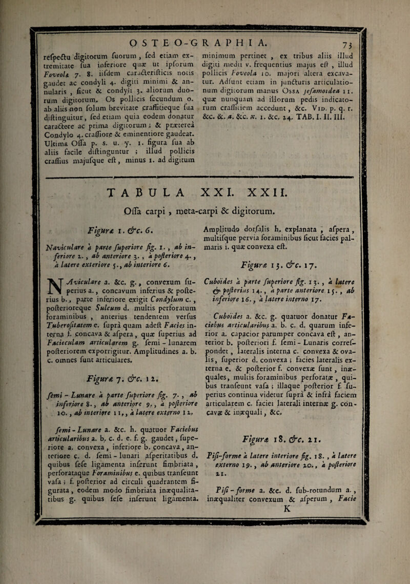 OSTE O-C refpettu digitorum fuoium , fed etiam ex¬ tremitate fua inferiore qua; ut ipforum Foveola 7. 8. iifdem caru&erifticis notis gaudet ac condyli 4. digiti minimi & an¬ nularis , ficut &. condyli 3. aliorum duo¬ rum digitorum. Os pollicis fecundum o. ab aliis .non folum brevitate craffitieque fua diftinguitur, fed etiam quia eodem donatur caratfere ac prima digitorum& praeterea Condylo 4. c ralli ore & eminentiore gaudeat. Ultima Offa p. s. u. y. 1. figura fua ab aliis facile diftinguntur ; illud pollicis craffius majufque eft, minus 1. ad digitum RAPHIA. 73 minimum pertinet , ex tribus aliis illud digiti medu v. frequentius majus eft , illud pollicis Foveola, 10. majori altera excava¬ tur. Adfunt etiam in junfturis articulatio¬ num digitorum manus Ossa jefamoidea 11. quæ nunquam ad illorum pedis indicato¬ rum crafliciem accedunt , &c. Vid. p. q. r. &c. &. a. &c. x, 1. &c. *4, TAB. I. II. III. TABULA XXL XXII. Offa carpi , meta-carpi 6c digitorum. Figura 1. &c. 6. Naviculare a pane fuperiore fig. 1. , ab in¬ feriore t. , ab anteriore 3. , d pofieriore 4., d latere exteriore ab interiore 6. Amplitudo dorfalis h. explanata , afpera , multifque pervia foraminibus ficut facies pal¬ maris i. quæ convexa eft. Figura 1 3. &c. 17. NAviculare a. &c. g., convexum fu- perius a., concavum inferius & pofte- rius b.., parte inferiore exigit Condylum c. , poftenoreque Sulcum d. multis perforatum foraminibus , anterius tendentem verfus Tuberofitatem e. fuprà quam adeft Facies in¬ terna f concava & afpera , qua; fuperius ad Facieculam articularem g. femi - lunarem pofteriorem exporrigitur. Amplitudines a. b. c. omnes funt articulares. Figura 7. &c. 12. femi - Lunare d parte fuperiore fig. 7. , ab inferjiore 8., ab anteriore 9,, a pofieriore 10., ab interiore 1 if, d latçre externo 11» femi - Lunare a. &c. b. quatuor F aciebus articularibus a. b. c. d. e. £ g. gaudet, fupe¬ riore a. convexa , inferiore b. concava , an¬ teriore c. d. femi - lunari afperitatibus d. quibus fefe ligamenta inferunt fimbriata , perforataque Foraminibus e. quibus tranfeunt vafa ; £ pofterior ad circuli quadrantem fi¬ gurata , eodem modo fimbriata inæqualita- tibus g. quibus fefe inferunt ligamenta. Cuboides d parte fuperiore fig. 13. , d latere & pofierius 1 4., d parte anteriore 15., ab inferiore 16., d latere interno 17. Cuboides a. &c. g. quatuor donatur Fa¬ ciebas articularibus a. b. c- d. quarum infe¬ rior a. capacior parumper concava eft , an¬ terior b. pofteriori £ lemi- Lunaris corref- pondet, lateralis interna c. convexa & ova¬ lis, fuperior d. convexa ; facies lateralis ex¬ terna e. & pofterior £ convexae funt, inae¬ quales, multis foraminibus perforata: , qui¬ bus tranfeunt vafa; iliaque pofterior £ fu¬ perius continua videtur fuprà & infrà faciem articularem c. faciei laterali interna: g. con¬ cavae & in,aequali, &c. Figuret 18. &c. 21. Tifi-forme d latere interiore fig. 18. , d latere externo 19., ab anteriore %o,, d pofieriore xi. Pifi - forme a. &c. d. fub-rotundum a., inaequaliter convexum & afjperum , Facie K