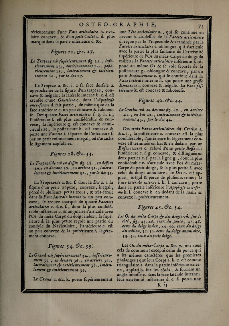 térieurement d’une Face articulaire b. ova¬ laire concave , & d’un petit Collet c. d. plus marqué dans fa partie inférieure d. &c. Figura 22. &c. 27. Le Trapeze vû fupe'rieurement fig. z z., infé¬ rieurement 13., antérieurement 14., pofié- rieurement zj. , latéralement & intérieu¬ rement 16., par le dos zg. Le Trapeze a. &c. i. a fa face dorfale a. approchante de la figure d’un trapeze , con¬ cave & inégale ; la latérale interne b. c. d. eft creufée d’une Gouttière c. dont 1 ’Apophyfe onci-forme d. fait partie , de même que de la face antérieure e. un peu concave & raboteu- fe. Des quatre Faces articulaires f. g. h. i., l’inférieure f. eft plus confidérable & con¬ vexe , la fupérieure g. eft concave & demi- circulaire , la poftérieure h. eft concave & porte une Facette i. féparée de l’inférieure f. par un petit enfoncement inégal, où s’attache le ligament capfulaire. Figura 28. &c. 3 3. Le Trapezdide vû en de fus fig. 18. , en deJJous zç. > en devant 30., en arriéré 31., latéra¬ lement & intérieurement 31., par le dos 3 3. La Trapezoïde a. &c. f. dont le Dos a. a la figure d’un petit trapeze , convexe, inégal, percé de plufieurs petits trous , & très-étroit dans fa Face latérale interne b. un peu con¬ cave , fe trouve marqué de quatre Facettes articulaires c. d. e. f., dont la plus confidé¬ rable inférieure c. & angulaire s’articule avec l’Os du méta-Carpe du doigt index , la fupé¬ rieure d. la plus petite reçoit une partie du condyle du Naviculaire , l’antérieure e. eft un peu convexe & la poftérieure f. légère¬ ment concave. Figura 34. &c. 39. Le Grand vû fupe'rieur ement 34., inférieure¬ ment 3f. , en devant 36. , en arriéré 37., latéralement & extérieurement 38., latéra¬ lement & intérieurement 39. Le Grand a. &c. k. porte fupérieurcment 75 une Tête articulaire a. , qui fe continue en devant b. au-delïus de la Facette articulaire d. reçue par le Trapezoïde & terminée parla Facette articulaire e. oblongue qui s’articule avec la partie la plus Taillante de l’extrémité fupérieure de l’Os du méta-Carpe du doigt du milieu ; la Facette articulaire inférieure f. ré¬ pond au même Os & fe voit féparée de la poftérieure g. oblongue & concave , par un petit Enfoncement c. qui fe continue dans la Face latérale interne h. qui porte une grojfe Eminence i. convexe & inégale. La Face pof¬ térieure k. eft concave & raboteufe. Figures 40. &c. 44. Le Crochu vû en devant fig. 40., en arriéré 41. , en bas 41., latéralement & intérieu¬ rement 43., par le dos 44. Des trois Faces articulaires du Crochu a, &c. 1., la poftérieure a. convexe eft la plus confidérable, l’antérieure b. légèrement con¬ vexe eft terminée en bas & en dedans par un Enfoncement c. relevé d’une petite Bojfe d. ; l’inférieure e. f. g. concave, & diftinguée en deux parties e. f. par la ligne g., dont la plus confidérable e. s’articule avec l’os du méta- Carpe du petit doigt, & la plus petite f. avec celui du doigt annulaire ; le Dos h. eft ap- plati, inégal & percé de plufieurs trous ; la Face latérale interne i. k. 1. concave , porte dans la partie inférieure Yjipophyfe onci-for¬ me k. 1. concave k. en dedans de la main & convexe 1. poftérieurement. Figures 45. &c. 54. Le* Os du méta-Carpe & des doigts vûs fur le côté, fig. 45. 46'. ceux du pouce , 47. 48. ceux du doigt index , 49. f o. ceux du doigt du milieu, 51. 51. ceux du doigt annulaire, J3- ceux du petit doigt. Les Os du métx-Carpe a. &c. y. ont tous cela de commun ( excepté celui du pouce qui a les mêmes caractères que les premières phalanges ) que leur Corps a. b. c. eft comme triangulaire a. dans la partie inférieure exter¬ ne , applati b. fur les côtés , & formant un angle moufle c. dans la face latérale interne ; leur extrémité inférieure d. e. f. porte une K ij