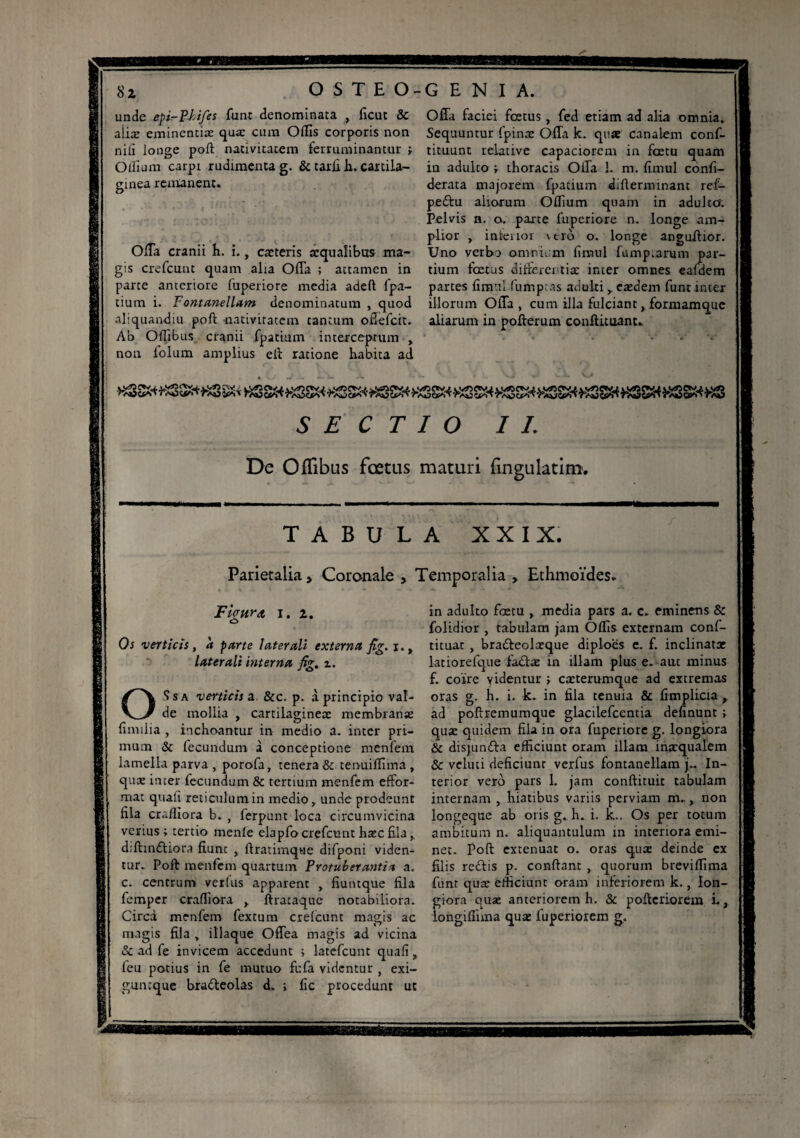 unde epi-Phifes funt denominata , lient & aiiæ eminentias quae cum Odis corporis non niti longe poft nativitatem ferruminantur ; Ollium carpi rudimenta g. & tarli h. cartila¬ ginea remanent. OlTa cranii h. i., cæteris aequalibus ma¬ gis crefcunt quam alia Offa ; attamen in parte anteriore fuperiore media adeft fpa- tium i. Fontanellam denominatum , quod aliquandiu poft nativitatem tantum offefeit. Ab Oilibus cranii fpatium interceptum , non folum amplius eft ratione habita ad Offa faciei fœtus, fed etiam ad alia omnia. Sequuntur fpinæ Offa k. quae canalem conf- tituunt relative capaciorem in fœtu quam iu adulco i thoracis Offa 1. m. limul confi- derata majorem fpatium difterminant ref- peftu aliorum Oflium quam in adulto. Pelvis n. o. parte fuperiore n. longe am¬ plior , interior \tro o. longe anguftior. Uno verbo omnium limul fump.arum par¬ tium fœtus differentiae inter omnes eafdem partes limul fumpeas adulti , eaedem funt inter illorum Offa, cum illa fulciant, formamque aliarum in pofterum conftituant. SECTIO I L De O Ilibus fœtus maturi fingulatim. TABULA XXIX. Parietalia > Coronale , Temporalia Ethmoïdes. Fianret i. 2. ô Os verticis, a parte laterali externa fig. i., laterali interna fig. z. OS sa verticis ^ &c. p. à principio val¬ de mollia , cartilaginea: membranae liimlia , inchoantur in medio a. inter pri¬ mum & fecundum à conceptione menfem lamella parva , porofa, tenera & termiftima , quae inter fecundum & tertium menfem effbr- mat quali reticulumin medio, unde prodeunt fila crafliora b. , ferpunt loca circumvicina verius ; tertio menle elapfo crefcunt haec fila , d;fttn£fiora fiunt , ftratimque difponi viden¬ tur. Poft menfem quartum Protuberantia a. c. centrum verius apparent , fiuntque fila femper crafliora , ftracaque notabiliora. Circa menfem fextum crefcunt magis ac magis fila , iliaque Offea magis ad vicina & ad fe invicem accedunt ; latefcunt quali, leu potius in fe mutuo fufa videntur , exi- guntque brafteolas d. ; fic procedunt ut in adulto fœtu , media pars a. c. eminens & folLdior , tabulam jam Olfis externam conf- tituat , bra&eclaeque diploes e. f. inclinata: latiorefque faâæ in illam plus e. aut minus f. coire videntur ; cæterumque ad excremas oras g. h. i. k. in fila tenuia & fimplicia r ad poftremumque glacilefccntia delinunt ; quæ quidem fila in ora fuperiore g. longiora & disjumfta efficiunt oram illam inaequalem & vcluti deficiunt verfus foncanellam j~ In¬ terior vero pars 1. jam conftituit tabulam internam , hiatibus variis perviam m., non longeque ab oris g. h. i. k.. Os per totum ambitum n. aliquantulum in interiora emi¬ net. Poft extenuat o. oras quæ deinde ex filis rebfis p. confiant , quorum breviflima funt quae efficiunt oram inferiorem k., lon¬ giora quæ anteriorem b. & pofteriorem i., longiffima quæ luperiorem g.