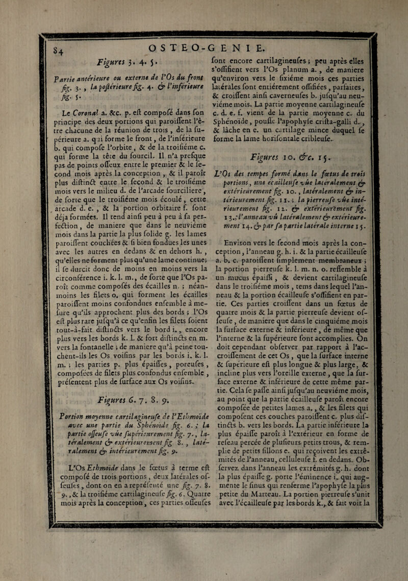 Figures 3. 4. 5. Partie anterieure ou externe de l’Os du front fig. 3. , la pofiérieure fig. 4. & l’inférieure M- S* Le Coronal a. &c. p. eft compofé dans fon principe des deux portions qui paroiffent l’ê¬ tre chacune de la réunion de trois , de la fu- péricure a. qui forme le front, de l’inférieure b. qui compofe l’orbite , & de la troifiéme c. qui forme la tête du fourcil. Il n’a prefque pas de points offeux entre le premier 5c le fé¬ cond mois après la conception , & il paroît plus diftinét entre le fécond 5c le troifiéme mois vers le milieu d. de l’arcade fourcilierc , de forte que le troifiéme mois écoulé , cette arcade d. e. , 5c la portion orbitaire f. font déjà formées. Il tend ainfi peu à peu à fa per¬ fection , de maniéré que dans le neuvième mois dans la partie la plus folide g. les lames paroiffent couchées 6c G bien fondues les unes avec les autres en dedans 5c en dehors h. , qu’elles ne forment plus qu’une lame continuet il fe durcit donc de moins en moins vers la circonférence i. k. 1. m., de forte que l’Os pa- roît comme compofés des écailles 11. ; néan¬ moins les filets o. qui forment les écailles paroiffent moins confondues enfemble à me- fure qu’ils approchent plus des bords ; l’Os elt plus rare jufqu’à ce qu’enfin les filets foient tout-à-fait diftinéts vers le bord i.,. encore plus vers les bords k. 1. 5c fort diftincts en m. vers la fontanelle t de maniéré qu’à peine tou¬ chent-ils les Os voifins par les bords i. k. 1. m. ; les parties p. plus épaiffes , poreufes , compofées de filets plus confondus enfemble , préfentent plus de furface aux Qs voifins.. Figures 6. y. 8. 9. Portion moyenne cartilagineufe de l’Etbmoïde avec une partie du Sphénoïde fig. 6. ,* la partie ojfeufe vue fiupérieur ement fig. 7., la¬ téralement & extérieurement fig 8. , laté¬ ralement & bit ér leur ement fig. 9. L’Os Ethmoïde dans le fœtus a terme eft compofé de trois portions, deux latérales of- feul'es ,. dont on en arepréfemé une fig. 7. 8. 9. ,5c la troifiéme carcilagineufe fig. 6. Quatre mois après la conception, ces parties offeufes font encore cartilagineufes ; peu après elles s’oflîfient vers l’Os planum a. , de maniéré qu’environ vers le fixiéme mois ces parties latérales font entièrement offifiées , parfaites, 5c croiffent ainfi caverneufes b. jufqu’au neu¬ vième mois. La partie moyenne cartilagineufe c. d. e. f. vient de la partie moyenne c. du Sphénoïde , poulie l’apophyfe crifta-galli d. , 5c lâche en e. un cartilage mince duquel fe forme la lame horifontale cribleu£e~ Figures 10. &c, 15. L’Os des tempes formé dans le fœtus de trois portions, une écailleufe vite latéralement & extérieurement fig. 10., latéralement & in¬ térieurement fig. 11. ; la pierreufe vue inté¬ rieurement fig. 11. & extérieurement fig. 1 3.; l’anneau vû latéralement & extérieure- ment 14,&par fapartie latérale interne 15. Environ vers le fécond mois après la con¬ ception, l’anneau g. h. i. 5c la partie écailleufe a. b. c. paroiffent Amplement membraneux ; la portion pierreufe k. 1. m. n. o. reffemble à un mucus épaiffi , 5c devient carcilagineufe dans le troifiéme mois , tems dans lequel l’an¬ neau 5c la portion écailleufe s’ofiifient en par¬ tie. Ces parties croiffent dans un fœtus de quatre mois 5c la partie pierreufe devient of- leufe , de maniéré que dans le cinquième mois la furface externe 5c inférieure , de même que l’interne 5c la fupérieurc font accomplies. On doit cependant obferver par rapport à l’ac- croiffemcnc de cet Os , que la furface interne 5c fupérieure eft plus longue 5c plus large. 5c incline plus vers l’oreille externe , que la fur- face externe 5c inférieure de cette même par¬ tie. Celafe paffe ainfi jufqu’au neuvième mois, au point que la partie écailleufe paroît encore compofée de petites lames a. , 5c les filets qui compofenc ces couches paroiffent c. plus dif¬ tinéts b. vers les bords. La partie inférieure la plus épaiffe paroît à l’extérieur en forme de refeau percée de plufieurs petits trous, 5c rem¬ plie de petits filions e. qui reçoivent les extré¬ mités de l’anneau, celluleufe f. en dedans. Ob- fervez dans l’anneau les extrémités g. h. dont la plus épaiffe g. porte l’éminence i. qui aug¬ mente le finus qui renferme l’apophyle la plus petite du Marteau. La portion pierreufe s’unit avec l’écailleufe pap les; bords k.,.5c fait voir la