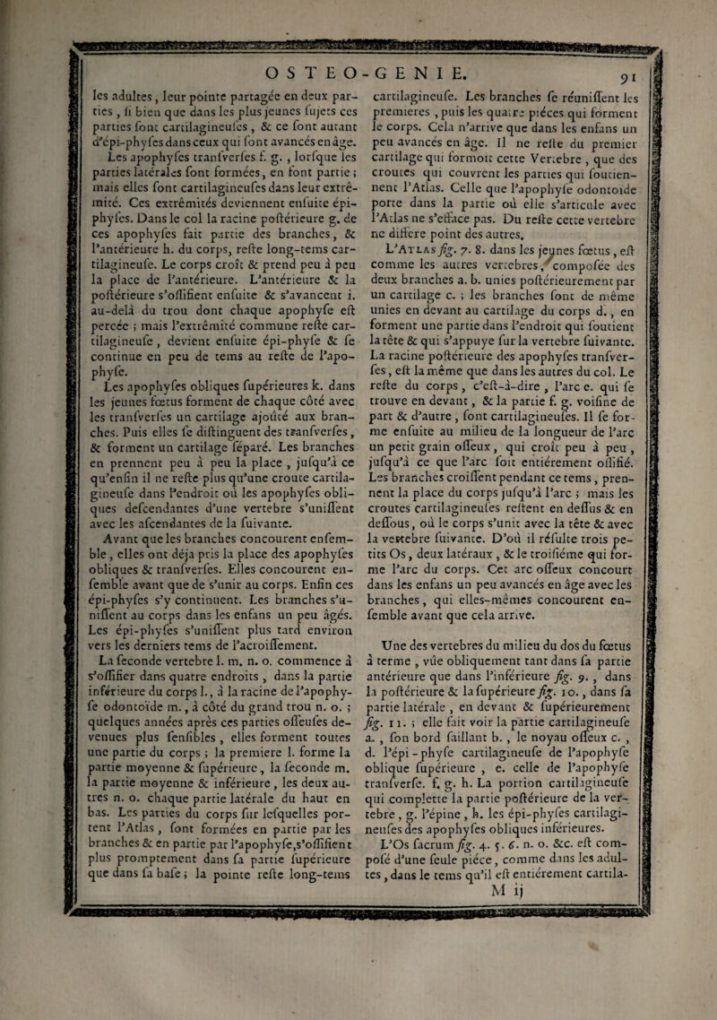 O les adultes , leur pointe partagée en deux par¬ ties , ii bien que dans les plus jeunes fujets ces parties font carcilagineufcs , & ce font autant d'épi-phyfes dans ceux qui font avancés en âge. Les apophyfes tranfverfes £ g. , lorfque les parties latérales font formées, en font partie; mais elles font cartilagincufes dans leur extré¬ mité. Ces extrémités deviennent enluite épi— phyfes. Dans le col la racine poftérieure g. de ces apophyfes fait partie des branches, & l’antérieure h. du corps, refte long-tems car- tilagineufe. Le corps croît & prend peu à peu la place de l’antérieure. L’antérieure & la poftérieure s’offifient enfuite & s’avancent i. au-delà du trou dont chaque apophyfe eft percée ; mais l’extrémité commune refte car- cilagineufe , devient enfuite épi-phyfe & fe continue en peu de tems au refte de l’apo- phyfe. Les apophyfes obliques fupérieures k. dans les jeunes fœtus forment de chaque côté avec les tranfverfes un cartilage ajouté aux bran¬ ches. Puis elles fe diftinguent des tranfverfes , & forment un cartilage feparé. Les branches en prennent peu à peu la place , juiqu’à ce qu’enfin il ne refte plus qu’une croûte cartila- gineufe dans Pendroit où les apophyfes obli¬ ques defeendantes d’une vertebre s’uniffent avec les afeendantes de la fuivante. Avant que les branches concourent enfem- ble , elles ont déjà pris la place des apophyfes obliques & tranfverfes. Elles concourent en- femble avant que de s’unir au corps. Enfin ces épi-phyfes s’y continuent. Les branches s'u¬ nifient au corps dans les enfans un peu âgés. Les épi-phyfes s’unifient plus tard environ vers les derniers tems de l’acroiffement. La fécondé vertebre 1. m. n. o. commence à s’oftïficr dans quatre endroits , dans la partie inférieure du corps 1., à la racine de l’apophy- fe odontoïde m., à côté du grand trou n. o. ; quelques années après ces parties ofl'cufes de¬ venues plus fenfibles , elles forment toutes une partie du corps ; la première 1. forme la partie moyenne & fupérieurc, la féconde m. la partie moyenne & inférieure , les deux au¬ tres n. o. chaque partie latérale du haut en bas. Les parties du corps fur lefquelles por¬ tent l’Atlas, font formées en partie par les branches & en partie par l’apophyfe.s’offifient plus promptement dans fa partie fupérieure que dans fa bafe ; la pointe refte long-tems -GENIE. 9I cartilagineufe. Les branches fc réunifient les premières ,puis les qua;re pièces qui forment le corps. Cela n’arrive que dans les enfans un peu avancés en âge. Il ne reite du premier cartilage qui formoit cette Venebre , que des croûtes qui couvrent les parties qui foutien- nenc l’Atlas. Celle que l’apophyle odontoïde porte dans la partie où elle s’articule avec l’Atlas ne s’eftace pas. Du refte cette vertebre ne différé point des autres. L’Atlas fig. y. 8. dans les jeunes fœtus , eft comme les autres vercebres, compofée des deux branches a. b. unies poftérieurement par un cartilage c. ; les branches font de même unies en devant au cartilage du corps d., en forment une partie dans l’endroit qui foutient la tête & qui s’appuye fur la vertebre fuivante. La racine poftérieure des apophyfes tranfver¬ fes , eft la même que dans les autres du col. Le refte du corps , c’eft-à-dire , l’arc c. qui fe trouve en devant, & la partie £ g. voifine de part & d’autre , font cartilagineulès. Il fe for¬ me enfuite au milieu de la longueur de l’arc un petit grain offeux, qui croît peu à peu , jufqu’à ce que l’arc foit entièrement ollîfié. Les branches croifient pendant ce tems , pren¬ nent la place du corps jufqu’à l’arc ; mais les croûtes cartilagineufes reltent en deffus & en deffous, où le corps s’unit avec la tête &avec la vertebre fuivance. D’où il réfulte trois pe¬ tits Os, deux latéraux , & le troifiéme qui for¬ me l’arc du corps. Cet arc offeux concourt dans les enfins un peu avancés en âge avec les branches, qui elles-mêmes concourent en- femble avant que cela arrive. Une des vertebres du milieu du dos du fœtus à terme , vue obliquement tant dans fa partie antérieure que dans l’inférieure fig. 9. , dans la poftérieure & la fupérieure fig. 10., dans fa partie latérale , en devant & fupérieurement fig. 11. ; elle fait voir la partie cartilagineufe a. , fon bord faillant b. , le noyau offeux c. , d. l’épi -phyfe cartilagineufe de l’apophyfe oblique fupérieure , e. celle de l’apophyfe tranlverfe. £ g. h. La portion cartilagineufe qui complctte la partie poftérieure de la ver¬ tebre , g. l’épine , h. les épi-phyfes cartilagi¬ neufes des apophyfes obliques inférieures. L’Os facrum^îg. 4. 5. 6- n. o. &c. eft com¬ pote d’une feule pièce, comme dans les adul¬ tes , dans le tems qu’il eft entièrement cartila- M ii