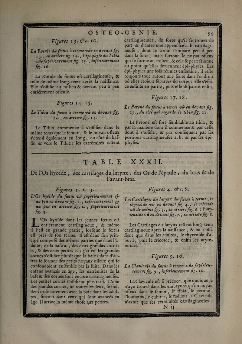 Figures 1 5. &c. 1 G. La Rotule du fœtus a terme vue en devant fig. 13., en arriéré fig. 14., Vépi-phyfe du Tibia vue fupéneur ementfig. 15., inférieurement fig- 1^- La Rotule du foetus eft cartilagineufe , & refte de même long-tenas après la naiffance. Elle s’oflîfie au milieu 8c devient peu à peu entièrement offeufe. Figures 14. 15. Le Tibia du fœtus a. terme vû en devant fig. 14., en arriéré fig. 1 Le Tibia commence à s’offifier dans le même teins que le femur , & le noyau offeux s’étend également en long, du côté du baf- fin 8c vers le Tibia; les extrémités relient cartilagineufes , de forte qu’il fe trouve de part & d’autre une appendice a. b. cartilagi¬ neufe , dont le tronc s’empare peu à peu dans la fuite, mais furtout le noyau olTeux qui fe forme au milieu, & cela fe perfectionne au point qu’elles deviennent épi-phyfes. Les épi- phyfes une fois réunies enfemble , il refte toujours tout autour une fente dans l’endroit où elles étoient féparées du corps ; elle s’effa¬ ce enfuite en partie, puis elle dtfparoit enfin. Figures 17. 18. Le Perone' du fœtus a terme vû en devant fig. 17., du coté qui regarde le tibia fig. 18. Le Péroné eft fort femblable au tibia , & par la maniéré dont il commence & par celle dont il s’oflifie , 8c par conféquent par fcs portions cartilagineufes a. b. 8c par fes épi— TABLE XXXII. De i*Os hyoïde , des cartilages du larynx , des Os de l’épaule , du bras 8c de l’avant-bras. Figures 1. 2. 3. L’Os hyoïde du fœtus vû fupérieuremcnt & un peu en devant fig. 1., inférieurement & un peu en arriéré fig. 1. , fupérieur ement fig• 3- ’Os hyoïde dans les jeunes fœtus eft entièrement cartilagineux , & même il l’eft en grande partie , lorfque le fœtus eft près de fon terme. Il eft dans fon prin¬ cipe compote des mêmes parties que dans l’a¬ dulte , de la bafe a., des deux grandes cornes b., 8c des deux petites c. ; j’ai vû les grandes cornes s’oftifier plutôt que la bafe ; dans d’au¬ tres fe former des petits noyaux offeux qui fe confondoient enfemble par la fuite. Dans les enfans avancés en âge, les extrémités de la bafe& des cornes font encore cartilagineufes. Les petites cornes s’oiïïfient plus tard. L’une des grandes cornes, ou toutes les deux, fe fou- dent ordinairement avec la bafe dans les adul¬ tes , furtout dans ceux qui font avancés en âge. Il arrive la même chofe a,ux petites. Figures 4. &c. 8. Les Cartilages du larynx du fœtus k terme, le thyreoïde vû en devant fig. 4., le cricoide vû de meme fig. 5., en arriéré fig. 6. ; /’ ary¬ ténoïde vû en devant fig. 7., en arriéré fig. 8. Les Cartilages du larynx relient long-tems cartilagineux après la naiffance , & ne s’ollï- fient que dans les adultes , le thyreoïde d’a¬ bord', puis le cricoïde , 8c enfin les aryté¬ noïdes. Figures 9. 10. La Clavicule du fœtus a terme vûe fuperieu- rementfig. 9., inférieurement fig. IQ- La Clavicule eft fi précoce, que quoique je n’aye trouvé dans les embryons qu’un noyau offeux dans le fémur, R tibia, le perone , l’humertiSjle cubitus, le radius ; la Clavicule n’avoit que fes extrémités cartilagineufes ;