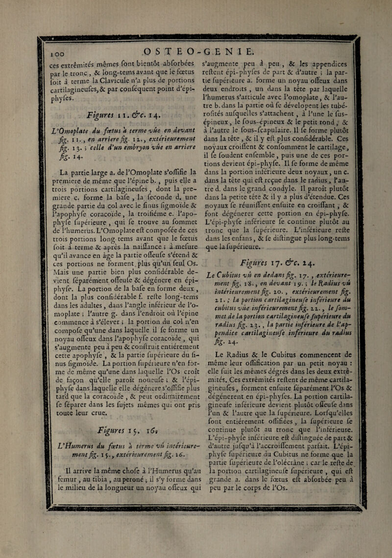 ces extrémités mêmes font bientôt abforbées par le tronc , & long-tems avant que le fœtus l'oit à terme la Clavicule n’a plus de portions cartilagineufes,& par conféquent point dJépi- phyfes. Figures 11. &c. 14. L’Omoplate du foetus a terme vue en devant fig. 11. , en arriéré fig. n., extérieurement fig. 13. ; celle d’un embryon vite en arriéré h' La partie large a. de l’Omoplate s’oflîfîe la première de même que l’épine b. , puis elle a trois portions cartilagineufes , dont la pre¬ mière c. forme la bafe , la fécondé d. une grande partie du col avec le lînus figmoïde & l’apophyfe coracoïde, la troiiîéme e. l’apo- phyfe fupérieure , qui fe trouve au fommet de l’humerus. L’Omoplate eft compofée de ces trois portions long tems avant que le fœtus foit à terme & après la naifl'ance ; à mefure qu’il avance en âge la partie ofleufe s’étend & ces portions ne forment plus qu’un feul Os. Mais une partie bien plus confidérable de¬ vient féparément ofleufe & dégénéré en épi— phyfe. La portion de la bafe en forme deux , dont la plus confidérable f. relie long-tems dans les adultes, dans l’angle inférieur de l’o¬ moplate ; l’autre g. dans l’endroit où l’épine commence à s’élever ; la portion du col n’en compofe qu’une dans laquelle il fc forme un noyau ofleux dans l’apophyfe coracoïde , qui s’augmente peu à peu & conftruit entièrement cette apophyfe , & la partie fupérieure du fi- nus figmoïde. La portion fupérieure n’en for¬ me de même qu’une dans laquelle l’Os croît de façon qu’elle paroît noueufe ; & l’épi— phyfe dans laquelle elle dégénéré s’ofiSfie plus tard que la coracoïde , & peut ordinairement fe féparer dans les fujets mêmes qui ont pris toute leur crue. Figures iy. r£* L’Ltumerus du fœtus a terme vu intérieure¬ ment fig. ij., extérieurement fig. 16. Il arrive la même chofe à l’Humérus qu’au fémur , au tibia , au péroné ; il s’y forme dans le milieu de la longueur un noyau ofleux qui s’augmente peu d peu , & les appendices relient épi-phyfes de part & d’autre ; la par¬ tie fupérieure a. forme un noyau ofleux dans deux endroits , un dans la tête par laquelle l’humerus s’articule avec l’omoplate, & l’au¬ tre b. dans la partie où fe dévelopent les tubé- rolités aufquellcs s’attachent , a l’une le fus- épineux , le fous-épineux & le petit rond , & à l’autre le fous-fcapulaire. Il fe forme plutôt dans la tête , & il y eft plus confidérable. Ces noyaux croiflcnt & confomment le cartilage, il le foudent enfemble , puis une de ces por¬ tions devient épi-phyfe. Il fe forme de même dans la portion inférieure deux noyaux, un c. dans la tête qui eft reçue dans le radius, f au¬ tre d. dans le grand condyle. Il paroît plutôt dans la petite tête & il y a plus d’étendue. Ces noyaux fe réunifient enfuite en croiflant , & font dégénérer cette portion en épi-phyfe. L’épi-phyfe inférieure fe continue plutôt au tronc que la fupérieure. L’inférieure refte dans les enfans, & fe diftingue plus long-tems que la fupérieure. Figures 17. &c. 14. Le Cubitus vu en dedans fig. 17. , extérieure¬ ment fig. 18., en devant 19. ; le Radius vû intérieurement fig. 2.0. , extérieurement fig. il.,* la portion cartilagineufe inférieure du cubitus vue inférieurement fig. 11,, le fom¬ met de laportion c artilagineufe fupérieure du radius fig. 13., la partie inférieure de L’ap¬ pendice c artilagineufe inférieure du radius h• 24- Le Radius & le Cubitus commencent de même leur oflîfication par un petit noyau : elle fuit les mêmes dégrés dans les deux extré¬ mités. Ces extrémités refient de même cartila- gineufes, forment enfuite féparément l’Os & dégénèrent en épi-phyfes. La portion cartila- gineufe inférieure devient plutôt ofleufe dans l’un & l’autre que la fupérieure. Lorfqu’elles font entièrement oflïfiées , la fupérieure fe continue plutôt au tronc que l’inférieure. L’épi-phyfe inférieure eft diftinguée de part& d’autre jufqu’à l’accroiflcmcnt parfait. L’épi- phyfe fupérieure du Cubitus ne forme que la partie fupérieure de l’olécrâne ; car le refte de la portion cartilagineufe fupérieure , qui eft grande a. dans le fœtus eft abforbée peu à peu par le corps de l’Os.