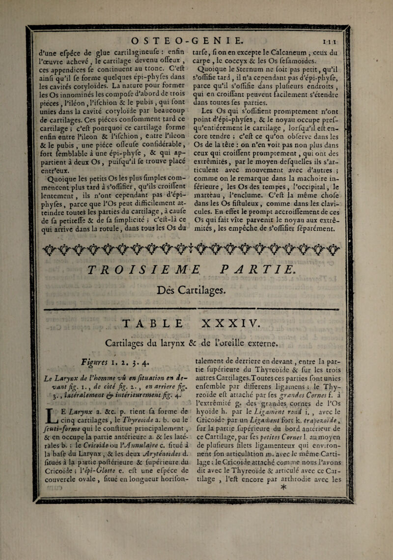 m BEMlJBIUiflSlEBlga OSTEO- d’une efpéce de glue cartilagineufe : enfin l’œuvre achevé , le cartilage devenu offeux , ces appendices fe continuent au tronc. C’eft a in fi qu’il fe forme quelques épi-phyfes dans les cavités cotyloïdes. La nature pour former les Os innomines les compole d’abord de trois pièces , l’iléon , l’ifehion & le pubis, qui (ont unies dans la cavité cotyloïde par beaucoup de cartilages. Ces pièces confomment tard ce cartilage ; c’eft pourquoi ce cartilage forme enfin entre l’ileon & l’ifchion , entre l’ileon & le pubis , une pièce ofleufe confiderable, fort femblable à une épi-phyfe , & qui ap¬ partient à deux Os, puifqu’rl fe trouve place entr’eux. Quoique les petits Os les plus (impies com¬ mencent plus tard à s’offifier, qu’ils croilTent lentement, iis n’ont cependant pas d’epi- phyfes , parce que l’Os peut difficilement at¬ teindre toutes les parties du cartilage, à caufe de fa petitefle & de fa fimplicité ; c’eft-là ce qui arrive dans la rotule, dans tous les Os du GENIE. m tarfe, fi on en excepte le Calcaneum , ceux du carpe , le coccyx & les Os felamoïdes. Quoique le Sternum ne (oit pas petit, qu’il s’offifie tari , il n’a cependant pas d’épi-phyfe, parce qu’il s’oftifie dans plufieurs endroits , qui en croiffant peuvent facilement s’étendre dans toutes fes parties. Les Os qui s’offifient promptement n’ont point d’épi-phyfes, & le noyau occupe pref- qu’entiérement le cartilage, lorfqu’il eft en¬ core tendre ; c’eft ce qu’on obferve dans les Os de la tête : on n’en voit pas non plus dans ceux qui croilTent promptement, qui ont des extrémités, par le moyen defquclles ils s’ar¬ ticulent avec mouvement avec d’autres ; comme on le remarque dans la mâchoire in¬ férieure , les Os des tempes, l’occipital, le martèau , l’enclume. C’eft la même chofe dans les Os fiftuleux , comme dans les clavi¬ cules. En effet le prompt accroiffement de ces Os qui fait vite parvenir le noyau aux extré¬ mités , les empêche de s’offifier féparémenc. T RO I S I E ME PARTIE. Dés Cartilages. TABLE XXXIV. Cartilages du larynx & de l’oreille externe. Figures i. i. 3.4. Le Larynx de l’homme vâ en fituation en de¬ vant fig. 1., de coté fig. i. , en arriéré fig. 3., latéralement & intérieurement fig. 4. LE Larynx a. &c. p. tient fa forme de cinq cartilages , le Thyreoide a. b. ou le feuti-forme qui le conftitue principalement , & en occupe la partie antérieure a. & les laté¬ rales b. ; le Cricoide ou l’Annulaire c. fi tué à la bafe du Larynx , & les deux Aryténoïdes d. fitués à la partie poftérieure & fupérieure. du Cricoide ; 1 ’cpi-Glotte e. eft une efpéce de couvercle ovale , fitué en longueur horifon- talement de derrière en devant, entre la par¬ tie fupérieure du Thyreoide & fur les trois autres Cartilages.Toutes ces parties (ont unies enfemble par differens ligarnens ; le Thy¬ reoide eft attaché par fes grandes Cornes f. à l’extrémité g. des grandes cornes de l’Os hyoïde h. par le Ligament rond i. , avec le Cricoide par un Ligament fort k. trapezoide x fur la partie fupérieure du bord antérieur de ce Cartilage, par fes petites Cornes 1. au moyen de plufieurs filets ligamenteux qui environ¬ nent fon articulation m. avec le même Carti¬ lage; le Cricoide attaché comme nous l’avons dit avec le Thyreoide & articulé avec ce Car¬ tilage , l’eft encore par arthrodie avec les *