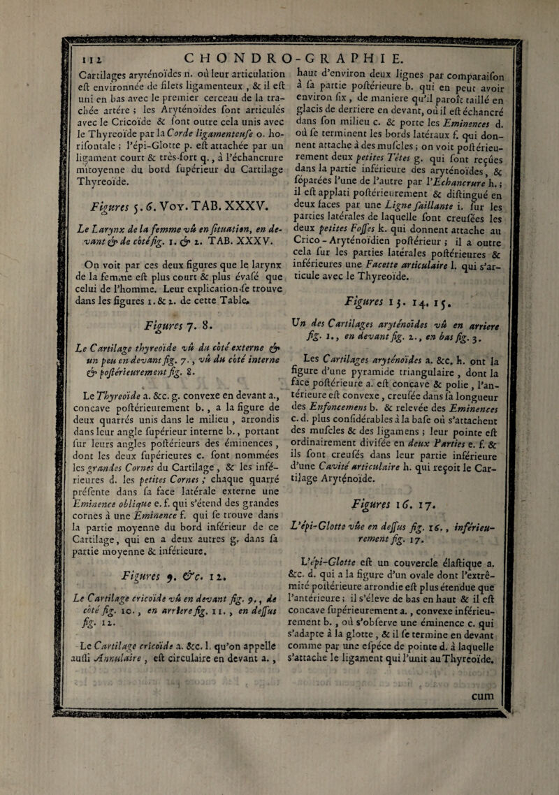 Cartilages aryténoïdes n. où leur articulation eft environnée de filets ligamenteux , & il eft uni en bas avec le premier cerceau de la tra- cliée artère ; les Aryténoïdes font articulés avec le Cricoïde & font outre cela unis avec le Thyreoïde par la. Corde ligamenteufe o. ho- rifontale ; l’épi-Glotte p. eft attachée par un ligament court & très-fort q., à l’échancrure mitoyenne du bord fupérieur du Cartilage Thyreoïde. Figures 5.6. Voy. TAB. XXXV. Le Larynx de la femme vû en fituatien, en de¬ vant & de coté fig, r. & z. TAB. XXXV. On voit par ces deux figures que le larynx de la femme eft plus court & plus évafé que celui de l’homme. Leur explicacion-fe trouve dans les figures i.& z. de cette Table* Figures 7. 8. Le Cartilage thyreoïde vû du cité externe & un peu en devantfig. 7., vu du coté interne & poftérieurement fig, S. * - Le Thyreoïde a. &c. g. convexe en devant a., concave poftérieurement b., a la figure de deux quarrés unis dans le milieu , arrondis dans leur angle fupérieur interne b., portant fur leurs angles poftérieurs des éminences , dont les deux fupérieures e. font nommées les grandes Cornes du Cartilage , & les infé¬ rieures d. les petites Cornes ; chaque quarré préfente dans fa face latérale externe une Eminence oblique e. f. qui s’étend des grandes cornes à une Eminence f. qui fie trouve dans la partie moyenne du bord inférieur de ce Cartilage, qui en a deux autres g. dans fia partie moyenne & inférieure. Le Cartilage cricoïde vû en devant fig. 9,, de coté fig. io., en arriéré fig. 11. , en dejfus fis-11. Figures 9. &c. 11. Le Cartilage cricoïde a. &c. L qu’on appelle autli Annulaire . eft circulaire en devant a., haut d’environ deux lignes par compataifion à fia partie poftérieure b. qui en peuc avoir environ fix , de maniéré qu’il paroît taillé en glacis de derrière en devant, où il eftéchancré dans fion milieu c. & porte les Eminences d. où fie terminent les bords latéraux f. qui don¬ nent attache à des muficles ; on voit poftérieu¬ rement deux petites Tètes g. qui font reçues dans la partie inférieure des aryténoïdes’ & féparées l’une de l’autre par l’Echancrure h. ; il eft applati poftérieurement & diftingué en deux faces par une Ligne faillante i. fur les parties latérales de laquelle font creufees les deux petites Fojfes k. qui donnent attache au Crico - Aryténoïdien poftérieur ; il a outre cela fur les parties latérales poftérieures & inférieures une Facette articulaire 1. qui s’ar¬ ticule avec le Thyreoïde. Figures 15. 14. 1 5. Un des Cartilages aryténoïdes vû en arriéré fig. 1. y en devant fig. z., en bas fig. 3. Les Cartilages aryténoïdes a. &C. h. ont la figure d’une pyramide triangulaire , dont la face poftérieure a. eft concave & polie , l’an¬ térieure eft convexe, creufée dans fia longueur des Enfoncemens b. & relevée des Eminences c. d. plus confidérables à la bafe où s’attachent des muficles & des ligamens ; leur pointe eft ordinairement divifiée en deux Parties e. f. & ils font creufiés dans leur partie inférieure d’une Cavité articulaire h. qui reçoit le Car¬ tilage Aryténoïde. Figures 16. 17. L'epi-Clotte vue en dejfus fig. 16., inférieu¬ rement fig. 17. L’épi-Glotte eft un couvercle élaftique a. êcc. d. qui a la figure d’un ovale dont l’extré¬ mité poftérieure arrondie eft plus étendue que l’antérieure; il s’élève de bas en haut & il eft concave fiupérieurement a., convexe inférieu¬ rement b. , où s’obferve une éminence c. qui s’adapte à la glotte , & il fe termine en devant comme par une efpéce de pointe d. à laquelle s’attache le ligament qui l’unit au Thyreoïde. cum