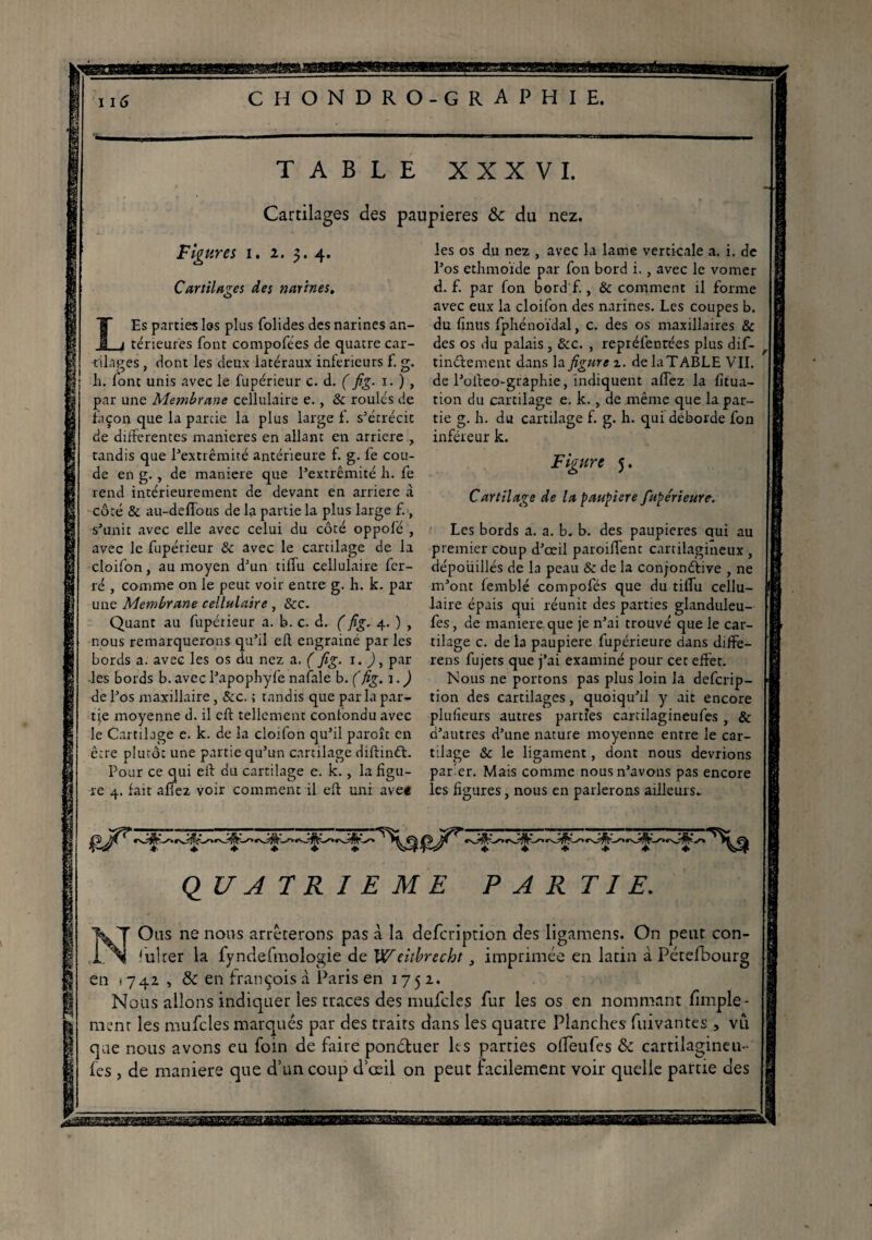 smxA. SSSSsSSKSSS! chondro-graphie. TABLE XXXVI. Cartilages des paupières & du nez. Figures i. i. 3.4. Cartilages des narines. Es parties les plus folides des narines an¬ térieures font compofées de quatre car¬ tilages , dont les deux latéraux inferieurs f. g. h. font unis avec le fupéricur c. d. ( fig. 1. ) , par une Membrane cellulaire e., & roulés de façon que la parde la plus large f. s’étrécit de differentes maniérés en allant en arriéré , tandis que l’extrémité antérieure f. g. fe cou¬ de en g. , de maniéré que l’extrémité h. fe rend intérieurement de devant en arriéré à côté & au-deffous de la partie la plus large f., s’unit avec elle avec celui du côté oppofé , avec le fupérieur & avec le cartilage de la cloifon, au moyen d’un tiffu cellulaire fer¬ ré , comme on le peut voir entre g. h. k. par unç Membrane cellulaire, Scc. Quant au fupérieur a. b. c. d. ( fig, 4. ) , nous remarquerons qu’ri efl engrainé par les bords a. avec les os du nez a. ( fig. 1. ), par •les bords b. avec l’apophyfe nafale b. (fig. i. ) de l’os maxillaire, Sec. ; tandis que parla par¬ tie moyenne d. il cft tellement confondu avec le Cartilage e. k. de la cloifon qu’il paroît en être plutôt une partie qu’un cartilage diftinét. Pour ce qui eff du cartilage e. k., la figu¬ re 4. fait allez voir comment il eff uni avee les os du nez , avec la lame verticale a. i. de l’os ethmoïde par fon bord i., avec le vomer d. f. par fon bord f., & comment il forme avec eux la cloifon des narines. Les coupes b. du finus fphénoïdal, c. des os maxillaires & des os du palais, &c. , repréfentées plus dif- tinélement dans la figure 1. delaTABLE VII. de l’offeo-graphie, indiquent allez la litua- tion du cartilage e. k.} de même que la par¬ tie g. h. du cartilage f. g. h. qui déborde fon inféreur k. Figure 5. Cartilage de la paupière fupérieur e. Les bords a. a. b. b. des paupières qui au premier coup d’œil paroiffent cartilagineux , dépouillés de la peau & de la conjonéiive , ne m’ont lemblé compofés que du tiffu cellu¬ laire épais qui réunit des parties glanduleu- fes, de maniéré que je n’ai trouvé que le car¬ tilage c. de la paupière fupérieure dans diffe¬ rens fujers que j’ai examiné pour cet effet. Nous ne portons pas plus loin la deferip- tion des cartilages, quoiqu’il y ait encore plufîeurs autres parties cartilagineufes , & d’autres d’une nature moyenne entre le car¬ tilage & le ligament, dont nous devrions parier. Mais comme nous n’avons pas encore les ligures, nous en parlerons ailleurs. QUATRIEME PARTIE. JvT O us ne nous arrêterons pas à la defcrîption des ligamens. On peut con- 'ulter la fyndefmologie de Weltbrecht 3 imprimée en latin à Pétefbourg en -74a , & en François d Paris en 1752. Nous allons indiquer les traces des mufcles Fur les os en nommant fimple- menr les mufcles marqués par des traits dans les quatre Planches Fuivantes , vu que nous avons eu Foin de Faire ponéFuer le s parties olfeufes & cartilagineu¬ fes , de maniéré que d’un coup d'œil on peut facilement voir quelle partie des