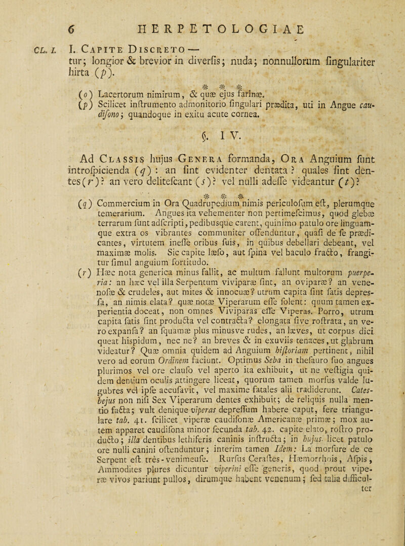 CL. I. / I., Capite Discreto — tur; longior & brevior in diverfis; nuda; nonnullorum fingulariter hirta (p). # % # (o) Lacertorum nimirum, & quae ejus farinae* (p) Scilicet inftrumento admonitorio lingulari praedita, uti in Angue cau* difonoy quandoque in exitu acute cornea. $. i v. Ad Classis hujus Genera formanda. Ora Anguium funt introipicienda (q) : an fint evidenter dentata? quales fint den- tes(r)? an vero delitefcant (i)? vel nulli adefle videantur (7)? (q) Commercium in Ora Quadrupedium nimis penculofum eft, plerumque temerarium. Angues ita vehementer non pertimefcimus, quod glebae terrarum funt adfcripti, pedibusque carent, quinimo patulo ore linguam¬ que extra os vibrantes communiter offenduntur, quafi de fe praedi¬ cantes, virtutem ineffe oribus fuis, in quibus debellari debeant, vel maximae molis. Sic capite laefo, aut fpina vel baculo fradbo, frangi¬ tur fimul anguium fortitudo. (r) Haec nota generica minus fallit, ac multum fallunt multorum puerpe¬ ria: an haec vel illa Serpentum viviparae fint, an oviparae? an vene- nofae & crudeles, aut mites & innocuae? utrum capita fint fatis depres- fa, an nimis elata? quae notae Viperarum effe folent: quum tamen ex¬ perientia doceat, non omnes Viviparas effe Viperas. Porro, utrum capita fatis fint produdla vel contradla? elongata five roftrata, an ve¬ ro expanfa? an fquamae plus minusve rudes, an laeves, ut corpus dici queat hispidum, nec ne? an breves & in exuviis tenaces,ut glabrum videatur? Quae omnia quidem ad Anguium hi floriam pertinent, nihil vero ad eorum Ordinem faciunt. Optimus Seba in thefauro fuo angues plurimos vel ore claufo vel aperto ita exhibuit, ut ne vefiigia qui¬ dem dentium oculis .attingere liceat, quorum tamen morius valde lu¬ gubres vel ipfe accufavit, vel maxime fatales alii tradiderunt. Cates- hejus non nifi Sex Viperarum dentes exhibuit; de reliquis nulla men¬ tio fa6la; vult denique viperas depreffum habere caput, fere triangu¬ lare tab. 41. fcilicet viperee caudifonae Americanae primse; mox au¬ tem apparet caudifona minor fecunda tab. 42. capite elato, rofiro pro- du6fo; illa dentibus lethiferis caninis inftrufita; in hujus- licet patulo ore nulli canini offenduntur; interim tamen Idem: La morfure de ce Serpent eft tres-venimeufe. Rurfus Cerafles, Haemorrhois, Afpis , Ammodites plures dicuntur viperini effe generis, quod prout vipe¬ rae vivos pariunt pullos, dirumque habent venenum; fed talia difficul¬ ter