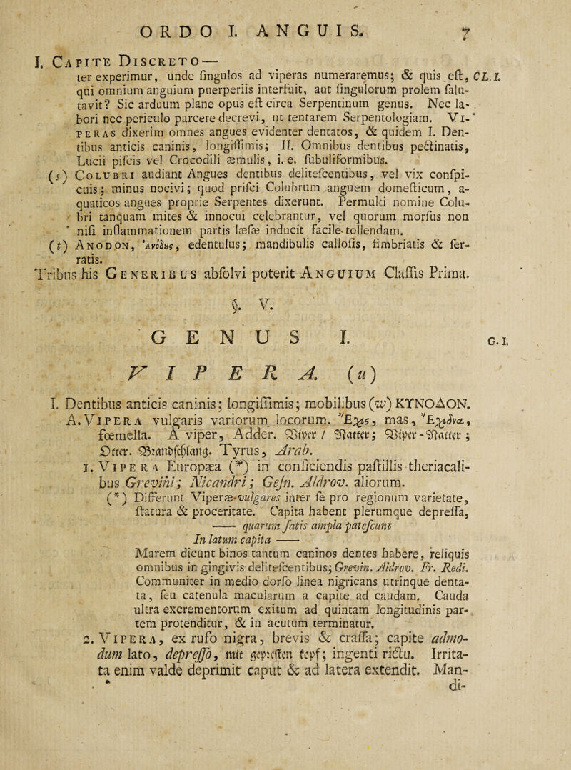 * I. Cavite Discreto — ter experimur, unde fingulos ad viperas numeraremus; & quis eft, CL.I. qui omnium anguium puerperiis interfuit, aut fingulorum prolem falu- tavit? Sic arduum plane opus efl circa Serpentinum genus. Nec la¬ bori nec periculo parcere decrevi, intentarem Serpentologiam. Vi-‘ peras dixerim omnes angues evidenter dentatos, & quidem I. Den¬ tibus anticis caninis, longiflimis; II. Omnibus dentibus pecbinatis, Lucii pifcis vel Crocodili aemulis, i. e. fubuliformibus. (j) Colubri audiant Angues dentibus delitefcentibus, vel vix confpi- cuis; minus nocivi; quod prifci Colubrum anguem domefticum, a- quaticos angues proprie Serpentes dixerunt. Permulti nomine Colu¬ bri canquam mites & innocui celebrantur, vel quorum morfus non nifi inflammationem partis Icefle inducit facile-tollendam. (t) Anodon, 'avoSus, edentulus; mandibulis callofls, fimbriatis & fer¬ ratis. Tribus his Generibus abfolvi poterit Anguium Cladis Prima. §. V. GENUSI. c. V I P ERA, O) I Dentibus anticis caninis; longiffimis; mobilibusQw) KYNOAON. A.Vipera vulgaris variorum locorum. J/E^3 mas, !,e%iSvcl9 fcemella. A viper, Adder. Q3tper / ‘DIamt; QSiper - %lawt; jdtttt* Tyrus, Arab. 1. Vipera Europaea (*) in conficiendis paftillistheriacali- bus Grevihi; Nicandri; Gejn. A/drov. aliorum. (*) Differunt Vipersevulgares inter fe pro regionum varietate, flatura Sc proceritate. Capita habent plerumque deprella, - quarum fatis ampla patefiunt In latum capita - Marem dicunt binos tantum caninos dentes habere, reliquis omnibus in gingivis delitefcentibus; Grevin. ylldrov. Fr. Redi. Communiter in medio dorfo linea nigricans utrinque denta¬ ta, feu catenula macularum a capite ad caudam. Cauda ultra excrementorum exitum ad quintam longitudinis par¬ tem protenditur, & in acutum terminatur. 2. Vipera, ex rufo nigra, brevis & craffa; capite admo¬ dum deprejfio, mtt 'gqwjfcn tcpf; ingenti riditu. Irrita¬ ta enim valde deprimit caput & ad latera extendit. Man- • * di-