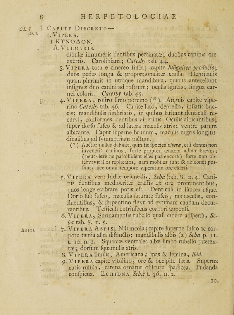 cl.l I. Capite Discreto — G'r* i. Vipera. I.KTNO AON. A. Vulgaris. dibulae innumeris dentibus peftinat^e; duobus caninis ore exertis. Caroliniana; Catesby tab. 4.4.. 3. V1PERA tota e cinereo fufca; capite infigniter produElo; duos pedes longa & proportionaliter crafla. Denticulis quam plurimis in utraque mandibula, quibus antecellunt infignes duo canini ad roftrum; oculis igneis; lingua car¬ nei coloris. Catesby tab. 4.5*. 4. Vi per a 3 roftro (imo porcino (#). Anguis capite vipe¬ rino Catesby tab. 46. Capite lato, depreffo, inflatis buc¬ cis; mandibulis fimbriatis, in quibus latitant denticuli re¬ curvi, conformes dentibus viperinis. Oculis albicantibus; fuper dorfo fufco & ad latera maculis atris; ventre parum albicante. Caput fuperne brunum, maculis nigris longitu¬ dinalibus ad fymmetnam pidhnn. (*) Au6lor nullus dubitat, quin fit fpecies vipereetfi dentes non invenerit caninos , forte propter aetatem adhuc breves; (peut-etre ne paroifibient elles pas encore) forte non ob- fervavit illos replicatos, nam mobiles funt & abfeondi pos- funt; nec omni tempore viperarum ore^exerti. j. Viper a vera Indiae-orientalis, Seba 'tab. 8. n. 4. Cani¬ nis dentibus mediocriter crailis ex ore prominentibus, quos longe evibrare potis eft. Denticuli in fauces ufque. Dorfo fub fufco, maculis faturate fufeis, majusculis, con¬ fluentibus, & ferpentino flexu ad extimam caudam decur¬ rentibus. Tefticuli extrinfecus corpori appenli. 6. V1 p e it a , Surinamenfis rubello quafi emere adiperfa, Se¬ ba tab. S. n. 5“. Aspis< . * 7. Vipera Aspis; Nili incola; capite fuperne fufco ac cor¬ pore taenia alba diftindto; mandibulis albis (x) Seba p. 11. t. 10. n. 1. Squamae ventrales albae limbo rubello praetex- tae; dorfum fquamulis atris. 4 8. Vipera fimilis; Americana; mas & femina, ibid. 9. Vi p er a capite vitulino, ore & occipite latis. Superna cutis rufula, catena ornatur obfcure fpadicea. Pudenda confpicua. Echidna Sebat t. 36. n. 2. ic«