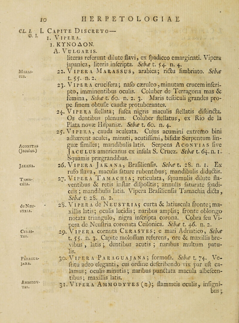 CL. I. I. G. I. Capite Discreto — i. Vipera. 1. KTNO AON. Maras- sus. AcONITAS' (Jaculus.) Jakana. T CHIA. de Neu- stria. Ceras¬ tes. Paf.agua- JaNA. Ammody- TES. A. Vulgar is. literas referunt dilute flavi , ex fpadiceo emarginati. Vipera japanica, literis infcripta. Seba t. >4- n. 4. 2 2. V1 p e R a Marassus 5 arabica ; r i&u fimbriato. Seba t. 5 j. n. 2. 23. Vipera cruci fera; nafo caeruleo, minutam crucem inferi- pto, imminentibus oculis. Coluber de Terragona mas & femina. Seba t. 60. n. 2. 3. Maris tefticuli grandes pro¬ pe finem obtufse caudae protuberantes. 24. Vipera frellata; fufea nigris maculis ftellatis diftindla. Os dentibus plenum. Coluber Rellatus , ex Rio de la Piata novae Hifpaniae. Seba t. 60. n. 4. 2 J. Vipera, cauda aculeata. Cujus acumini extremo, bini adhaerent aculei, minuti, acutiffimi, bifidae Serpentum lin¬ gua fimiles; mandibulis latis. Serpens A conti as fi ve Jaculus americanus ex infula S. Cruez. Seba t. 64. n. k Squamis praegrandibus. 4 t. X t*\$ .... 'i 26. Vipera Jakana, Brafilienfis. Sebat. 28. n. 1. Ex rufo flava 5 maculis fature rubentibus; mandibulis didudtis. 27. Vipera Tamachia; reticulata, fquamulis dilute fla¬ ventibus & retis inflar difpo-fitis; annulis feturate fpadi- ceis; mandibulis latis. Vipera Brafilienfis Tamachia dicta, Seba t* 28. n. 2. 28. V1 p e r a de N e u s t r i a % curta & latiuscula fronte; ma¬ xillis latis; oculis lucidis; naribus amplis; fronte oblongo notata triangulo, nigra infcripta corona. Cobra feu Vi¬ pera de Neuftria coronata Ceilonica. Seba t. 46. n. 2. 29. Vipera cornuta Cerastes; e mari Adriatico, Seba t. 5*5. n. 3. Capite moloilum referens, ore & maxillis bre¬ vibus , latis; dentibus acutis ; naribus multum patu¬ lis. . f ' 30. V1 p e r A P A R a g u a j a n a ; formofa. Seba t. 74. Ve- ftitu adeo eleganti, cui ordine deferibendo vix par efl: ca¬ lamus ; oculis minutis; naribus punctata macula albefcen- tibus; maxillis'latis. 31. Vipera Ammodytes(s); flammeis oculis, infigni- bus;