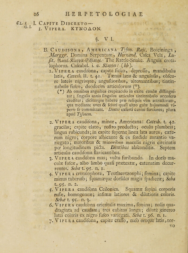 Cl. i. I. Capite Discreto — G<1' i. Vipera. KTNOAON. $• V I. ■ •* . t- ‘ •: \ ■ • v. , . . B. Caudisona, Americana Tyjon. Ra)i. Boicininga , Marggr. Domina Serpentum, Hcrnand. Cafca Vela, Lu- - fit. ?Xattctj\(appcr^@cf)[angc>• The Rattle-Snake. Anguis crota. lophorus. Cafcabel. i. e. jvfapper/ (bb). 1. Vipera caudifona , capite fufco , depreffo, mandibulis latis, Catesb. II. t. 41. Teniis latis & angulofis, obfcu- re luteis nigrisque, anguftionbus, alternantibus; tintin¬ nabulo fufco, duodecim articulorum (%). (*) Ab omnibus anguibus crepitaculo in exitu caudae diftingni- liir; Ungulis annis fingulos articulos tintinnabulo accedere creditur; diciturque habere prae reliquis vim attradlivam, qua mediante aves & fciuri quafi ultro gulae hujusmodi vi¬ perae fe committant. Dentes exferti canini fortiores; plura apud Tyfonem. 2. Vipera caudifona, minor, Americana: Catesb. t. 42. gracilis; capite elato, roflro produfto; oculis plumbeis; lingua rubicunda;in capite fuperne linea lata aurea, caete- rum nigro; corpore albicante & ex fordide aurantio va¬ riegato; majoribus & minoribus maculis nigris circinatis per longitudinem pidia. Dentibus abfconditis. Septem articulis caudifonis flavicantibus. 3. Vipera caudifona mas; vultu furibundo. In dorfo ma¬ culae fufcae, albo limbo quali praetextae, catenatim decur¬ rentes. Seba t. 9). n. 1. 4. Vipera crotalophora, Teutlacot^oiiphi; femina; capite minus tuberofo; fquameeque dorfales magis fpadiceae; Seba t. p). n. 2. 5*. Vipera caudifona Ceilonica. Squamae fupini corporis rufae, homogeneae; infimae latiores & dilutioris coloris. Seba t. 95’. n. 3. 6. Vipera caudifona orientalis maxima, femina; nolis qua¬ draginta ad caudam; tres cubitos longa; dilute ;cinereo lutei coloris ex nigro fufco variegati. Seba t. 96. n. 1. 7. VipePvA caudifona, capite craffo, nafo oreque latis,tor¬ vo