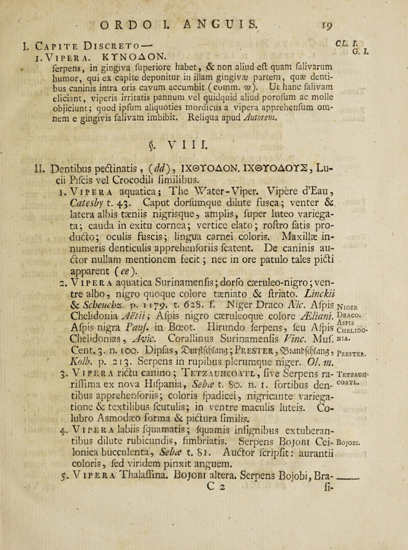 L Capite Discreto — i. Vipera. KTNOAON. CJL i. G. i. ferpens, in gingiva fuperiore habet, & non aliud eft quam falivarum humor, qui ex capite deponitur in illam gingivae partem, quae denti¬ bus caninis intra oris cavum accumbit (comm. w). Ut hanc falivam eliciant, viperis irritatis pannum vel quidquid aliud porofum ac molle objiciunt; quod ipfum aliquoties mordicus a vipera apprehenfum om¬ nem e gingivis falivam imbibit. Reliqua apud Altorem. $. VII I. II. Dentibus pe&inatis, (dd), IX0TOAON. IX0TOAOTS, Lu- . cii Pifcis vel Crocodili limilibus. 1. Vipera aquatica; The Water-Viper. Vipere d’Eau, Catesby t. 4.3. Caput dorfumque dilute fusca; venter & latera albis taeniis nigrisque , amplis, fuper luteo variega¬ ta; cauda in exitu cornea; vertice elato; roftro fatis pro- dufto; oculis fuscis; lingua carnei coloris. Maxillae in¬ numeris denticulis apprehenforiis fcatent. De caninis au¬ ctor nullam mentionem fecit; nec in ore patulo tales pidti apparent (ee). 2. Vipera aquatica Surinamenfis;dorfo caeruleo-nigro;ven¬ tre albo 5 nigro quoque colore taeniato & ftriato. Linckii & Scbeucbz. p. 1 179. t. 628. f. Niger Draco Nic. Afpis niGek Chelidonia Aelii; Alpis nigro caeruleoque colore JEliani. Draco. Afpis nigra PauJ. in Bceot. Hirundo ferpens , feu Afpis cheudo* Chelidonias, Avie. Corallinus Surinamenfis Vine. Muf. KIA* Cent. 3. n. 100. Dipfas, ; Prester,®wn&fc(jr<m8, prester. Kolb. p. 213. Serpens in rupibus plerumque niger. 01. m. 3. V i per a ri&u canino ; Tetzauhcoatl , five Serpens ra- Tetzauh- .rifiima ex nova Hifpania, Seba t. 80. n. 1. fortibus den- COATL* tibus apprehenforiis; coloris fpadicei, nigricante variega- tione & textilibus fcutulis; in ventre maculis luteis. Co¬ lubro Asmodaeo forma & pidhira fimilis. 4. Vipera labiis fquamatis; fquamis infignibus extuberan¬ tibus dilute rubicundis, fimbriatis. Serpens Bojobi Cei- Bojobi. Ionica bucculenta. Seba t. 81. Audtor fcripfit: aurantii coloris, fed viridem pinxit anguem. 5. Vipera'Thalaffina. Bojobi altera. Serpens Bojobi,Bra- -