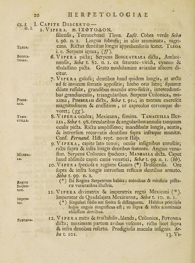 CL. I. I. G. I. Tleoa. Boigua- TRARA. PlMBE < RAH. Tama- CUILLA. Manbal- Regina Serpen- tum. Impera¬ tor. Capite Discreto — i. Vipera, ii. IX0TOAON. filienfis, Tetrauchoatl Tleoa. Lufit. Cobra verde Seba t. 96. n. 2. Lingua fubrufa; in aliis acuminata, nigri¬ cans. Ridus dentibus longis apprehenforiis fcatet. Tleoa i. e. Serpens ignea, (ff). 6. Vipera pida; Serpens Boiguatrara dida, Amboi- nenfis, Seba t. 82. n. 1. ex faturate-viridi, cyaneo & thalailino pida. Grato modulamine aviculas allicere di¬ citur. 7. Vipera gulofa; dentibus haud quidem longis, at arde ad fe invicem ferratis appofitis; limbo oris lato; fquamse dilute rufulae, grandibus maculis atro-fufcis, intercedenti¬ bus grandiusculis, triangularibus. Serpens Ceilonica, ma¬ xima, Pimberah dida, Seba t. 91.; in tantam excrefcit magnitudinem & craffitiem , ut capreolos cervosque de¬ voret; (gg). 8. Vipera oculea; Mexicaria, femina. Tamacuilla Hur- lia , Seba t. 98. circularibus & angularibus annulis tanquam oculis pida. Ridu ampliffimo; mandibulae longis, acutis, & introrfum recurvatis dentibus fupra infraque munita. Conf. Fernand. Hift. rept. novae Hifp. 9. Vipera, capite lato tenui; oculis infignibus corufcis; ridu fupra & infra longis dentibus fcatente. Anguis venu- ftus. Serpens Ceilonica fpadicea; Manballa dida. Caput haud abfimile capiti canis venatici, Seba t. 99. n. 1. ('bb). 10. Vipera fpeciofa e regione Guaira (#) Brafilienfis. Ore fupra & infra longis introrfum reflexis dentibus armato. Seba t. 99. n. 2. (*) Ibi Regina Serpentum habita; coloribus & mirificis pidtu- rse varietatibus illuftris. 11. Vipera divinatrix & imperatrix regni Mexicani (*). Imperator de Qiiadalajara Mexicanus, Seba t. 10. n. 1. • ( * ) Singulari fibilo aut fonitu fe diftinguens. Habitus principis . hujus anguis magnificus eil; os fupra & infra acuminatis obfefium dentibus. PcTOflGA. 12. Vipera mitis & tradabilis,blanda, Ceilonica, Potonga dida; maximam partem avibus vefcens, ridu licet fupra & infra dentibus referto. Prodigiofts maculis infignis. Se- bat.ioi. 7 ' 13. Vi-