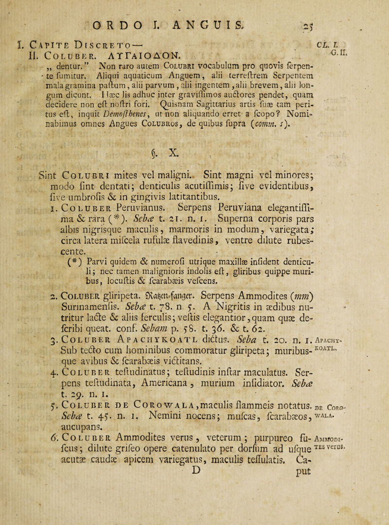 I. Capite Discreto — II. Coluber. ATTaiOAON, „ dentur. ” Non raro autem Colubri vocabulum pro quovis ferpen- * te fumitur. Aliqui aquaticum Anguem, alii terreftrem Serpentem mala gramina paftum,alii parvum, alii ingentem ,alii brevem, abi lon¬ gum dicunt. I laec lis adhuc inter graviffimos andtores pendet, quam decidere non eft noflri fori. Quisnam Sagittarius artis fuse tam peri¬ tus e(l, inquit Demo/lhenes, ut non aliquando erret a fcopo? Nomi» nabimus omnes Angues Colubros, de quibus fupra (comm. x). cL i G. IL X. Sint Colubri mites vel maligni.. Sint magni vel minores; modo fint dentati; denticulis acutiffimis; five evidentibus, five umbrofis & in gingivis latitantibus. 1. Coluber Peruvianus. Serpens Peruviana elegantiffi- ma & rara (*). Seba t. 21. n. 1. Superna corporis pars albis nigrisque maculis, marmoris in modum, variegata; circa latera mifcela rufulae flavedinis, ventre dilute rubes¬ cente. (#) Parvi quidem & numerofi utrique maxillae infident denticu¬ li; nec tamen malignioris indolis eft, gliribus quippe muri¬ bus, locufbis & fcarabaeis vefcens. 2. Coluber gliripeta. Serpens Ammodites (mm) Surinamenlis. Seba c. 78. n 5*. A Nigritis in aedibus nu¬ tritur ladte & aliis ferculis;vellis elegantior,quam quae de¬ fer ibi queat, conf. Sebam p. yS. t. 36. & t. 62. 3. Coluber Apachykoatl didtus. Seba t. 20. n. i.Apachy- Sub teClo cum hominibus commoratur gliripeta; muribus-K0ATL' que avibus & fcarabaeis vidlitans. 4.. Coluber teftudinatus; teliudinis inftar maculatus. Ser¬ pens teftudinata, Americana , murium inlidiator. Seba t. 29. n, 1. 51. Coluber de Corowala, maculis flammeis notatus, de Coro- Seba t. 4.5*. n. 1. Nemini nocens; mufeas, fcarabaeos,WALA* aucupans. 6. Co luber Ammodites verus, veterum; purpureo fu-AMwom- fcus; dilute gnfeo opere catenulato per dorfum ad ufque TES verLls' acutae caudae apicem variegatus, maculis teflulatis. Ca- D put