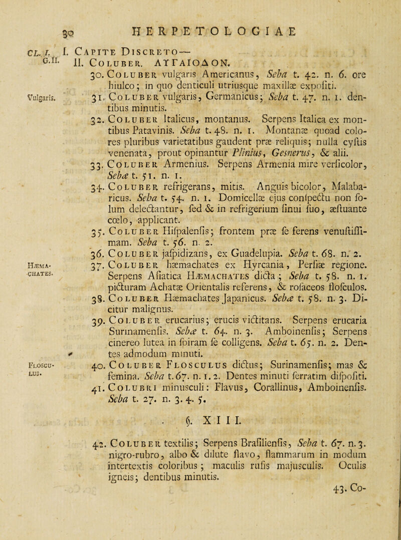 HERPETOLOGIAE CL. T. G.H. Vulgaris. H^ma- CHATES. Floscu¬ lus. I. Capite Discreto — 11. Coluber. ATT AIO AON. 30. Coluber vulgans Americanus, Seba t. 42. n. 6. ore hiulco; in quo denticuli utriusque maxillae expoliti. 31. Coluber vulgans, Germanicus; Seba t. 47. n. 1. den¬ tibus minutis. 32. Coluber Italicus, montanus. Serpens Italica ex mon¬ tibus Patavinis. Seba t. 48. n. 1. Montanae quoad colo¬ res pluribus varietatibus gaudent prae reliquis; nulla cyltis venenata, prout opinantur Plinius* Gesnerus, & alii. 33-colube r Armenius. Serpens Armenia mire verficolor, Seba t. y 1. n. 1. 34. Coluber refrigerans, mitis. Anguis bicolor, Malaba- ricus. Seba t. 5*4. n. 1. Domicellae ejus con(pedtu non fo- lum deledtantur, fed & in refrigerium finui fuo, aeftuante coelo, applicant. 35*. Coluber Hifpalenfis; frontem pne fe ferens venuftifll- mam. Seba t. 56. n. 2. 36. C0LUB er jafpidizans, ex Guadelupia. Seba t. <58. n. 2. 37. Coluber haemachates ex liyrcania, Perfiae regione. Serpens Afiatica Haemachates didta ; Seba t. 58. n. 1. pidturam Achatae Orientalis referens, & roiaceos llofculos. 38. Coluber Haemachates Japanicus. Seba t. y8. n. 3. Di¬ citur malignus. 39. C0.-0 ber erucarius; erucis vidtitans. Serpens erucaria Surmamenfis. Seba t. 64. n. 3. Amboinenlis; Serpens cinereo lutea in fpiram fe colligens. Seba t. 6y. n. 2. Den- * tes admodum minuti. 40. Coluber Flosculus didtus; Surinamenfis; mas & femina. Seba t. 67. n. 1.2. Dentes minuti ferratim difpoliti. 41. Colubri minusculi: Flavus, Corallinus, Amboinenlis. Seba t. 27. n. 3.4. 5. fi. XIII. 42. Coluber textilis; Serpens Brafilienfis, Seba t. 67. n.3. nigro-rubro, albo & dilute flavo, flammarum in modum intertextis coloribus; maculis rufis majusculis. Oculis igneis; dentibus minutis. 43. Co-