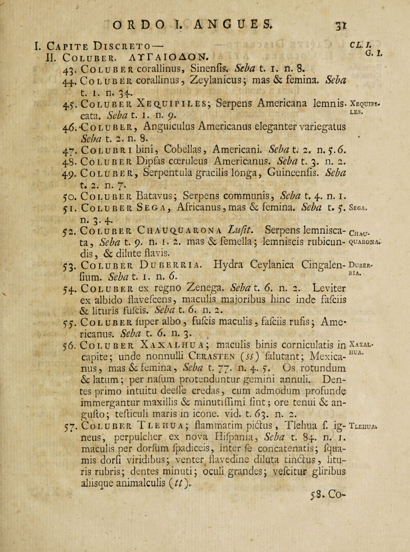 I. Capite Discreto — II. Coluber. ATFaioAON. 43. Coluber corallinus, Sinenfis. Seba t. 1. n. 8. 44. Coluber corallinus, Zeylanicus; mas & femina. Seba t. 1. n. 34. 451. Coluber Xeq.uipiles; Serpens Americana lemnis. cata. Seba t. 1. n, 9. 46. ‘Coluber, Anguiculus Americanus eleganter variegatus ■ Seba 1.2. n. 8. 47. Colubri bini 5 Cobellas, Americani. Sebat. 2. n. 5'.6. 48. Coluber Dipfas coeruleus Americanus. Seba t. 3. n. 2. 49. Coluber, Serpentula gracilis longa, Guineenfis. Seba t. 2. n. 7. 50. Coluber Batavus; Serpens communis. Seba t. 4. n. 1. 51. Coluber Sega, Africanus,mas & femina. Seba U 5*. n. 3. 4. 52. Coluber Cfiauquarona Lufit. Serpens lemnisca¬ ta, Seba t. 9. n. 1. 2. mas & femella; lemniscis rubicun¬ dis , & dilute flavis. 53. Coluber Duberria. Hydra Ceylanica Cingalen- lium. Seba t. 1. n. 6. 54-Colub er ex regno Zenega. Sebat. 6. n. 2. Leviter exalbido flavefcens, maculis majoribus hinc inde fafciis & lituris fulcis. Seba t. 6. n. 2. 5*5*. Coluber fuper albo, fufcis maculis, fafciis rufis; Ame¬ ricanus. Seba t. 6. n. 3. 56. Coluber Xaxalhua; maculis binis corniculatis in capite; unde nonnulli Cerasten (ss) falutant; Mexica- nus, mas & femina, Seba t. 77. n. 4. y. Os rotundum & latum; per nafum protenduntur gemini annuli. Den¬ tes primo intuitu deeffe credas, cum admodum profunde immergantur maxillis & minutiffimi fint; ore tenui & an- gufto; tefliculi maris in icone, vid. t. 63. n. 2. 57. Coluber Tlehua; flammarim pidfus, Tlehua f. ig¬ neus, perpulcher ex nova Hifpama, Seba t. 84. n. i. maculis per dorfum fpadiceis, inter fe concatenatis; fqtta- mis dorfi viridibus; venter flavedine diluta tindus, litu¬ ris rubris; dentes minuti; oculi grandes; vefcitur gliribus aliisque animalculis (tt\ 5,8«. Co- ■ CL. T. G. L Xequim- LES. Sega» Chau- QUAUOWA.’- Duber- IUA. Xaxal¬ hua. Tlehua*