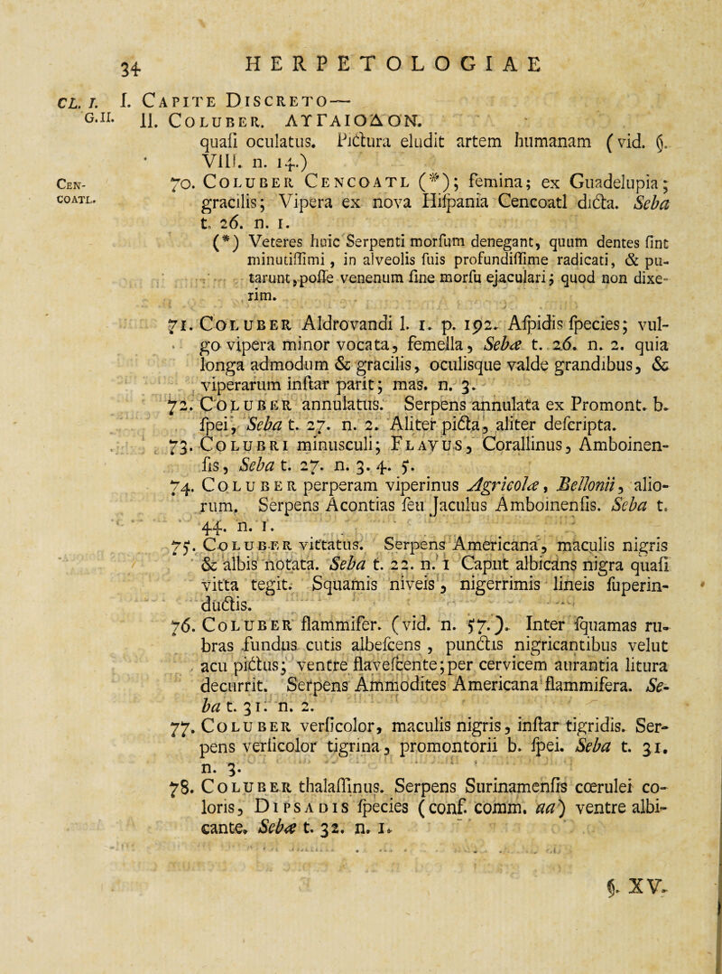 Cen- COATL. cl. /. I. Capite Discreto — GJI* 11. Coluber. AYPAIOAON. quali oculatus. Pidura eludit artem humanam (vid. Vili. n. 14.) 70. Coluber Cencoatl (#); femina; ex Guadelupia; gracilis; Vipera ex nova Hilpania Cencoatl didta. Seba L 26. n. 1. (*) Veteres huic Serpenti morfum denegant, quum dentes fint minutiflimi, in alveolis filis profundiffime radicati, & pu¬ tarunt ,poffe venenum line morfu ejaculari; quod non dixe¬ rim. 71. Coluber Aldrovandi 1. 1. p. 192. Afpidis fpecies; vul¬ go vipera minor vocata, femella. Seba t. 2.6. n. 2. quia longa admodum & gracilis, oculisque valde grandibus, & viperarum inftar parit; mas. n. 3. 72. Coluber annulatus. Serpens annulata ex Promont. b* fpei, Seba t. 27. n. 2. Aliter pidta, aliter defcripta. 73. Colubri minusculi; Flavus, Corallinus, Amboinen- fis. Seba t. 27. n. 3. 4. 5*. 74. COLUB e r perperam viperinus Agricola, Bellonii, alio¬ rum. Serpens Acontias feu Jaculus Amboinenfis. Seba t, 4.4. n. i. 75*. Coluber vittatus. Serpens Americana, maculis nigris & albis notata. Seba t. 22. n. 1 Caput albicans nigra quali vitta tegit. Squamis niveis, nigerrimis lineis fuperin- dudtis. 76. Coluber flammifer, (vid. n. J7-)» Inter iquamas ru¬ bras fundus cutis albefcens , pundhs nigricantibus velut acu pi£tus; ventre flavefcente;per cervicem aurantia litura decurrit. Serpens Ammodites Americana flammifera. Se¬ ba t. 31: n. 2. 77. Coluber verficolor, maculis nigris, inftar tigridis. Ser¬ pens veriicolor tigrina, promontorii b. fpei. Seba t. 51. _ > * n. 3 • 78. Colu ber thalaflinus. Serpens Surinamenfis coerulei co¬ loris , Dipsadis fpecies (conf. coram, aa) ventre albi¬ cante. Seba t. 32. n. 1. » 1 i J i. iLj. 'A, $. XV-