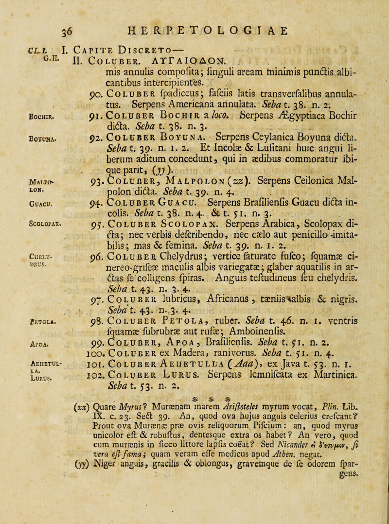 CL. 1. I. g.ii. Bochir. Boyuna. Malpo* LON. Guacu. ScoLorAX, Chely¬ drus, Fetola. Aro a. Aehetul- LA. Lurus. Capite Discreto — II. Coluber. AYTAIOAON. * ■ mis annalis compoiita; Unguli aream ininimis pundis albi¬ cantibus intercipientes. 90. Coluber fpadiceus; fafciis latis transverfalibus annula- tus. Serpens Americana annulata. Seba t. 38. n. 2. 91. Coluber Bochir a loco. Serpens /Egyptiaca Bochir dida. Seba t. 38. n. 3. 92. Coluber Boyuna. Serpens Ceylanica Boyuna dida. Seba t. 39. n. 1. 2. Et Incolae & Lufitani huic angui li¬ berum aditum concedunt 3 qui in aedibus commoratur ibi- queparit, (yy). 93. Coluber, M alpolon (22). Serpens Ceilonica Mal- polon dida. Seba t. 39. n. 4. 94. ColuberGuacu. Serpens Brafilienfis Guacu dida in¬ colis. Seba c. 38. n. 4. & t. ji. n. 3. 951. Coluber Scolopax. Serpens Arabica, Scolopax di¬ da ; nec verbis defcribendo, nec caelo aut penicillo -imita¬ bilis; mas & femina. Seba t. 39. n. 1. 2. 96. Coluber Chelydrus; vertice laturate fufco; fquamae ci- nereo-gnfeae maculis albis variegatae; glaber aquatilis in ar¬ das fe colligens fpiras. Anguis teftudineus feu chelydris. Seba t. 43. n. 3. 4. 97. Coluber lubricus, Africanus, taeniis balbis & nigris. Sebat. 43. n. 3. 4. 98. Coluber Petola, ruber. Seba t. 46. n. 1. ventris fquamae fubrubrae aut rufe; Amboinenfis. 99. Coluber, Apoa, Brafilienfis. Seba t. ji. n. 2. 100. Coluber ex Madera, ranivorus. Seba t. Ji. n. 4. 101. Coluber Aehetullta (Aaa)> ex Java t. 53. n. r. 102. Coluber Lurus. Serpens lemnifcata ex Martinica. Seba t. 53. n. 2. % % % (xx) Quare Myrus ? Muraenam marem Ariftoteles myrum vocat, Plin. Lib, IX. c. 23. Sed 39. An, quod ova hujus anguis celerius crefcanc? Prout ova Muraenae prae ovis reliquorum Pifcium: an, quod myrus unicolor eft & robuftus, dentesque extra os habet? An vero, quod cum muraenis in ficco littore lapfis coeat? Sed Nicander « fi vera, ejlfama; quam veram efie medicus apud Aihen. negat. (>y) Niger anguis, gracilis & oblongus, gravemque de fe odorem fpar- gens.